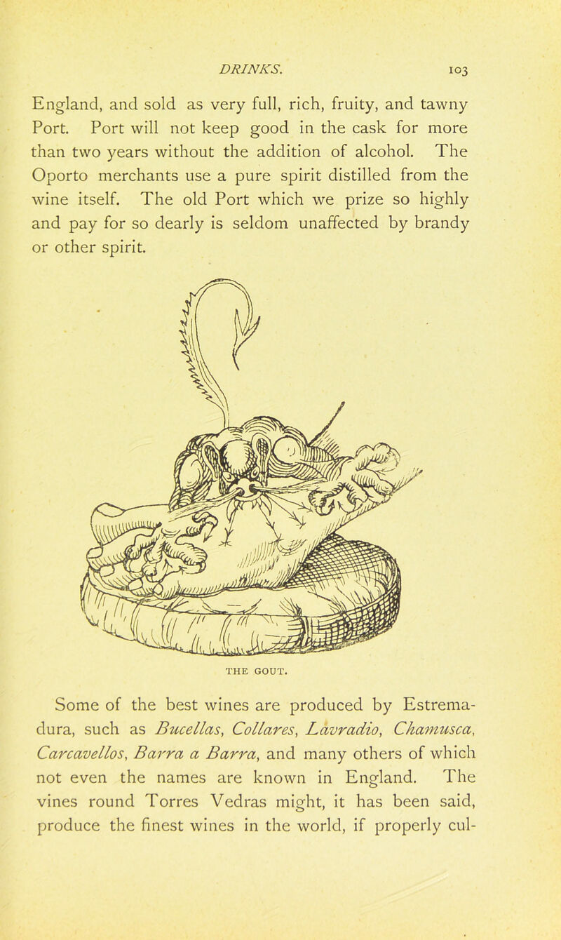 England, and sold as very full, rich, fruity, and tawny Port. Port will not keep good in the cask for more than two years without the addition of alcohol. The Oporto merchants use a pure spirit distilled from the wine itself. The old Port which we prize so highly and pay for so dearly is seldom unaffected by brandy or other spirit. THE GOUT. Some of the best wines are produced by Estrema- dura, such as Bucellas, Collares, Lavradio, Chamusca, Carcavellos, Barra a Barra, and many others of which not even the names are known in England. The vines round Torres Vedras might, it has been said, produce the finest wines in the world, if properly cul-