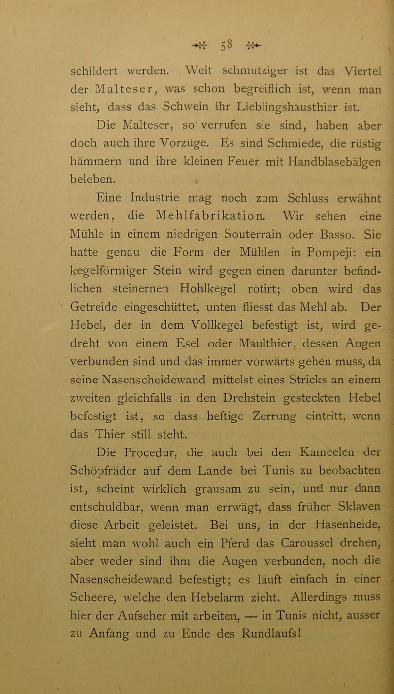 schildert werden. Weit schmutziger ist das Viertel der Malteser, was schon begreiflich ist, wenn man sieht, dass das Schwein ihr Lieblingshausthier ist. Die Malteser, so verrufen sie sind, haben aber doch auch ihre Vorzüge. Es sind Schmiede, die rüstig hämmern und ihre kleinen Feuer mit Handblasebälgen beleben. Eine Industrie mag noch zum Schluss erwähnt werden, die Mehlfabrikation. Wir sehen eine Mühle in einem niedrigen Souterrain oder Basso. Sie hatte genau die Form der Mühlen in Pompeji: ein kegelförmiger Stein wird gegen einen darunter befind- lichen steinernen Hohlkegel rotirt; oben wird das Getreide eingeschüttet, unten fliesst das Mehl ab. Der Hebel, der in dem Vollkegel befestigt ist, wird ge- dreht von einem Esel oder Maulthier, dessen Augen verbunden sind und das immer vorwärts gehen muss, da seine Nasenscheidewand mittelst eines Stricks an einem zweiten gleichfalls in den Drehstein gesteckten Hebel befestigt ist, so dass heftige Zerrung eintritt, wenn das Thier still steht. Die Procedur, die auch bei den Kameelen der Schöpfräder auf dem Lande bei Tunis zu beobachten ist, scheint wirklich grausam zu sein, und nur dann entschuldbar, wenn man errwägt, dass früher Sklaven diese Arbeit geleistet. Bei uns, in der Hasenheide, sieht man wohl auch ein Pferd das Caroussel drehen, aber weder sind ihm die Augen verbunden, noch die Nasenscheidewand befestigt; es läuft einfach in einer Scheere, welche den Hebelarm zieht. Allerdings muss hier der Aufseher mit arbeiten, — in Tunis nicht, ausser zu Anfang und zu Ende des Rundlaufs!