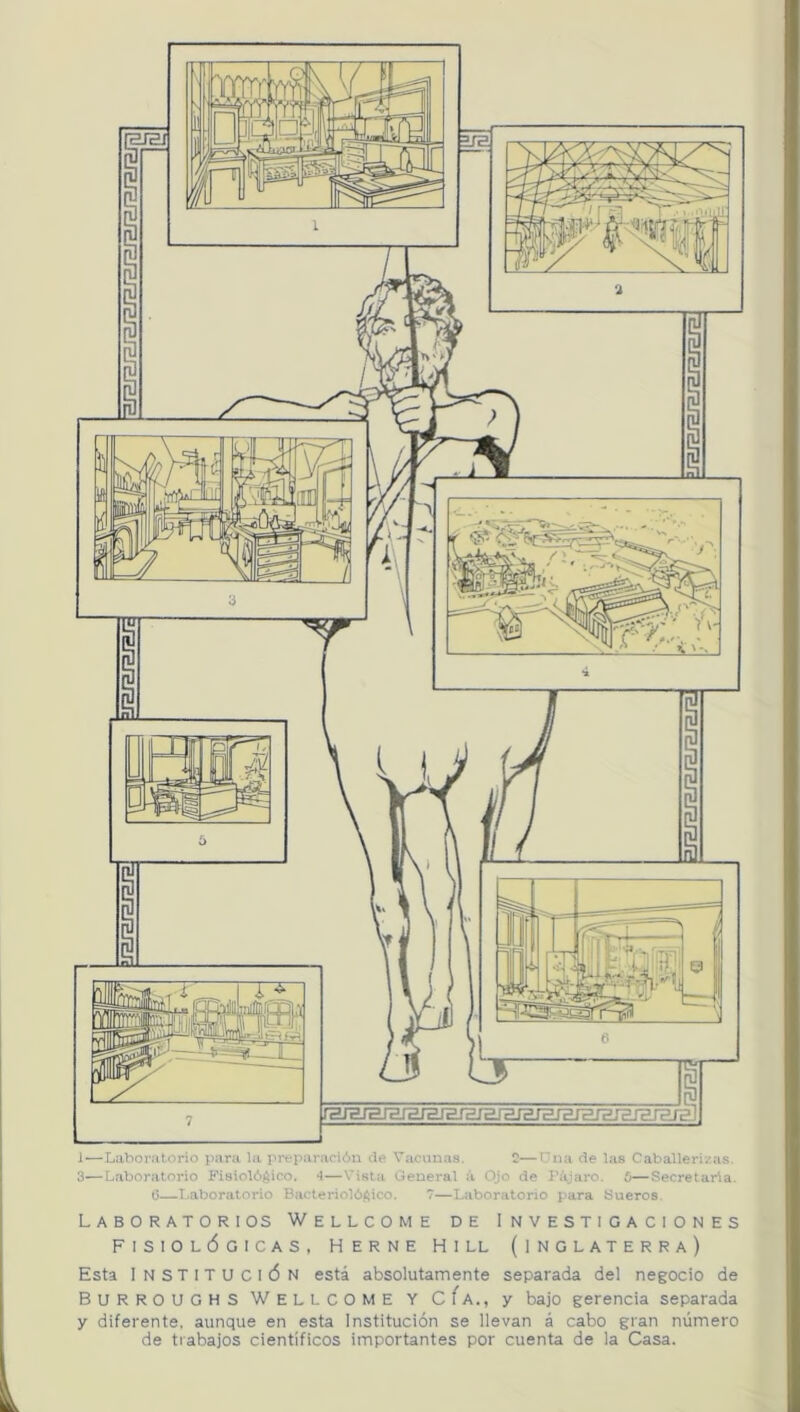J—Laboratorio para la preparación i.le Vacunas. C—Gua de las Caballeri/as. 3—Laboratorio Fisiolóéico. *1—Vista General á Ojo de Pájaro. 6—Secretaria. (3—T.aboratorio Bacteriológico. 7—Laboratorio p>ara Sueros Laboratorios Wellcome de Investigaciones F I S I o L c5 G I C A S , HERNE H I LL (INGLATERRA) Esta Institución está absolutamente separada del negocio de Burroughs Wellcome y CÍa., y bajo gerencia separada y diferente, aunque en esta Institución se llevan á cabo gran número de tiabajos científicos importantes por cuenta de la Casa.