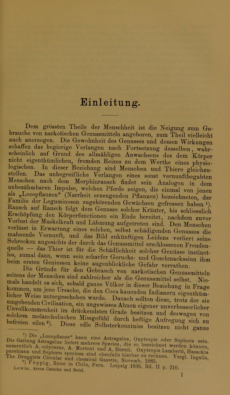 Einleitung. Dem grössten Theile der Menschheit ist die Neigung zum Ge- brauche von narkotischen Genussmitteln angeboren, zum Theil vielleicht auch anerzogen. Die Gewohnheit des Genusses und dessen Wirkungen schaffen das begierige Verlangen nach Fortsetzung desselben, wahr- scheinlich auf Grund des allmähligen Anwachsens des dem Körper nicht eigentümlichen, fremden Reizes zu dem Werthe eines physio- logischen. In dieser Beziehung sind Menschen und Thiere gleichzu- stellen. Das unbegreifliche Verlangen eines sonst vernunftbegabten Menschen nach dem Morphinrausch findet sein Analogon in dem unbezähmbaren Impulse, welchen Pferde zeigen, die einmal von jenen als »Locopflanzen“ (Narrheit erzeugenden Pflanzen) bezeichneten, der r amilie der Leguminosen zugehörenden Gewächsen gefressen haben L. ausch auf Rausch folgt dem Genüsse solcher Kräuter, bis schliesslich Erschöpfung den Körperfunctionen ein Ende bereitet, nachdem zuvor Verlust der Muskelkraft und Lähmung aufgetreten sind. Den Menschen verlasst in Erwartung eines solchen, selbst schädigenden Genusses die mahnende \ ernunft, und das Bild zukünftigen Leidens verliert seine Schrecken angesichts der durch das Genussmittel erschlossenen Freuden- lhlGr 1St fÜ1’ die Schädlichkeit solcher Genüsse instinct- h VTf Wenn Tm scharfer Geruchs- und Geschmackssinn ihm beim ersten Gemessen keine augenblickliche Gefahr verraten a .. U\e G™nde fur deD Gebrauch von narkotischen Genussmitteln ZTUu dG; Menschen sind zahlreicher als die Genussmittel selbst Nie mals handelt es sich, sobald ganze Völker in dieser Beziehung in Fra°-e kommen, um jene Ursache, die den Coca kauenden Indianern eigenthüm- licher Wmse untergeschoben wurde. Danach sollten diese trotz der 8^ Culh8at10^ 6m unSewis9es Ahnen eigener unverbesserlicher soLh TDh1.lm dr^ckendsten Grade besitzen und deswegen von befreie” n d?rCh heftiSe A'lfr'«“igVh zu eilen ). Diese edle Selbsterkonntniss besitzen nicht ganze Die Osl»Lt“XTeLktTehS«e Ä' odw Sophora sein, namentlich A. colycasus A Mortoni „nd l H d-® s bezeiclln^ werden können, purshiana und Sophora speciosa sind ehen^0xytroP,18 Laml)erti, Hasackia The Dru^ie*CiUr S'Z^ ^ Peru Leip2ig 1836'Bd-11 »•