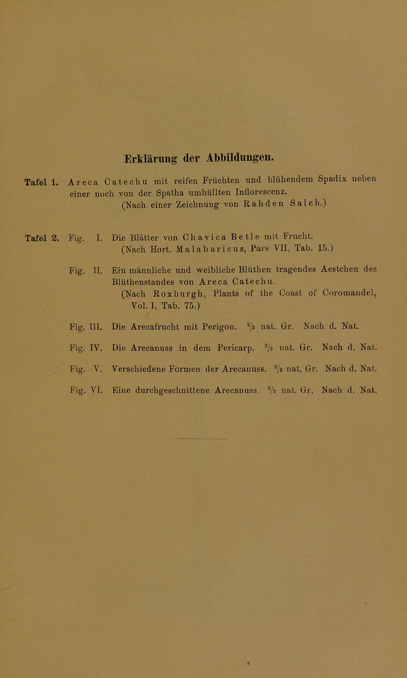 Tafel 1 Tafel 2 Erklärung der Abbildungen. Areca Catechu mit reifen Früchten und blühendem Spadix neben einer noch von der Spatha umhüllten Inflorescenz. (Nach einer Zeichnung von Rahden Saleh.) . Fig. I. Die Blätter von Chavica Betle mit Frucht. (Nach Hort. Malabaricus, Pars VII, Tab. 15.) Fig. II. Fig. III. Ein männliche und weibliche Blüthen tragendes Aestchen des Blüthenstandes von Areca Catechu. (Nach Roxburgh, Plants of the Coast of Coromandel, Vol. I, Tab. 75.) ,1 Die Arecafrucht mit Perigon. 2/3 na*i- Gr. Nach d. Nat. Fig. IV. Die Arecanuss in dem Pericarp. 2/3 nat. Gr. Nach d. Nat. Fig. V. Verschiedene Formen der Arecanuss. 2/s nat. Gr. Nach d. Nat.