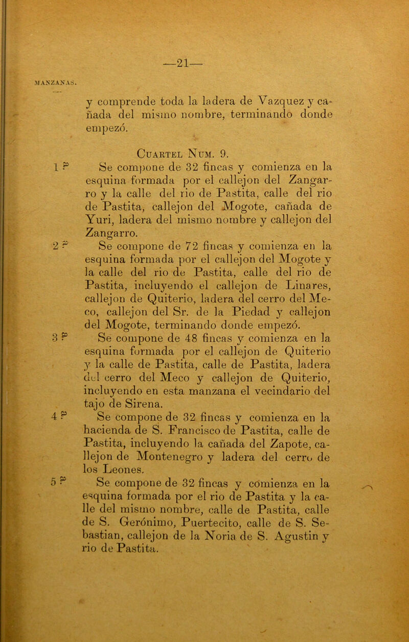 y comprende toda la ladera de Vázquez y ca- ñada del mismo nombre, terminando donde empezó. Cuartel Nüm. 9. Se com))one de 32 fincas y comienza en la esquina formada por el callejón del Zangar- ro y la calle del rio de Pastita, calle del rio de Pastita, callejón del Mogote, cañada de Yuri, ladera del mismo nombre y callejón del Zangarro. Se compone de 72 fincas y comienza en la esquina formada por el callejón del Mogote y la calle del rio de Pastita, calle del rio de Pastita, incluyendo el callejón de Linares, callejón de Quiterio, ladera del cerro del Me- co, callejón del Sr. de la Piedad y callejón del Mogote, terminando donde empezó. Se compone de 48 fincas y comienza en la esquina formada por el callejón de Quiterio y la calle de Pastita, calle de Pastita, ladera del cerro del Meco y callejón de Quiterio, incluyendo en esta manzana el vecindario del tajo de Sirena. Se compone de 32 fincas y comienza en la hacienda de S. Francisco de Pastita, calle de Pastita, incluyendo la cañada del Zapote, ca- llejón de Montenegro y ladera del cerro de los Leones. Se compone de 32 fincas y comienza en la esquina formada por el rio de Pastita y la ca- lle del mismo nombre, calle de Pastita, calle de S. Gerónimo, Puertecito, calle de S. Se- bastian, callejón de la Noria de S. Agustin y rio de Pastita.