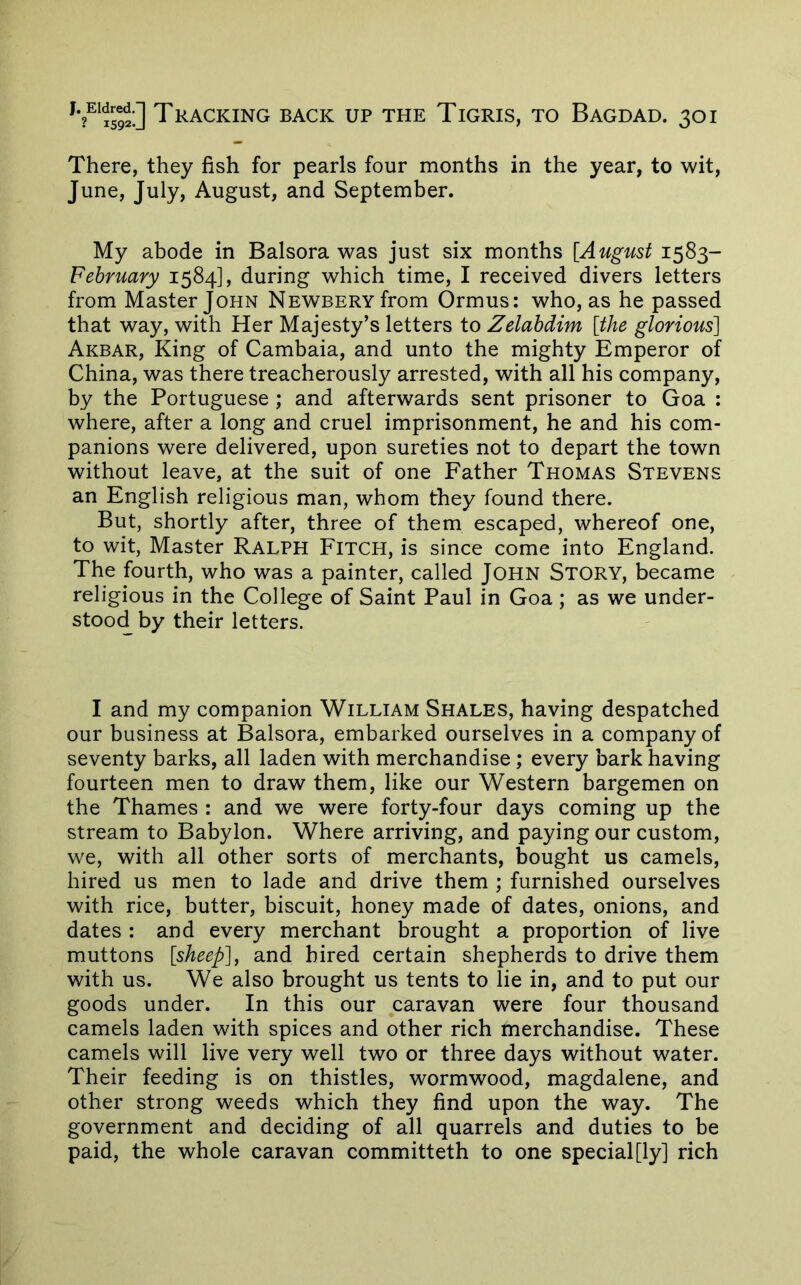 There, they fish for pearls four months in the year, to wit, June, July, August, and September. My abode in Balsora was just six months [August 1583- February 1584], during which time, I received divers letters from Master John NEWBERYfrom Ormus: who, as he passed that way, with Her Majesty’s letters to Zelabdim [the glorious'] Akbar, King of Cambaia, and unto the mighty Emperor of China, was there treacherously arrested, with all his company, by the Portuguese ; and afterwards sent prisoner to Goa : where, after a long and cruel imprisonment, he and his com- panions were delivered, upon sureties not to depart the town without leave, at the suit of one Father Thomas Stevens an English religious man, whom they found there. But, shortly after, three of them escaped, whereof one, to wit. Master Ralph Fitch, is since come into England. The fourth, who was a painter, called JOHN STORY, became religious in the College of Saint Paul in Goa; as we under- stood by their letters. I and my companion William Shales, having despatched our business at Balsora, embarked ourselves in a company of seventy barks, all laden with merchandise; every bark having fourteen men to draw them, like our Western bargemen on the Thames : and we were forty-four days coming up the stream to Babylon. Where arriving, and paying our custom, we, with all other sorts of merchants, bought us camels, hired us men to lade and drive them ; furnished ourselves with rice, butter, biscuit, honey made of dates, onions, and dates : and every merchant brought a proportion of live muttons [sheep], and hired certain shepherds to drive them with us. We also brought us tents to lie in, and to put our goods under. In this our caravan were four thousand camels laden with spices and other rich merchandise. These camels will live very well two or three days without water. Their feeding is on thistles, wormwood, magdalene, and other strong weeds which they find upon the way. The government and deciding of all quarrels and duties to be paid, the whole caravan committeth to one specially] rich