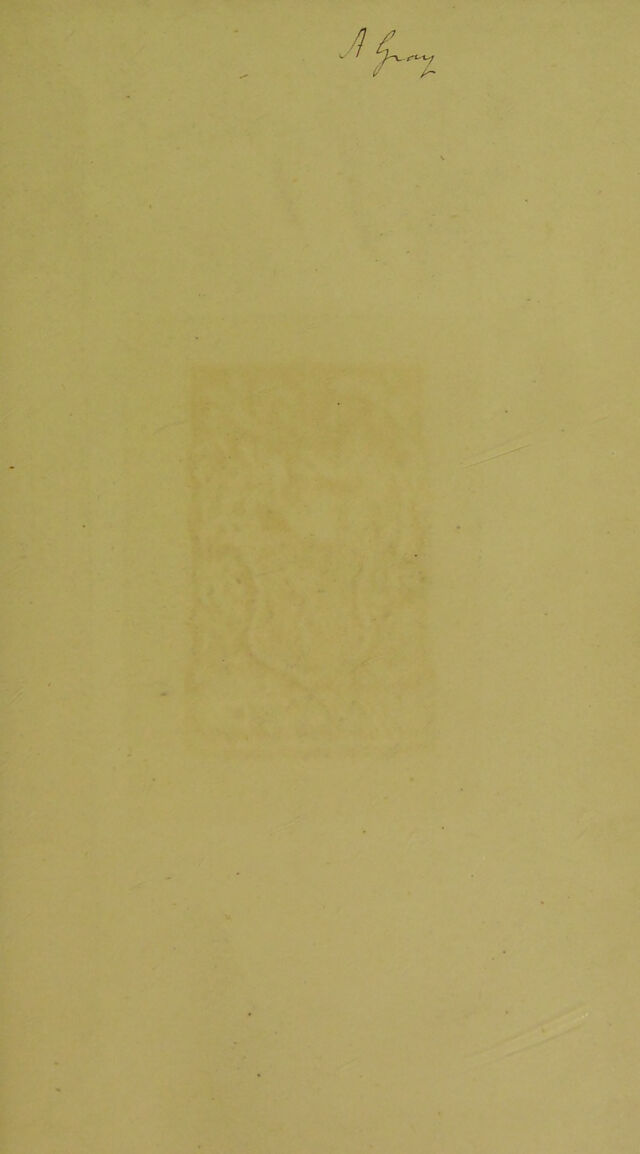 digitised image 3