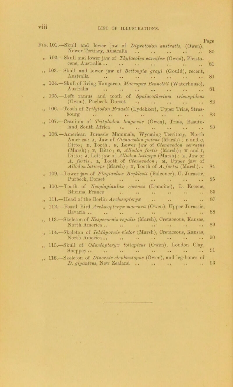Fig. 101.—Skull and lower jaw of Diprotodon australis, (Owen), Newer Tertiary, Australia .. .. .. .. ..80 „ 102.—Skull and lower jaw of Thylacoleo earnifex (Owen), Pleisto- cene, Australia .. .. .. .. .. .. .. 81 ,, 103.—Skidl and lower jaw of Beltongia grayi (Gould), recent, Australia .. .. .. .. .. .. .. 81 » 104.—Skull of living Kangaroo, Macropus Bennettii (Waterhouse), Australia .. .. .. .. .. .. .. 81 ,, 105.—Left ramus and tooth of Spalacotherium tricuspidens (Owen), Purbeck, Dorset .. .. .. .. ..82 „ 106.—Tooth of Tritylodon Fraasii (Lydelcker), Upper Trias, Stras- bourg .. .. .. 83 „ 107.—Cranium of Tritylodon longcevus (Owen), Trias, Basuto- land, South Africa .. .. .. .. .. .. 83 „ 108.—American Jurassic Mammals, Wyoming Territory, North America: A, Jaw of Ctenacodonpotens (Marsh) ; B and c, Ditto; D, Tooth ; E, Lower jaw of Ctenacodon serratus (Marsh); E, Ditto; g, AUodonfortis (Marsh); H and I, Ditto ; J, Left jaw of Allodon laticeps (Marsh) ; K, Jaw of A. fortis; l, Tooth of Ctenacodon ; M, Upper jaw of AUodon laticeps (Marsh) ; jr, Tooth of A.fortis (Marsh).. 84 ,, 109.—Lower jaw of Plagiaulax Bee kies ii (Falconer), U. Jurassic, Purbeck, Dorset .. .. .. .. .. ..85 „ 110.—Tooth of Neoplagiaulax eocenus (Lemoine), L. Eocene, Rheims, France .. .. .. .. .. .. 85 ,, 111.—Hoad of the Berlin Archaeopteryx .. .. .. .. 87 „ 112.—Fossil Bird Archeeopteryx macrura (Owen), Upper Jurassic, Bavaria .. .. .. .. .. .. .. .. 88 „ 113.—Skeleton of Hesperornis reyalis (Marsh), Cretaceous, Kansas, North America .. .. .. .. .. .. .. 89 „ 114.—Skeleton of Ichthyornis victor (Marsh), Cretaceous, Kansas, North America .. .. .. .. .. .. .. 90 „ 115.—Skull of Odontopteryx toliapicus (Owen), London Clay, Sheppey .. .. .. .. .. .. .. .. 91 ,, 116.—Skeleton of Dinornis efephantopus (Owen), and leg-hones of I), giganteus, New Zealand .. .. .. .. .. 93