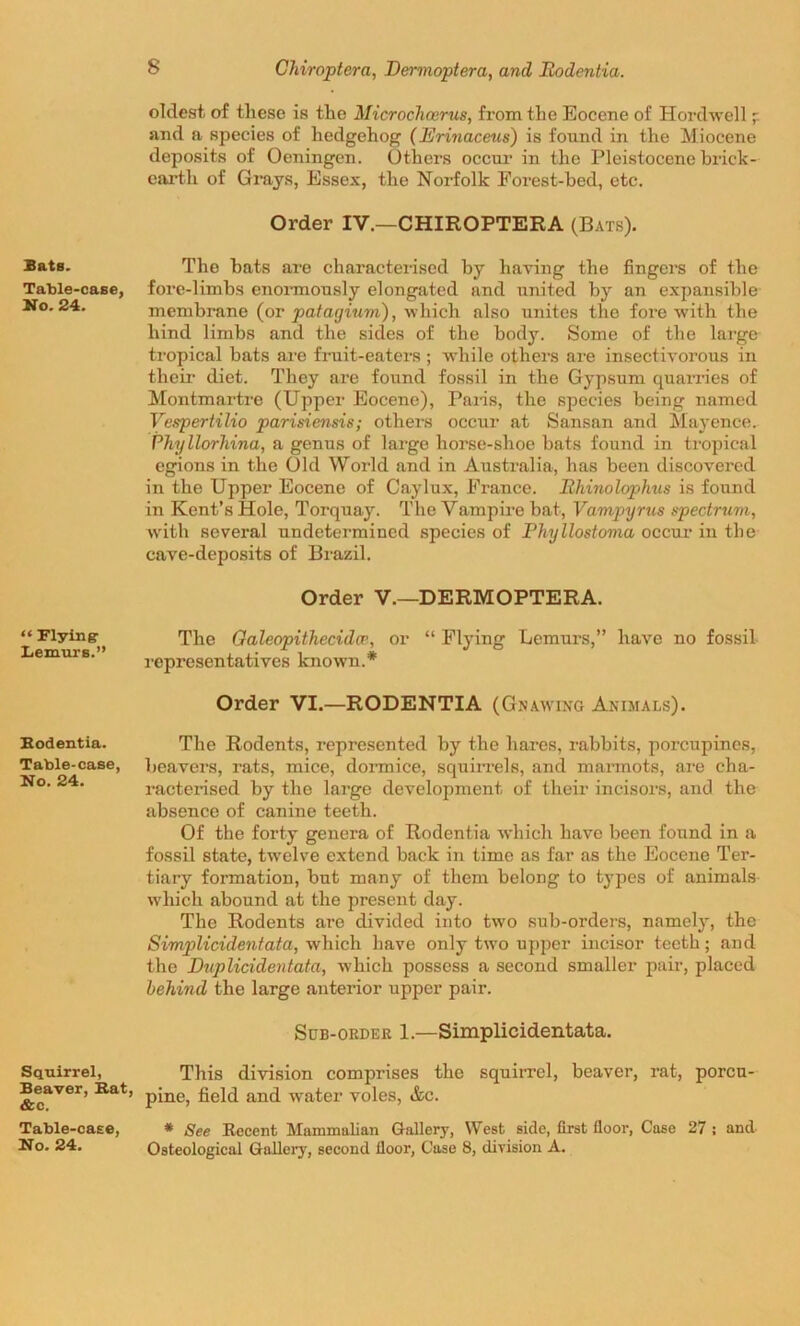 Sate. Table-case, No. 24. “ Flying- Lemurs.” Rodentia. Table-case, No. 24. Squirrel, Beaver, Rat, &c. Table-case, 8 Chiroptera, Dermoptera, and Rodentia. oldest- of these is the Microchcerus, from the Eocene of Hordwell; and a species of hedgehog (Erinaceus) is found in the Miocene deposits of Oeningen. Others occur in the Pleistocene brick- earth of Grays, Essex, the Norfolk Forest-bed, etc. Order IV.—CHIROPTERA (Bats). The hats are characterised by having the fingers of the fore-limbs enormously elongated and united by an expansible membrane (or patagium), which also unites the fore with the hind limbs and the sides of the body. Some of the large tropical bats are fruit-eaters ; while others are insectivorous in their diet. They are found fossil in the Gypsum quarries of Montmartre (Upper Eocene), Pans, the species being named Vespertilio parisiensis; others occur at Sansan and Mayence. Phyllorhina, a genus of large horse-shoe bats found in tropical egions in the Old World and in Australia, has been discovered in the Upper Eocene of Caylux, France. Rhinolophus is found in Kent’s Hole, Torquay. The Vampire bat, Vampyrus spectrum, with several undetermined species of Phyllostoma occur in the cave-deposits of Brazil. Order V.—DERMOPTERA. The Galeopithecidcc, or “ Flying Lemurs,” have no fossil representatives known.* Order VI.—RODENTIA (Gnawing Animals). The Rodents, represented by the hares, rabbits, porcupines, heavers, rats, mice, dormice, squirrels, and marmots, are cha- racterised by the large development of their incisors, and the absence of canine teeth. Of the forty genera of Rodentia which have been found in a fossil state, twelve extend back in time as far as the Eocene Ter- tiary formation, but many of them belong to types of animals which abound at the present day. The Rodents are divided into two sub-orders, namely, the Simplicidentata, which have only two upper incisor teeth; and the Duplicidentata, which possess a second smaller pair, placed behind the large anterior upper pair. Sub-okder 1.—Simplicidentata. This division comprises the squirrel, beaver, rat, porcu- pine, field and wrater voles, &c. * See Recent Mammalian Gallery, West side, first floor, Case 27 ; and