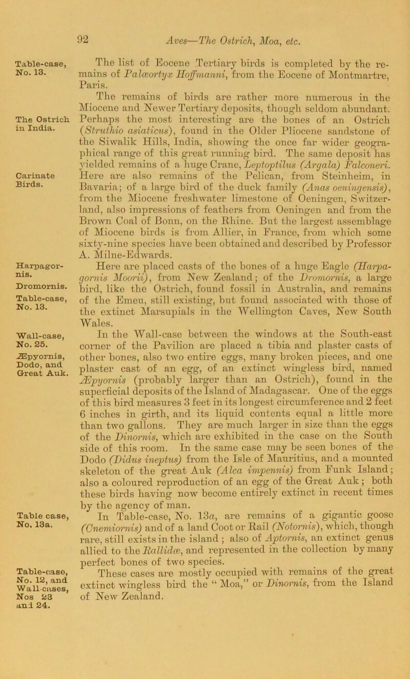 Aves—The Ostrich, Moa, etc. Table-case, No. 13. The Ostricli in India. Carinate Birds. Harpag-or- nis. Dromornis. Table-case, No. 13. Wall-case, No. 25. iEpyornis, Dodo, and Great Auk Table case, No. 13a. Table-ease, No. 12, and Wall-cases, Nos 23 and 24. The list of Eocene Tertiary birds is completed by the re- mains of Paloeortyx Hoffmanni, from the Eocene of Montmartre, Paris. The remains of birds are rather more numerous in the Miocene and Newer Tertiary deposits, though seldom abundant. Perhaps the most interesting are the bones of an Ostrich (Struthio asiaticus), found in the Older Pliocene sandstone of the Sivvalik Hills, India, showing the once far wider geogra- phical range of this great running bird. The same deposit has yielded remains of a huge Crane, Leptoptilus (Argala) Falconeri. Here are also remains of the Pelican, from Steinheim, in Bavaria; of a large bird of the duck family (Anas oeningensis), from the Miocene freshwater limestone of Oeningen, Switzer- land, also impressions of feathers from Oeningen and from the Brown Coal of Bonn, on the Rhine. But the largest assemblage of Miocene birds is from Allier, in France, from which some sixty-nine species have been obtained and described by Professor A. Milne-Edwards. Here are placed casts of the bones of a huge Eagle (Ilarpa- gornis Moorii), from New Zealand; of the Dromornis, a large bird, like the Ostrich, found fossil in Australia, and remains of the Emeu, still existing, but found associated with those of the extinct Marsupials in the Wellington Caves, New South Wales. In the Wall-case between the windows at the South-east comer of the Pavilion are placed a tibia and plaster casts of other bones, also two entire eggs, many broken pieces, and one plaster cast of an egg, of an extinct wingless bird, named JEpyornis (probably larger than an Ostrich), found in the superficial deposits of the Island of Madagascar. One of the eggs of this bird measures 3 feet in its longest circumference and 2 feet 6 inches in girth, and its liquid contents equal a little more than two gallons. They are much larger in size than the eggs of the Dinornis, which are exhibited in the case on the South side of this room. In the same case may be seen bones of the Dodo (Didus ineptus) from the Isle of Mauritius, and a mounted skeleton of the great Auk (Alca ivipennis) from Funk Island; also a coloured repi'oduction of an egg of the Great Auk ; both these birds having now become entirely extinct in recent times by the agency of man. In Table-case, No. 13a, are remains of a gigantic goose (Cnemiornis) and of a land Coot or Rail (Notornis), which, though rare, still exists in the island ; also of Aptomis, an extinct genus allied to the Eallidce, and represented in the collection by many perfect bones of two species. These cases are mostly occupied with remains of the great extinct wingless bird the “ Moa,” or Dinornis, from the Island of New Zealand.