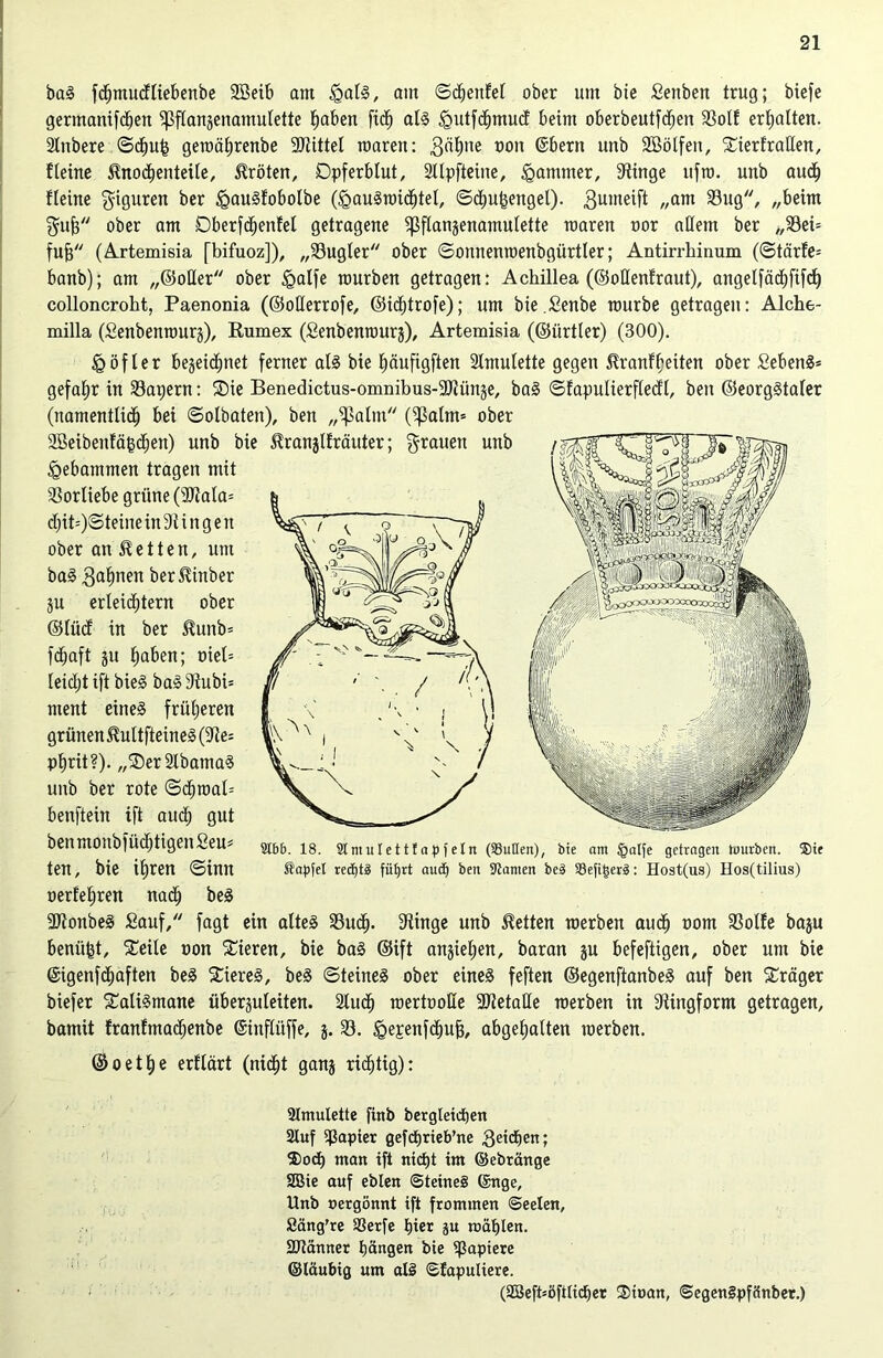 bag fdjmudliebenbe 2Beib am i§alg, am ©dheufel ober um bie Settben trug; biefe gertnanifchen ^flanzenamulette haben ftdh alg ^mtfchmud beim oberbeutfcheit 33olf erhalten. Slnbere ©chu£ geroährenbe Mittel roaren: gähne non @bern unb Söölfett, SierfraHen, fteine ^nochenteile, Kröten, Dpferblut, Sllpfteiite, Jammer, 9iinge ufro. unb aud) Heine Figuren ber Igaugfobolbe (iQaugraichtel, ©chupengel). gumeift „am SBug, „beim $11(3 ober am Dberfd)enfel getragene $pflanzenamulette mären oor allem ber „33ei= fufj (Artemisia [bifuoz]), „93ugler ober ©ounenmenbgürtler; Antirrhinum (©tärle= banb); am „©oller ober igalfe mürben getragen: Achillea (©oüenfraut), angelfächfifcl) colloncroht, Paenonia (©oüerrofe, ©kbtrofe); um bie.Senbe mürbe getragen: Alche- milla (Senbenrourz), Kumex (Senbenrourz), Artemisia (©iirtler) (300). iQ öfter bezeichnet ferner alg bie häufigften Slmulette gegen ^ranfheiten ober Sebeng* gefahr in kapern: Sie Benedictus-omnibus-SJtünze, bag ©fapulierfledl, beit ©eorggtaler (namentlich ©olbaten), ben „^alitt ($alm= ober SBeibenfäfcdjen) unb bie J?ranjl!räuter; grauen unb gebammen tragen mit Vorliebe grüne (9Jtala= d}it--)©teine in 9t ingett ober an betten, um bag Jahnen ber^inber ju erleidhtern ober ©lücf in ber $unb* fdjaft ju haben; oiel= leid;t ift bie§ ba§ 9tubi= ment eineg früheren grünen ^ultfteineg (9te= phrit?). „SerSlbamag unb ber rote Schmal-- benfteitt ift auch gut benmoubfüchtigenSeu* ten, bie ihren ©ütn oerfehren nad) beg 9Jtonbeg Sauf/' fagt ein alteg 93ud). 9tinge unb betten roerben audh tmm 33olfe baju benüpt, Seile non Sieren, bie bag ©ift ansieben, baran zu befeftigen, ober um bie ©igenfcbaften beg Siereg, beg ©teineg ober eineg feften ©egenftanbeg auf ben Sräger biefer Saligmane übersuleiten. 2luch roerttroüe 99tetalle merben in 9tingform getragen, bamit franlmachenbe ©ittflüffe, j. 33. §epenfdhu|, abgehalten merben. ©oethe erftärt (nicht ganz richtig): 9166. 18. 91ntulettfapfeln (93uIIen)( bie am tgalfe getragen Würben. ®it Zapfet rechts füljrt audj ben Slawen be§ 93eft|;er3: Host(us) Hos(tilius) Slmulette finb bergleidjen 2luf Sßapier gefcprieb’ne geicpen; ®od) man ift nicht im ©ebränge 2Bie auf eblen <5teine§ ©nge, Unb oergönnt ift frommen Seelen, Säng're SSerfe hier ju mahlen. SUtänner hängen bie ißapiere ©laubig um al£ Slapuliere. (äBefböftlicper 3>toan, SegenSpfänber.)