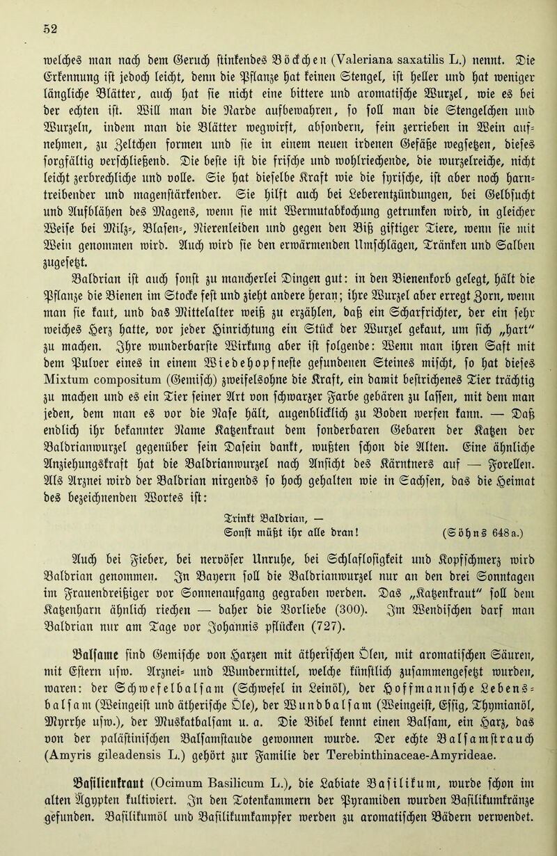 welches man nach bem ©erlief) ftinfenbeS 33 öcfchen (Valeriana saxatilis L.) nennt. Sie ©rfennung ift jebocfj leidet, benn bie Pflanze f)at feinen ©tengel, ift heller unb f)at weniger längliche Blätter, auch hat fie nid)t eine bittere unb aromatifdEje Söurjet, mie eS bei ber echten ift. 2BitX man bie 9iarbe aufberoafjren, fo foH man bie ©tengetchen unb Sßurjetn, inbern man bie ^Blätter raegrairft, abfonbern, fein gerriebert in SBein auf= nehmen, ju 3e^^en formen unb fie in einem neuen irbenen ©efäjje raegfe|en, biefeS forgfättig oerfd^Iiefsenb. Sie befte ift bie frifdffe unb toohlriechenbe, bie rourgetreid^e, nicht leidet zerbrechliche unb nolle. ©ie hat biefelbe ßraft mie bie fprifdEje, ift aber noch horn= treibenber unb magenftärfenber. ©ie f)Uft auch bei Seberentjünbungen, bei ©elbfucht unb 2lufbläl)en beS UftagenS, raenn fie mit 2öermutabfodhung getrunfen rairb, in gleicher SBeife bei -ßlify, 33lafen=, 9Herenleiben unb gegen ben 23ih giftiger Siere, roenn fie mit Söein genommen rairb. 2Iu<h rairb fie ben erraärmenben llmfchlägen, Sränfen unb ©alben jugefeht. SBalbrian ift auch forrft zu mamherlei Singen gut: in ben 33ienenforb gelegt, hält bie ?ßflange bie dienen im ©tocfe feft unb zieht anbere heran; ihre SBurzel aber erregt 3orn, raenn man fie faut, unb baS fDlittelalter raeih zu erzählen, bah ein ©dharfridhter, ber ein fehr weiches ^erz haUe/ oor jeber Einrichtung ein ©tücf ber SBurjel gefaut, um fidh „hart Zu machen. 3hre raunberbarfte SBirfung aber ift folgeitbe: Söemt mau ihren ©aft mit bem ifMoer eines in einem 2öiebef)opfnefte gefunbeuen ©teineS mifcht, fo hot biefeS Mixtum compositum (©emifcf)) zweifelsohne bie $raft, ein bamit beftricheneS Sier trächtig Zu machen unb eS ein Sier feiner 2lrt non fchraarger $arbe gebären ju taffen, mit bem man feben, bem man eS oor bie 9lafe hält, augenblicflich zu 23oben werfen fann. — Sah enbtid) it;r befannter 9tame ^apenfraut bem fonberbaren ©ebaren ber $a|3en ber 23albrianrourzet gegenüber fein Safein banft, rauhten fdhon bie 2llten. (Sine ähnliche 2lnziehungSfraft hat bie SBalbrianraurzel nach Sfnfidht beS Kärntners auf — Forellen. StlS Slrznei rairb ber SBalbrian nirgenbS fo hoch gehalten wie in ©adhfen, baS bie Eeimat beS bezeidhnenben SöorteS ift: Srinft Salbriait, — ©onft müht tpr alte bran! (@öf)n§ 648a.) 9luch bei lieber, bei neroöfer Unruhe, bei ©chlaflofigfeit unb $opffcf)merz rairb SBalbrian genommen. $n kapern fott bie SBalbrianraurzel nur an ben brei ©onntagen im $rauenbreihiger oor Sonnenaufgang gegraben werben. SaS „^apenfraut fotl bent ^afcenfjarn ähnlich riechen — baher bie Vorliebe (300). 2Benbif<hen barf man 93albrian nur am Sage oor Johannis pftücfen (727). 93alfame finb ©emifche non <goozen mit ätEjerifdhen Dien, mit aromatifdhen ©äuren, mit ©ftern ufra. 2Irznei= unb Söunbermittet, raetdje fiinftlich gufammengefe^t raurbeit, raaren: ber ©chraefelbalfant (©dhraefel in Seinöl), ber ,<ßoffmannf<he £ebenS= balfam (Söeingeift unb ätherifdhe Die), ber2öunbbatfam (SBeingeift, (Sfftg, Shpmianöl, 9J?prrhe ufra.), ber 9JJuSfatbalfant u. a. Sie 33ibel fennt einen 33alfam, ein baS non ber paläftinifcfjen Salfamftaube geraonnen raurbe. Ser echte SBalfam ft rauch (Amyris gileadensis L.) gehört zur Familie ber Terebinthinaceae-Amyrideae. Safilienfraut (Ocimum Basilicum L.), bie Sabiate 33afilifum, raurbe fchon im alten Igppten futtiniert. $n ben Sotenfammern ber ^pramiben würben Safilifumfränze gefunben. 33afilifumöt unb Safilifumfampfer werben zu aromatifdhen Näbern nerraenbet.