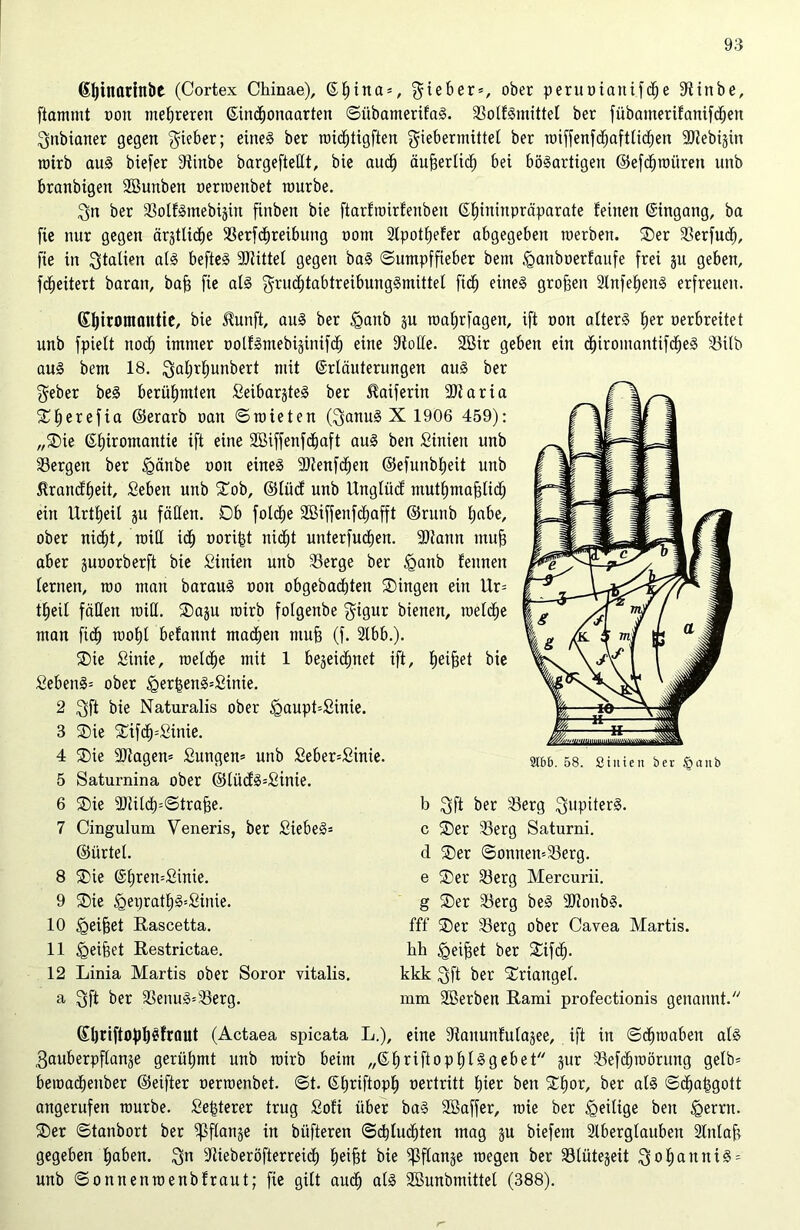 6l)inarlnl>e (Cortex Chinae), ©J)ina = , lieber*, ober peruoianifcfje ßtinbe, ftammt »on mehreren ©iitdfjonaarten ©übamerifaS. SoffSmittef ber fübamerifaniftEjen $nbianer gegen lieber; eines ber roicf)tigften giebermittef ber roiffenfcfjaftfi<f)en 33Zebi§in roirb auS biefer ßtinbe bargefteCtt, bie aucf) äufjerlidfj bei bösartigen ©efcfiroüren unb branbigen SBunben oerroenbet rourbe. $n ber SoffSmebigin finben bie ftarfroirfenbett ©fßninpräparate feinen ©ingang, ba fie nur gegen ärgttid^e 3SerfdE)reibung oom 2Ipotf)efer abgegeben werben. Ser Serfucf), fie in Italien afS befteS Strittet gegen baS ©umpffieber bem ,<ganboerfaufe frei gu geben, fc^eitert baran, baff fie als grucfjtabtreibuugSmittel fidf) eines großen 2lnfef)enS erfreuen. ©fytromantie, bie Jtunft, aus ber iganb gu roafjrfagen, ift pon alters f>er »erbreitet unb fpielt nodf) immer »otfSmebiginifcfj eine ßioße. 2Bir geben ein djiromantifcffeS 33itb aus bem 18. ^aljrfiunbert mit ©rläuterungen auS ber geber beS berühmten SeibargteS ber ^aiferin 9Jiaria Sfierefia ©erarb »an ©mieten ($anuS X 1906 459): „Sie Chiromantie ift eine Söiffenfdfjaft aus ben Sinien unb Sergen ber igänbe »on eines 9)tenfcf)en ©efunbljeit unb Jtrancffjeit, Seben unb Sob, ©lücf unb Uttgfücf mutfjmafjfidf) ein Urttieü gu faßen. Ob foldfje 2Biffenfcf)afft ©rutib l;abe, ober nicf)t, miß \ä) »orifd nicfjt unterfucijen. 3)tann mufj aber guoorberft bie Sinien unb Serge ber iganb fennen fernen, roo man barauS »on obgebacf)ten Singen ein Ur= tfjeif faßen miß. Sagu mirb fofgenbe §igur bienen, roefdfje man ficf) roofß befannt machen muff (f. 2lbb.). Sie Sinie, roelcf)e mit 1 begeicfjnet ift, fjeifjet bie SebenS= ober £erf$enS=Sinie. 2 $ft bie Naturalis ober Jgaupt=Sinie. 3 Sie StfcfpSinie. 4 Sie 9J?agen= Sungen» unb Seber=Sinie. 5 Saturnina ober ©lüc£s=Sinie. 6 Sie 3Jiilct)=©tra^e. 7 Cingulum Veneris, ber SiebeS= ©ürtel. 8 Sie ©fjremSinie. 9 Sie <Qei)ratf)S=Sinie. 10 (geiffet Rascetta. 11 <geifset Restrictae. 12 Lima Martis ober Soror vitalis. a 3ft ber SenuS=Serg. 2tb£>. 58. Sinien ber .§anb b ^ft ber Serg Jupiters, c Ser Serg Saturni. d Ser ©onnen=Serg. e Ser Serg Mercurii. g Ser Serg beS ßltonbS. fff Ser Serg ober Cavea Martis. hh igeifjet ber Sifcff. kkk $ft ber Sriangef. mm ÜEßerben Rami profectionis genannt. ©IjriftofjßSfraut (Actaea spicata L.), eine ßtanunfulagee, ift in ©dffroaben afS gauberpffange gerühmt unb roirb beim ,,©f»riftopf)lSgebet gur Sefdfjroörung gefb= bemadbenber ©eifter oerroenbet. ©t. <££)riftop^ pertritt f)ier ben Sf)or, ber afS ©df)a£gott angerufen mürbe. Sejjterer trug Soft über baS SBaffer, roie ber ^eilige beit £errn. Ser ©tanbort ber ^ffange in büfteren ©cf)fudf)ten mag gu biefem Aberglauben Slnlaft gegeben fjaben. $n Aieberöfterreidf) Ijei^t bie ^flange roegen ber Slütegeit $of)anniS = unb ©onnenroenbfraut; fie gilt audfj afS Sßunbmittel (388).