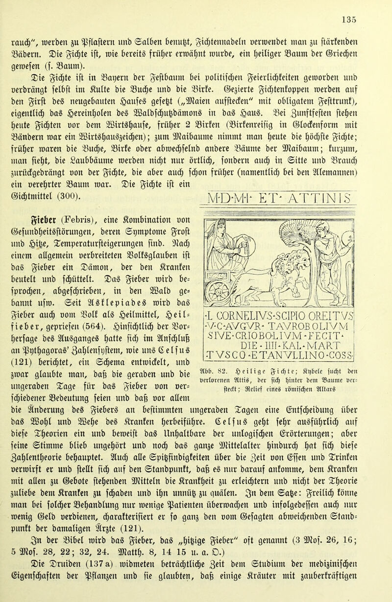 rauch, werben p ^flaftent imb ©alben benutz, ^ichtennabeln oerwenbet man p ftärfenben Näbern. Sie 'gierte ift, rate bereits früher ermähnt mürbe, ein ^eiliger Saum ber ©rieten gemefen (f. Saum). Sie gierte ift in Sägern ber ^eftbamu bei politifcheit $eierli<hfeiteit geworben unb oerbrängt felbft im Spulte bie Suche unb bie Sirf'e. ©edierte gidjtenfoppett werben auf beit $irft beg neugebauten Haufeg gefegt („-iDtaien aufftedett mit obligatem gefttrunf), eigentlich bag Hereinholen beg 2Balbf<huhbämottg in bag ^au§. Sei gunftfeften fielen heute Richten oor betn SBirtSEjaufe, früher 2 Sirfen (Sirfenreifig in ©lodettform mit Sänbern war ein 2BirtShnuS§eid^en); pm Siaibaunte nimmt man heute bie höchfte Richte; früher waren bie Suche, Sirfe ober abwechfelnb attbere Säume ber 9Jiaibaum; furpm, man fieht, bie Saubbäunte werben nicht nur örtlich, fonbern auch tu «Sitte unb Srauch priidgebrängt non ber Richte, bie aber aud) fdjoit früher (namentlich bei bett 2lletnamten) ein oerehrter Saum war. Sie Richte ift ein ©idjtmittel (300). lieber (Febris), eine Kombination uon ©efunbheitgftörungen, bereit ©pmptome groft unb £nt$e, Semperaturfteigerungen fittb. Sadj einem allgemein oerbreiteten Solfgglauben ift bag gieber ein Sätnott, ber bett Kraulen beutelt unb fchiittelt. Sag lieber wirb be= fprocheit, abgetrieben, in beit 2Balb ge® bannt ufw. ©eit 2lgflepiabeg wirb bag lieber aud; ooitt Soll alg Heilmittel, Heil® fieber, gepriefen (564). Hinfichtlich ber Sor® herfage beS Sluggangeg fpUe fid; im 2tnfcf)luh an ^gthagorag’ Rahlenfijftent, wie ung ©eifug (121) berichtet, ein ©<hema entwidelt, unb jtoar glaubte mau, bah bie geraben unb bie uitgerabeit Sage für bag lieber oon oer® fchiebener Sebeutung feien unb bah cor allem bie Slnberung beg gieberg au beftimmten ungerabett Sagen eine ©ittfcheibung über bag 2Bohl unb äßelje beg Kranfen hetbeifüljre. ©eifug geht fel»r augführlich auf biefe Sheorien ein unb beweift bag Unhaltbare ber unlogifchen ©rörterungen; aber feine ©timtne blieb ungefjört unb noch bag gaitje Süttelalter hinburch hat flöh biefe 3ahlentheorie behauptet. Slucfj alle ©pihfinbigfeiten über bie 3eit oon ©ffen unb Srinfett oerwirft er unb ftellt fid; auf ben ©tanbpunlt, bah eg nur barauf aulontme, bent Kranleit mit aßen p ©ebote ftehenben Mitteln bie Kraitffjeit p erleichtern unb nicht ber Sheorie pliebe beut Kranfen p fchabeit unb ihn unniih gu quälen. 3n bem ©afee: freilich fötttte man bei folcher Sehanblung nur wenige Patienten überwachen unb infolgebeffett auch nur wenig ©elb oerbienen, charafterifiert er fo ganj beit ootn ©efagten abweicfienben ©taub® punft ber bamaligeit ätrgte (121). $n ber Sibel wirb bag lieber, bag „fähige lieber oft genannt (3 2Jiof. 26, 16; 5 3Jtof. 28, 22; 32, 24. 3Jiattlj. 8, 14 15 u. a. D.) Sie Sruibeit (137 a) wibmeteit beträchtliche 3eit beut ©tubium ber mebiptifcheit ©igenfehaften ber ^flanjen unb fie glaubten, bah einige Kräuter mit puberfräftigen ET* ATT IN IS *L CORNELIVTSCIPIO OREITVS ‘VO.AVGVR- TAVRQBOLIVM 1 S1VE‘CRI0B0LIVM‘FECIT* I DIE * IHR KAL-MART T VS C 0 -E TANVLLINQ -GOSS- 9tbb. 82. § eilige gidjte; StjbeCe fudjt beit berloreneu 9ltti3, bev fidf) tjinter beitt 93atmte ber® fteeft; Diclief cirteä iöntijcf)en 2I(tar§