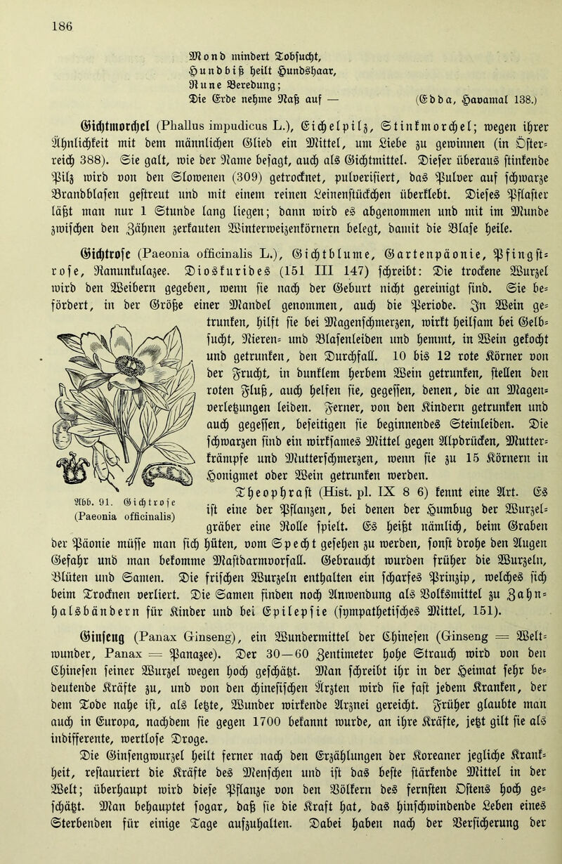 SJlojtb minbert $obfucf)t, §uitbbifj bjeilt §unb§t)aar, 91une SJerebung; $ie 6rbe nehme iftafi auf — (@bba, £>aoamal 138.) ©id)tnu)rcf)el (Phallus impudicus L.), ©idhelpilg, Stinfmorchel; roegen i^rer 2ihnlidhfeit mit betn männlichen ©lieb ein Mittel, um Siebe gu geroinnen (in öfter* reich 388). (Sie galt, roie ber 9tame befagt, auch all ©idjtmittel. SDiefer überaus ftinfenbe $ilg rairb non beit Sloroenen (309) getrodnet, puluerifiert, baS ^uloer auf f dl) mar ge 33ranbblafen geftreut unb mit einem reinen Seinenftüddhen überflebt. SiefeS ^flafter läfjt man nur 1 (Stunbe lang liegen; bann mirb eS abgenommen unb mit im üftunbe groifdhen beit 3ßhnen gerfauten äßinterraeigenförnern belegt, bamit bie 33lafe heile. ©idjtrofe (Paeonia officinalis L.), ©idhtbtume, ©artenpöonie, ^3fingft= rofe, 9tanunfulagee. SioSfuribeS (151 III 147) fd^reibt: Sie trodene SBurgel mirb ben Sßeibern gegeben, roenn fie nach ber ©eburt nicht gereinigt finb. Sie be= förbert, in ber ©röfje einer ÜDlanbel genommen, auch bie ^ßeriobe. $n 2öein ge= trunfen, hilft fie bei 9Jtagenfcf)mergen, rairft heilfam bei ©elb* fud)t, Vieren* unb Blafenleiben unb hemmt, in SBein gelocht unb getrunfen, ben Surchfall. 10 bis 12 rote Körner ooit ber $rucl)t, in bunflem hebern Söein getrunfen, ftellen ben roten glufj, auch Reifen fie, gegeffett, benen, bie an Silagen* oerle|ungen leiben, ferner, oon ben Ambern getrunfen unb auch gegeffen, befeitigen fie beginnenbeS Steinleiben. Sie fdhraargen finb ein roirffameS Mittel gegen Slipbrüden, SHutter* fräntpfe unb Slfutterfchmergen, raettn fie gu 15 Körnern in (gonigmet ober SBein getrunfen merben. Sheophraft (Hist. pl. IX 8 6) fennt eine Slrt. SS ift eine ber ^flangen, bei benen ber <gumbug ber Söurgel* gröber eine 9toHe fpielt. @S heifjt nämlidf), beim ©rabeit ber Päonie müffe man fidh hüten, oom Specht gefeheit gu roerbeti, fonft brohe ben Slugert ©efahr unb man befomme ülfaftbarmoorfall. ©ebraudd mürben früher bie SBurgelit, Blüten unb Samen. Sie frifd^en SBurgeln enthalten ein fdharfeS ^ringip, meines fidh beim Srodneit oerliert. Sie Samen finben noch Slnroenbung als SBolfSmittel gu 3al;u= halsbäitbern für Üinber unb bei ©pilepfie (fpmpathetifdheS üDfittel, 151). ©infeng (Panax Ginseng), ein SBunbermittel ber ©hinefen (Ginseng = äBelt* rounber, Panax = glanagee). Ser 30—60 3entimeter hohe ©trauet) mirb oon ben 6l)inefen feiner SBurgel roegen hoch gefd^äfet. 9Jfan fdhreibt ihr in ber Heimat fehr be* beutenbe Kräfte gu, unb oon ben chinefifchen Slrgten mirb fie faft jebent ^ranfen, ber bem Sobe nahe ift, als fefete, SB unb er roirfenbe Slrgnei gereicht, früher glaubte man auch in ©uropa, nadhbent fie gegen 1700 befannt mürbe, an ihre Kräfte, jefet gilt fie als inbifferente, mertlofe Sroge. Sie ©infengrourgel heilt ferner nadh ben ©rgäfjlungen ber Koreaner jegliche traitf* heit, reftauriert bie Kräfte beS 9Jcenfd)en unb ift baS befte ftärfenbe -Büttel in ber SBelt; überhaupt rairb biefe ^flange oon ben 33ölfern beS fernften DftenS hoch ge= fd;ä|t. 9)fan behauptet fogar, bafj fie bie 5?raft hot, baS hinfdhminbenbe Seben eines Sterbenben für einige Sage aufgufjalten. Sabei ha&en nach ber SBerfidherung ber