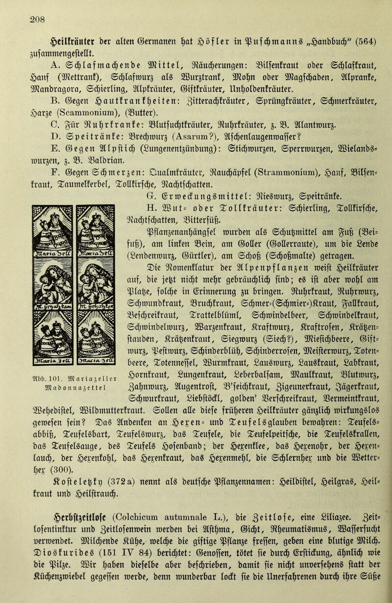 |)etlfrciuter ber alten ©ermatten f)at tgöfler in ^3itftmannS „iganbbut (564) äufammengeftedt. A. ©tlafmatenbe bittet, Läuterungen: 93ilfenfraut ober ©tlaffraut, tganf (Liettranf), ©tlafraurä als 9ßurjtranf, Ltofm ober -JJtagftaben, Stlpranfe, LJanbragora, (Schierling, Stlpfräuter, ©iftfräuter, Unfiolbenfräuter. B. ©egen <Qautfranff)eiten: 3üteratfräuter, ©priingfräuter, ©tmerfräuter, Übarje (Scammonium), (Butter). C. $ür Lufyrfranfe: SBtutfuchtfräuter, Lufjrfräuter, j. 93. 2llantnntrj. D. ©peitränfe: 93retmur$ (Asarum?), Stftenlaugenmaffer? E. ©egen 211 p ft i t (Sungenentjünbung): ©titmurjeu, ©perrrourjen, 9SielanbS* nmrjen, j. 93. 93albrian. F. ©egen ©cf)merjen: Qualmfräutcr, Lautäpfel (Strammonium), <Qanf, 93ilfen= fraut, £aumelferbel, Sodfirfte, Lattft<*tten. Gf. ©rroecfungSmittel: LieSrourj, ©peitränfe. H. SB u t = ober £ollfräuter: ©tierling, SCodfirfte, Lattftatten, 93itterfüfj. ißflanjenanfjängfel rourbeit als ©tu&mittet am $UÜ3 (93ei= fitjg), am linfen 93ein, am ©oder (©oderraute), um bie Senbe (Senbenmurj, ©ürtler), am ©tofs (©toffmalte) getragen. ®ie Lomenflatur ber Sllpenpflanjen roeift iQeilfräuter auf, bie jefct nicht mefjr gebräutüt finb; eS ift aber mo§I am ^iabe, fotcfje in ©rinnerung ju bringen. Luljrfraut, 9iuf»rrourj, ©trounbfraut, 23rutfraut, ©tmer=(©twiier=)Hraut, gadfraut, 93eftreifraut, Srattelblüml, ©trainbelbeer, ©ttüinbelfraut, ©troinbelrourj, SBarjenfraut, förafttourj, ^raftrofen, ^räfcen* [tauben, Sfrätsenfraut, ©iegmurj (©iet?), 3J?ieft<hbeere, ©ift* raur§, ^eftrourj, ©tinberblüf), ©tinberrofen, Lteifterrourj, £oten= beere, Sotenneffel, SBurmfraut, SauSrourj, SauSfraut, Sabfraut, <gornfraut, Sungenfraut, Seberbalfam, Ltaulfraut, 93lutrourj, 3a§nrourj, Stugentroft, 93’feitfraut, 3i9eunerfraut $ägerfraut, ©tmurfraut, Siebftöcfl, golben’ 93erft reif raut, 93ermeintfraut, SBeljebiftel, SBilbmutterfraut. ©öden ade biefe früheren £>eilfräuter gänzlich rairfungSfoS geroefen fein? SaS Slnbenfen an §epen* unb TeufelSgfauben beroafjren: Teufels* abbih, SeufelSbart, 'SeufelSrourj, baS fteufele, bie SCeufelpeitfte, bie STeufetSfraden, baS SeufelSauge, beS SeufelS tgofenbanb; ber <Qepenflee, baS £>ej:enof)r, ber fiepen* laut, ber <gej:enfof)l, baS ^ejenfraut, baS tgepenmef)!, bie ©tlernfiej: unb bie SBetter* H (300). ^oftelefch) (372a) nennt als beutfcfje ^ffanjennamen: <§eilbiftel, (geilgraS, igeil* fraut unb tgeilftraut- f)erbftjeitIofe (Colchicum autumnale L.), bie 3eitlofe, e^ne Stiictgee. 3eit* fofentinftur unb 3eittofenroein roerben bei 2lftl)ma, ©icfjt, Lf»eumatiSmuS, SBafferfutt oerroenbet. Ltütenbe Jfiifje, roelte bie giftige Spflanje freffen, geben eine blutige 9Jtilt- SDioSfuribeS (151 IY 84) berittet: ©enoffen, tötet fie burt ©rfticfung, äfynlit mie bie ^ilje. SBir fjaben biefelbe aber betrieben, bamit fie nitt unoerfeljenS ftatt ber Jfütenjmiebel gegeffen raerbe, benn rounberbar locft fie bie Unerfahrenen burt ihre ©iiffe lübt). 101. SRariajeller SKabonuaäettet