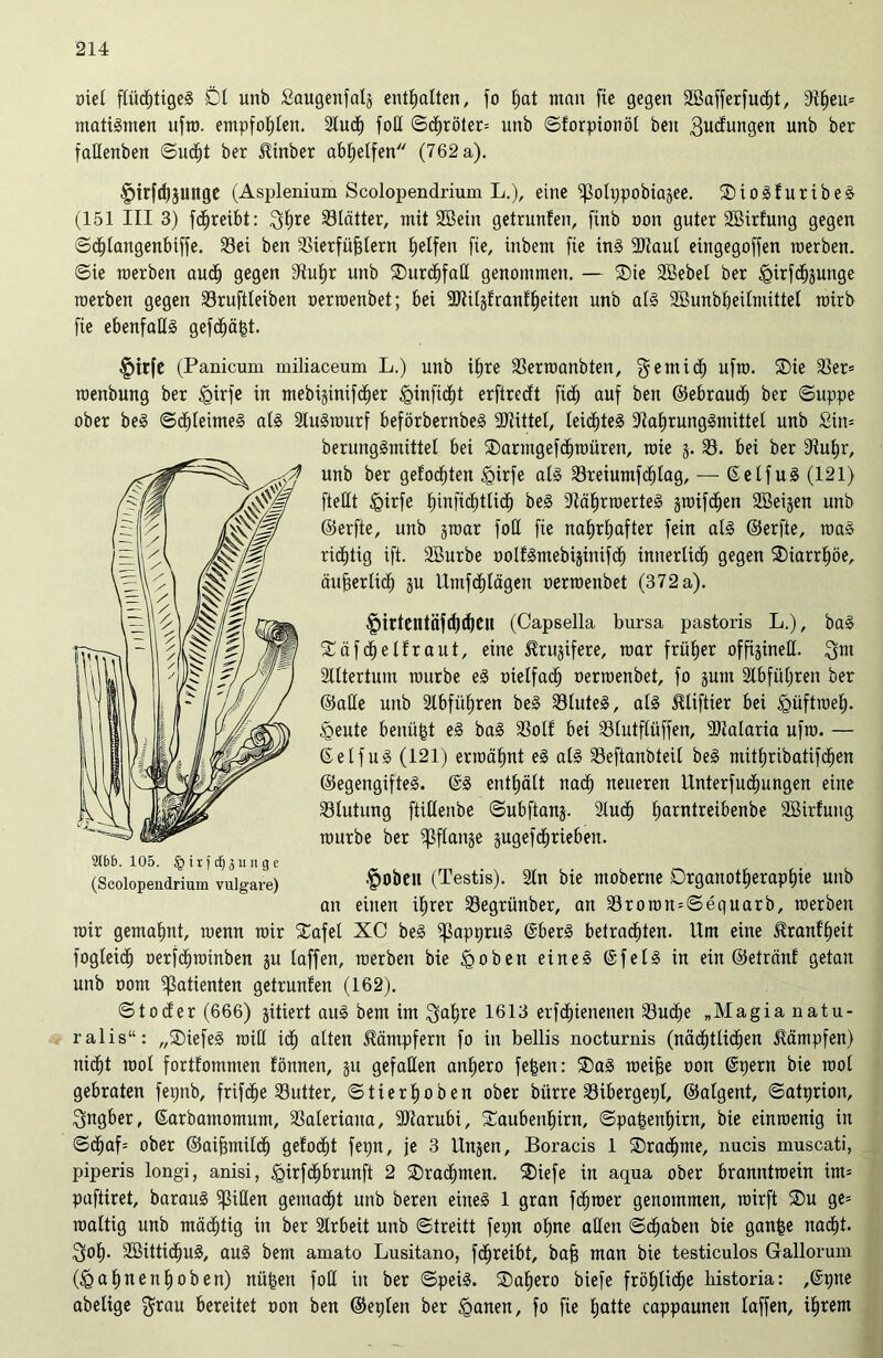 oiel flüchtiges Dl unb Saugenfais enthalten, fo l)at man fxe gegen 2öaffer[uc^t, 9t£)eu= matiSmen ufro. empfohlen. 2luch foH ©cf)röter= unb ©forpionöl beit 3ucfungen unb ber faEenben ©ucfjt ber JUnber abl»elfen (762 a). Iprfthjuttge (Asplenium Scolopendrium L.), eine fßolppobiasee. DioSfuribeS (151 III 3) fdhreibt: gfme Blätter, mit SBetn getruufen, finb oon guter SMrfung gegen ©dEjlangenbiffe. Sei ben Sierfüfjlern Reifen fie, inbem fie ins 3)taul eingegoffen merben. ©ie merben auch gegen 9tul)r unb DurchfaE genommen. — Die 2Bebel ber igirfchsunge merben gegen Sruftleiben oerroenbet; bei EKilsfranfheiten unb als Sßunbheilmittel rairb fie ebenfalls gefdhä£t. §irfe (Panicum miliaceum L.) unb if)re Serroanbten, gernidh ufro. roenbung ber igirfe in mebijinifc^er <ginfi<ht erftrecft fich auf ben ©ebrauch ber ©uppe ober beS ©dhleimeS als 2luSrourf beförbernbeS Mittel, leichtes fftahrungSmittel unb £in= berungSmittet bei Darmgefchroüren, raie j. S. bei ber fHuljr, unb ber gelobten igirfe als Sreiumfchlag, — ©elfuS (121) fteHt £>irfe hiuft<htli<h beS 9täl)rroerteS groifc^en SBeijen unb ©erfte, unb ^mar foE fie nahrhafter fein als ©erfte, roaS richtig ift. Sßurbe oolfSmebisinifcf) innerlich gegen Diarrhöe, äufgerlic^ gu Umfcfilägen oerraenbet (372 a). £>irtentäft()cf)Cn (Capsella bursa pastoris L.), baS Däfchelfraut, eine ^rujifere, mar früher offijineE. gm Slltertum mürbe eS oielfadj oerraenbet, fo sunt 2Ibfül;ren ber ©aEe unb 2Ibfüf)ren beS SluteS, als ^tiftier bei Egüftroef). £>eute benüfet eS baS Soll bei Slutflüffen, SRalaria ufm. — ©elfuS (121) ermähnt eS als Seftanbteil beS ntit£)ribatifd£)en ©egengifteS. @S enthält nach neueren Unterfudhungen eine Slutung füEenbe ©ubftanj. 2lu<h Ijarntreibenbe SBirfutig mürbe ber ^flanje jugefc^rieben. 2tbb. 105. §iifdjjunge (Scolopendrium vulgare) &0&CU (Testis). 2ln bie moberne Drganotfjeraphie unb an einen ihrer Segrünber, an Sroton = ©equarb, merben mir gemalmt, menn mir Dafel XC beS ^3appruS ©berS betrachten. Um eine üranfheit fogleidf) oerfdhroinben ju laffen, merben bie tgoben eines ©felS in ein ©etränf getan unb oom Patienten getruufen (162). ©tocfer (666) siliert aus bem im gatjre 1613 erfdhienenen Suche „Magia natu- ralis“: „DiefeS miE idh alten Kämpfern fo in beliis nocturnis (nächtlidhen Kämpfen) nidht mol fortfommen fönnen, ju gefaEen anhero fe^en: Das roeifce oon ©pern bie mol gebraten fepnb, frifdhe Sutter, ©tierhoben ober bürre Sibergepl, ©atgent, ©atprion, ^ngber, ©arbamomum, Saleriaita, ÜDtarubi, Daubenhirn, ©pahenfjirn, bie einroenig in ©d£jaf= ober ©aijjmilch gefocf)t fepn, je 3 Unsen, Boracis 1 Drachme, nucis muscati, piperis longi, anisi, <girf<hbrunft 2 Drachmen. Diefe in aqua ober branntraein im= paftiret, barauS fßiEen gemacht unb beren eines 1 gran fdhroer genommen, roirft Du ge= roaltig unb mächtig in ber 2lrbeit unb ©treitt fepn ohne aEen ©dhaben bie ganfce nacht, gol)- SBittidhuS, auS bem amato Lusitano, fchreibt, bah man bie testiculos Gallorum Og ahnenhoben) nii^en foE in ber ©peiS. Dahero biefe fröhliche historia: ,©pne abelige grau bereitet oon ben ©eplen ber <ganen, fo fie hatte cappaunen laffen, ihrem