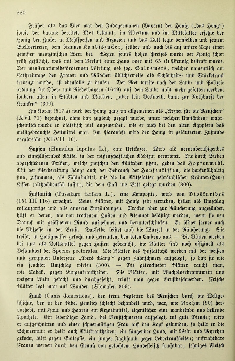 grüfjer als baS 33ier roar ben gnbogermanen (23apern) ber £onig („baS £öng) foiuie ber barauS bereitete 9J? e t belamtt; im Stltertum unb im Mittelalter erfefcte ber ^onig beit guder in Mefdfpeifen unb Slrpekn unb baS 23otl legte bemfelben unb feinem ©teßoertreter, bem braunen ^anbiSjuder, früt)er uttb auch bis auf unfere ©age einen geroiffen ntebijinifdhen Söert bei. SBegett feines h°hen fßreifeS mürbe ber <Qonig fcfion früh gefälfcfit, roaS mit bem SBertuft einer §anb ober mit 65 (!) Pfennig beftraft mürbe, ©er menftruationSbeförbernben SBirfitng beS fog. ©aloemetS, melier namentlich am $atl)reintage ben grauen unb Mäbdjen übtidferroeife als ©dfjönheitS* unb ©tärfetranl frebengt mürbe, ift ebenfaßS p bettfett. ©er Met burfte nach ber £anb= unb ^3oligei= orbnung für Ober* uttb 9iieberbapertt (1649) auf bent Saitbe nicht mehr gefotten roerben, fonbern aßeiit in ©täbten unb Märften, „aber fein Sodntetf), bann pr 9totl)burft ber Oranten (300). gm £oran (517 a) mirb ber £?onig gang im aßgemeinen als „Slrpei für bie Menfchen (XVI 71) bezeichnet, olpe baff gugleid^ gefagt mürbe, unter roeldjen Umftänben; roatir= fdtjeintidt) mürbe er biätetifd) nie! angemenbet, roie er auch bei ben alten Slgpptern baS nteiftgebraudite Heilmittel mar. gm ^arabiefe mirb ber £>onig in geläutertem guftanbe oerabreidht (XLYII 16). fiojjfen (Humulus lupulus L.), eine Urtifagee. Sßirb als nernenberutiigenbeS unb einfchläfentbeS Mittel in ber roiffenfchaftlidhen Mebijin oerorbnet. ©ie burch (Sieben abgefdhiebenen Prüfen, welche pnfchen ben 33tättdhen ftfcen, geben baS <gopfenmet)!. Mit ber 33ierbereitung hängt aucf) ber ©ebraudh ber <gopfeuliffen, bie fropfenölfjaltig finb, pfammen, als Schlafmittel, roie bie im Mittelalter gebräuchlichen ^räuter=(§eu=) Riffen (attfiod^beutfcb fttffin), bie bem ©aft inS 33ett gelegt mürben (300). fmflattid) (Tussilago farfara L.), eine Slompofite, mirb non ©ioSluribeS (151 III 116) ermähnt, ©eine 331ätter, mit <gonig fein zerrieben, heilen atS Umfdhlag rotlaufartige unb aße aitberen (Sntpnbungen. Groden aber pr SJtäucherung angepnbet, f)itft er betten, bie ooit trodenetn iguften unb Sttemnot betäftigt roerben, mentt fie ben ©ampf mit geöffnetem Munb aufnehmen unb herunterfchluden. @r öffnet ferner audj bie Slbfgeffe in ber 23ruft. ©aSfelbe leiftet aucf) bie SBurjel in ber Räucherung. ©ie treibt, in ^onigroaffer getobt unb getrunfen, ben toten ©tttbrpo auS. — ©ie 931üten roerben bei unS als Rollsmittel gegen <guften gebraust, bie Blätter finb noch offigineß als 93eftanbteil ber Species pectorales. ©ie Blätter beS £mflatticf)S roerben mit ber roeifjen unb gerippten Unterfeite „übers 2Bang’ gegen gafpfcijmerz aufgelegt, fo baff fie roie ein feuchter Umfdhlag roirfett (300). — ©ie getrodneten Blätter raucht man, roie ©abaf, gegen £ungenfranfl)eiten. ©ie Blätter, mit 2Bacf)otberbranntroein unb meinem SSein gelobt unb burd^gefei^t, trinft man gegen 33ruftbefdhroerben. griffe Blätter legt man auf SBunben (©loroaten 309). fmttb (Canis domesticus), ber treue Begleiter beS Menfchen burcl) bie 2Beltge= fd^idfite, ber in ber Sibel giemlid^ fcf)ledht befjanbelt mirb, roar, roie $rel)m (90) f)er= uorfjebt, mit £aut unb paaren ein 2trgneimittel, eigentlicher eine roanbetnbe unb beßenbe 2lpot£)efe. ©in lebenbiger <gunb, bei Sruftfchmerjen aufgelegt, tut gute ©ienfte; roirb er aufgefdhnitten unb einer fdhroermütigen grau auf ben 5lopf gebunbett, fo heilt er bie ©chroermut; er heilt auch SDIitgfranf^eiten; ein fäugenber <gunb, mit 2Bein unb Mprrhen gelodet, hilft gegen ©pilepfk, eitt junger gagbfmnb gegen £eberlranf£)eiten; unfruchtbare grauen roerben burdh ben ©enufj oon gelochtem <gunbefleif<h fruchtbar; fehnigeS gleifcf)