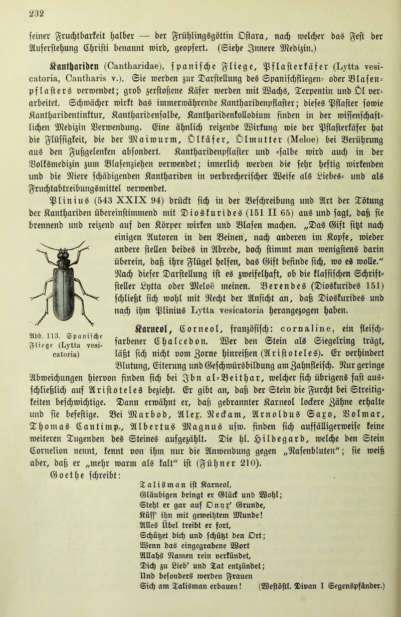 feiner grudljtbarfeit falber — ber griihlingSgöttin Dftara, nach welcher baS geft ber Stuferftetjung ß^rifti benannt wirb, geopfert, (Siehe innere 3D?ebijin.) Hanthatiben (Cantharidae), fpantfd^e fliege, ^ßflafterfäfer (Lytta vesi- catoria, Cantharis v.). Sie werben jur SDarfteUung beS ©panifchfliegen» oberSlafen» pflafterS oerwenbet; grob jerftoBene Häfer werben mit SBadhS, Serpentin unb Dt »er* arbeitet. Schwächer wirft baS immerwäfirenbe Hantharibenpflafter; biefeS fpflafter fowie Hantfjaribentinftur, Hantharibenfalbe, Hantharibenfottobium finben in ber wiffenfdhaft» liehen SRebijin Serwenbutig. (Sine ähnlich reijenbe Sßirfung wie ber ^flafterfäfer hat bie glüffigfeit, bie ber 9)taiwurm, Dlfäfer, Dlmutter (Meloe) bei Seriihrung auS ben guBgelenfen abfonbert. Hantharibenpflafter unb »falbe wirb auch in ber SolfSmebijin jurn Slafenziehen oerwenbet; innerlich werben bie fefir £)eftig wirfenben unb bie Stiere fcf)äbigenben Hantf)ariben in oerbrecherifcher Söeife als Siebes» unb als grndhtabtreibungSmittel oerwenbet. $)3liniuS (543 XXIX 94) brücft fidh in ber Sefdfireibung unb 2lrt ber Rötung ber Hantfjariben übereinftitumenb mit ®ioSfuribeS (151 II 65) aus unb fagt, baB fie brennenb unb reigenb auf ben Hörper wirfen unb Hafen machen. „2)aS ©ift fifet nach einigen Slutoren in ben Seinen, nach anberen im Hopfe, wieber anbere fteHen beibeS in 2lbrebe, hoch ftimmt man wenigftenS barin überein, baB ihre glügel helfen, baS ©ift befinbe fidh, wo eS wolle. Stadl; biefer SDarfteHung ift eS zweifelhaft, ob bie flafftfchen ©chrift» fteHer Sptta ober SMoe meinen. SerenbeS (SDioSfuribeS 151) fchlieBt fidh mohl mit Siecht ber 2lnficht an, baB SDioSfuribeS unb nach il;m ^UniuS Lytta yesicatoria herangejogen haben. Hanteol, (Sorneol, franjöfifch: cornaline, ein fleifd;» farbener (Sfjalcebon. 2öer ben ©tein als ©iegelring trägt, läjst fich nicht oom 3orne hinreiBen (21 r i ft o t e l e S). (Sr oerhinbert Hutung, (Siterung unb ©efchwürSbilbung am3ahufleifdh. Stur geringe 2lbweidhungen fperoon finben fidh bei gbn al» Seit har, welcher fidh übrigens faft auS» fchtieBlidb auf SlriftoteleS bejieht. @r gibt an, baB ber ©tein bie furcht bei Streitig» feiten befchmichtige. ®ann erwähnt er, baB gebrannter Harneol lodere 3ähne erhalte unb fie befeftige. Sei SJtarbob, 2llep. St e cf am, 2trnolbuS ©apo, Solmar, £h°ma§ Santi mp., 2llbertuS SJtagnuS ufw. finben fidh auffälligerweife feine weiteren 5£ugenben beS ©teineS aufgewühlt. S5ie Id- ^ilbegarb, welche ben ©tein (Sornetion nennt, fennt oon ihm nur bie 2lnwenbung gegen „Stafenbluten; fie weiB aber, baB er „mehr warm als fall ift (kühner 210). © o e t h e fdhreibt: SaliSman ift Harneol, ©laubigen bringt er ©tücf unb SQ3o£>r; @tet)t er gar auf Dnps’ ©runbe, Hüff’ ilm mit geweihtem SSunbe! 2(t(e§ Übel treibt er fort, Schüfet bicf) unb fc£)ü^t ben Ort; SBenn bas> eingegrabene 23ort 2tIIah§ Samen rein oerüinbet, ®idh ju Sieb’ unb SEat entjünbet; Unb befonberS werben grauen ©ich am Talisman erbauen! (SBeftöftl. ®ioan I ©egenSpfänber.) 9lbb. 113. Spnnijdje 2r liege (Lytta vesi- catoria)