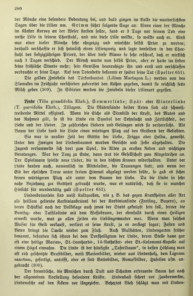 ber SJiöncbe eine befonbere Sebeutuitg bei, unb halb gingen im Solle bie rounberlichften (Sagen über bie Silien um. ©rimnt führt fotgenbe Sage an: 3Benn einer ber Siönche im JUofter $orvep an ber 2öefer fterben foüte, fanb er 3 Sage vor feinem Sob eine roeifie Silie in feinem ©borftutil, unb raie biefe Silie roelfte, fo melfte auch er. @inft mar einer biefer 9Jiöncf)e fefir ebjrgeigxg unb roünfdjte felbft $rior gu roerben; begljalb verfchaffte er fich Ifeimlicf) einen Siliengroeig unb legte benfelben in ben (Shor= ftuf)l beS fiebgigfährigen ^ßriorS, ber über biefe Slume fo fetjr erfhraf, baff er roirflich nach 3 Sagen oerfdfieb. Ser 9ftönch mürbe nun felbft ^rior, aber .er batte im Sebeit feine fröhliche Stunbe mehr; fein ©eroiffen beunruhigte ihn unb ernft unb verfhloffen verbrachte er feine Sage. Stuf bem Sotenbette befannte er fpäter feine Sat (Spelter 651). Sie gelben ^nnebeln be§ SürfenbuubeS (Lilium Martagon L.) merben von ben Sloroafen im grüfjjahr verfd)ieben gubereitet ben Silben gegeben, bamit fie reichlich fette 9JUld) geben (309). £$n Sibirien roerben bie 3u>iebeln biefer Silienart gegeffen. Sittbe (Tilia grandifolia Ehrb.), Sommerlinbe; Spät = ober SBinterlinbe (T. parvifolia Ehrb.), Siliageen. Sie Sliitenftänbe beiber Strten finb als fchroeifp treibenbe 2Rittet offigineü. 2Benn bie (Siehe als Shmbilb ber $raft, beS ‘■DiuteS unb beS 9iuhme§ gilt, fo ift bie Sinbe ein Spmbol ber Sehnfucht unb 3ärtlid)feit, ber Siebe unb ber Sieber. 3n gahlreicfjen Siebern unb ©efängen roirb fie verherrlicht. 2llS Saum ber Siebe fanb bie Sinbe einen roiirbigen ^3la£ auf ben ©räbern ber ©eliebten. Sie mar in uralter 3e*t ber ©öttin ber Siebe, grigga ober <Qotba, gemeint. Unter ben 3raetgen beS SiubenbaumeS mürben @erid)te unb $efte abgehalten. Sie 3ugenb verfammelte fi<h bort gum Spiel, bie 2llten gu ernften ^eben unb mistigen Seratungen. 2Bar ber Sang gu Snbe, bann trat bie ©efellfdhaft gum yiingelreihen an. Ser Spielmann fpielte neue Sieber, bie in ben bichten fronen rciberhaüten. Unter ber Sinbe fanben aucf), namentlich im Sliittelalter, bie Stauungen ftatt; unb roenn ber @ib ber ehelichen Sreue unter freiem <gimmel abgelegt merben follte, fo gab eS fidher feinen roürbigeren $lah als unter bem Saume ber Siebe. Sa bie Sinbe in fehr nahe Segiehung gur ©ottheit gebracht mürbe, mar es natürlich, bah fie tu mancher iginficht für rounbertätig galt (Spetter 651). Sinbenbrünntein finb nteift Hultgueßen, mie g. S. baS gegen itranf'heiten aller 2lrt als hettiunt gettenbe ^orbinianbrünnt bei ber ^orbiniantinbe (^reifing, Sapern), an beren Sdhicffat nach ber Solfsfage auch jenes ber Stabt gefnüpft fein foQ, ferner bie Sonifag; ober Saffilolinbe mit bem Sßeffobrunn, ber ebenfalls burdh einen ^eiligen erroecft mürbe, roaS gu allen 3eiteu ein SieblingSrounber mar. Söenn man folcheS SBaffer für ©elb verlauft, verliert eS feine JUaft, ja eS verfiegt fogar; gaften unb Seien bringt bie Duelle roieber gum glüh- Sluch SRalftätten, Sinbengarten früher benannt, befanben fich öfters bei bem Sorfheiligtum ber Sinbe, beren Stelle bann gar oft eine heilige 9Jfarien*, St.=SeonharbS=, 14=9tothelfer= ober St.=$olomanS=$apeHe auf einem <gügel einnahm. Sie Sinbe ift ber häufigfte „Saferlbaum, in beffen <Qöf)tung man oft rol; gefcfjnihte Sruftbilber, meift 2ttarienbilber, roieber auS Sinbenholg, bem Lignum sanctum, gefertigt, antrifft, ober eS finb Sotivbilber, Sumpfbüber, Igufeifen ufro. an= gebracht (300). Ser freunblidhe, bie 2ttenf<hen burch Suft unb Schütten erfreuenbe Saum f)at nach ber allgemeinen Sorfteßung befonbere Kräfte. Sinbenbaft fichert vor 3au&enöerfen, Sinbenafche auf ben ädern vor Ungegiefer. SehepteS Sieh fd£)lägt man mit Sinben=