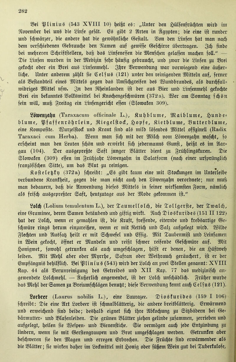 Sei fßliniuS (543 XVIII 10) fjeijjt eS: „Unter ben £ülfenfrüchten roirb im Stooember bei uns bie Sinfe gefeit. ES gibt 2 Sitten in Slgppten; bie eine ift runber unb fcfjroärjer, bie anbere Ijat bie gewöhnliche ©eftalt. Son ben Sinfen l»at man nach bem oerfädebenen ©ebraudje ben fUatnen auf geröiffe ©efefeirre übertragen. ^d) finbe bei mehreren ©chriftftellern, bafe baS Sinfetteffen bie 9)tenfd)en gelaffen machen foH. — ®ie Sinfen mürben in ber 5DZebi§in fel)r häufig gebraust, unb jraar bie Sinfen p Srei gelocht ober ein Srei aus Sinfenmehl. 3h*c Serroenbung mar oorroiegenb eine äufeer» lidhe. Unter atiberetn §ä£)It fie EetfuS (121) unter ben reinigenben SRitteln auf, ferner als Seftanbteil eines SJiittelS gegen baS Umfichgreifen beS SButtbbranbeS, als burchfalV ■ roibrigeS SJüttel ufra. $u ben 9iheinlanbett ift ber aus Sier unb Sinfenmehl gelochte Srei ein belannteS SotiSmittel bei ^nodhengefchroüren (372a). SBer am ©onntag fdhöu fein will, mufe Freitag ein Sinfengericht effen (©loroafen 309). Sötoeitjahu (Taraxacum officinale L.), Kuhblume, 9)taiblume, igunbe* blume, ipfaffenröhrlein, Sliegetftod, <gopfe, Hietblume, Sutterblume, eine ^ompofite. 2Bur§eIftocE unb £raut finb als milb löfenbeS ÜJlittel offijinell (Radix Taraxaci cum Herba). 2Benn man fidh mit ber iOiilch oont Söroenzaljn wmfdht, fo erfdheint man ben Seuten fchön unb erroirbt fidh jebermannS ©unft, heifet int 2lars gau (104). ®er auSgeprefete ©aft junger Slätter bient §u grühlingSluren. 3)ie ©loroalen (309) effen im Frühjahr Söroenzalm in ©alatfornt (nad) einer urfprünglid) franpfifchen ©itte), um baS Slut gu reinigen. Sloftetefett) (372a) fd^reibt: „ES gibt laurn eine mit ©todlungen im Unterleibe uerbunbene Jlranfheit, gegen bie man nicht auch ben Söroenpfp uerorbnete; nur mufe man bebauern, bafe bie Slnroenbung biefeS Mittels in feiner mirlfamften $ornt, nämlidh als frifch auSgeprefeter ©aft, heutzutage aus ber SJiobe gelommen ift. Solch (Lolium temulentum L.), ber taumelt o Ich, bie £ollgerfte, ber Sroald), eine ©raminee, bereit ©amen betäubenb unb giftig roirlt. Stach ® ioSluribeS (151II122) hat ber Solch, raenn er gemahlen ift, bie straft, freffenbe, eiternbe unb IrebSartige ©e= fdhroüre rings herum einpreifjen, roenn er mit Stettidh unb ©al§ aufgelegt roirb. Sßilbe flechten unb SluSfafe he^t er mit ©dfjroefel unb Effig. 90tit Saubenmift unb Seinfameit in 2Bein gelodht, öffnet er SDtanbeln unb reifet fehroer reifenbe ©efchraüre auf. 9Jtit ^onigmet, foroofet getrunlen als aud) umgefchlagen, t)xtft er beneit, bie an <güftroeh leiben. 9J?it SRefel aber ober SJtprrhe, ©afran ober SBeiferauch geräuchert, ift er ber Empfängnis behilflich- Sei ißliniuS (543) roirb ber Solch an zwei ©teilen genannt: XVIII $ap. 44 als Serunreinigung beS ©etreibeS unb XII 5?ap. 77 baS mebijinifdh an» geroenbete Sotchmehl. — Slufeerlicfe angeroenbet, ift ber Sold) unfcf)äblich- früher roitrbe baSSMd ber ©amen pSreiumfchlägen benufet; biefe Serroenbung fennt auch EelfuS (121). ^ Sorbeer (Laurus nobilis L.), eine Saurajee. ©ioSluribeS (159 I 106) fchreibt: ®ie eine Slrt Sorbeer ift fdjmalblätterig, bie anbere breitblätterig. Erroärmenb unb erroeidhenb finb beibe; beSfealb eignet fidh ihre 2lblodhung p ©ifebäbern bei ©e= bärmutter» unb Slafenleibeit. ®ie grünen Slätter ziehen gelinbe zufammen, zerrieben unb aufgelegt, heilen fie SBefpen» unb Sienenftidhe. ©ie oermögen auch jebe Entzünbung zu linbern, roenn fie mit ©erftengraupen unb Srot umgefdhlagen werben, ©etrunlen aber befdhroeren fie ben SJtagen unb erregen Erbrechen. ®ie flüchte finb erroärmenber als bie Slätter; fie roirlen baher im Sedmittel mit igonig ober füfeem SBein gut bei Suberlutofe,