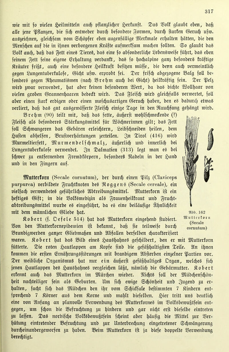 roie mit fo oieleu Heilmitteln auch pflanjlidher £erfunft. SaS Bolf glaubt eben, baff alle jene ißflanwen, bie fict) entroeber burcfj befonbere formen, burdh ftarfen ©eruch ufro. auS^eichnen, gteic^fam oont ©dhöpfer eben augenfällige Dlerfmale erhalten hätten, bie ben •äJienfdhen auf bie in ihnen »erborgenen Kräfte aufmerffam machen follten. ©o glaubt baS 33olf auch, baff baS $ett eines Bieres, baS eine fo abfonberlicfje SebenSroeife füfjrt, baS eben feinem $ett feine eigene (Srhattung oerbanft, baS fo fjocbalpine ganj befonberS Iräftige Kräuter frifjt, auch eine befonbere Heilfraft befreit müffe, bie beitu aud) oermeintlid) gegen Sungentuberfulofe, ©icht ufra. erprobt fei. Ser frifdh abgewogene Balg foH be= fonberS gegen 9theumatiSmen (nach Brehnt auch bei ©icf)t) l»eilfräftig fein. Ser ißelj roirb jmar »erroenbet, l»at aber feinen befonberen 2ßert, ba baS biente SBollljaar non oielen groben ©rannenhaaren bebeeft mirb. SaS $leifch toirb gleid^fallS oermertet, foll aber einen ftarf erbigen ober einen mofdjuSartigen ©erudh haben, ben eS baburcl; etroaS oerliert, baff baS gut auSgeroäfferte $leifcf) einige 'Sage in ben 9taudhfang gefjängt roirb. Brehnt (90) teilt mit, baff baS fette, äufjerft rool;lfd;medenbe (?) gleifcf) als befonbereS ©tärfungSmittel für Sßöt^nerinnen gilt; baS $ett foU ©chroangeren baS ©ebären erleichtern, Seibfdhneiben l;eilen, bem <gufien abhelfen, Bruftoerhärtungen verteilen. 3« £irol (416) roirb •äJturmeltierfett, SJhtrmenbelfcbmalj, äufjerlicl) unb innerlich bei Sungentuberfulofe oerroenbet. $n Salmatien (313) legt man eS bei fdEjroer ju entfernenben grentbförpern, befonberS fabeln in ber ^ganb unb in ben Ringern auf. Sftutterforn (Secale cornutnm), ber burdh einen ^Jilj (Claviceps purpurea) oerbilbete $rudl)tfnoten beS Roggens (Secale cereale), ein »ietfadh uerroenbeteS gefährliches Abtreibungsmittel. SJtutterforn ift ein heftiges ©ift; in bie BolfSmebiwin als grauenheilfrant unb $ntcf)t* abtreibungSmittel rourbe eS eingeführt, ba eS eine beiläufige Äljnlidhfeit mit bem männlichen ©liebe hat. Robert (f. Oefele 514) hat baS SJfutterforn eingehenb ftubiert. Bon ben Ututterfornepibemien ift befannt, bajj fie teilroeife burd) Branbigroerben ganjer ©Hebmafjen unb Abfallen berfelben djarafterifiert roaren. Robert hat baS Bilb eines <gauSl)ahneS gefchilbert, ben er mit SJlutterforn fütterte. Sie roten <gautlappen am $opfe finb bie gefäffhaltigften Seile. An ihnen fommen bie erften ©rnährungSftörungen mit branbigem Abfterben einzelner Partien oor. Ser weibliche Organismus hat nur ein äufjerft gefäjühaltigeS Organ, roelcheS fidh jenen igautlappen beS <gauSf)ahneS Dergleichen läfjt, nämlidh bie ©ebärmutter. Robert erfennt auch baS -äJtutterforn im SMrdhett roieber. AidhtS foü ber 9Jiäbdfjenfdhön= heit nadhteiliger fein als ©eburten. Um fidh eroige ©dhönheit unb $ugenb ju er* halten, fucht fidh baS ÜMbdhen ben ihr oom ©chidfale beftimmten 7 JUnbern ent- fpredhenb 7 Körner aus bem $orne unb mahlt biefelben. Hier tritt uns beutlid> eine oon Anfang an planooKe Berroenbung beS 9JlutterforneS im BolfSberoufjtfein ent= gegen, um fdhon bie Befruchtung §u hebern unb gar nicht erft biefelbe eintreten ju laffen. SaS norbtfdhe BolfSberoufjtfein fcheint aber häufig bie Dtittel jur Ver- hütung eintretenber Befruchtung unb jur Unterbredhung eingetretener ©dhroängerung burc£)einanbergeroorfen ju haben. Beim fDtutterforn ift ja biefe hoppelte Berroenbung beredhtigt. 2166. 162 SKutterforit (Secale cornutum)