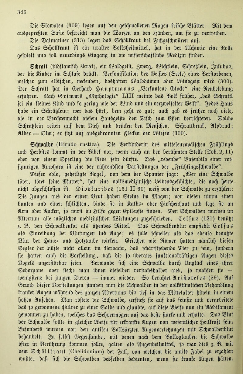 ®ie ©loroafen (309) (egen auf ben gefdhmoßenen SJtagen frifd^e Blätter. SJUt beut auSgeprefjten ©afte beftreidfjt man bie SBarjen an ben tQänben, um fie ju nertreiben. ©ie ^Dalmatiner (313) legen baS ©dhößfraut bei guhgefchroitren auf. ©aS ©dhößfraut ift ein uraltes 33olfSheilmittel, £>at in ber Sllchimie eine Stoße gefpielt unö foß neuerbingS Eingang in bie roiffenfdhaftlidhe SJtebijin ftnben. Schratt (fübftaroifdh skrat), ein 3BaIbgeift, 3roerg, SBidfjtlein, ©dhrehlein, SnfubuS, ber bie Hinber im ©dhlafe brüeft. ißerfonififation beS ©eifteS (©eele) eines 23erftorbenen, melier junt elbifchen, nedenben, boshaften SBatbbämon ober SBinbgeift mirb (300). ©er ©cfiratt hat in ©erwarb <gauptmannS „33erfunfene ©lode eine Steubelebung erfahren. Stad) ©rimmS „SJhßhologie LIII meinte baS S8olf früher, „baS ©djrattl fei ein fleineS Hinb unb fo gering roie ber 2Binb unb ein nerjmeifelter ©eift. ^ebeS £auS habe ein ©dhrä|lein; mer baS hört, bem gebjt es gut; auch gab eS früher noch niete, bie in ber 23erchtennacht biefem ^auSgeifte ben ©ifdfj jum ©ffen ^errichteten, ©olche ©<hrä§lein reiten auf bem 3Sieh unb brüden ben SJtenfdhen. ©dhrattbrud, Sllpbrud; Silber — Dlm; er fij$t auf ausgebrannten gleden ber SBiefen (300). ©rfjtimlbe (Hirudo rustica). ®ie 33erfünberin beS mitteleuropäif^en grüljlingS unb tQerbfteS lommt in ber 33ibel nor, rcenn auch an ber berühmten ©teile (©ob. 2,11) eher non einem ©perting bie Siebe fein bürfte. ©aS „rebenbe SSafenbilb einer rot* figurigen Slmpfjora ift eine ber rüfjrenbften ©arfteßungen ber „grülilingSfc^raalbe. ©iefer eble, geheiligte SSogel, non bem ber ©panier fagt: „3Ber eine ©djtnalbe tötet, tötet feine Sftutter, hat eine DolfSmebiginifche £eibenSgefd)idjte, bie noch heute nicht abgefditoffen ift. ©ioSfuribeS (151 II 60) roeih non ber ©djroalbe gu erzählen: ®ie jungen aus ber erften 33rut haben ©teine im SJtagen; non biefen nimm einen bunten unb einen flüchten, binbe fie in Halbs* ober <girf<henl)aut unb lege fie an Slrnt ober Staden, fo wirft bu igilfe gegen ©pilepfie finben. ®en ©chraatben mürben im Slltertum alle möglichen ntebijinifchen Söirfungen gugefchrieben. ©etfuS (121) benü|t i. 33. ben ©chmatbenfot als äfcenbeS SJtittel. ©aS ©chroalbenblut empfiehlt ©etfuS als ©inreibung bei Blutungen ins Sluge; es foße fdmeßer als baS ebenfo benu^te 33lut ber <QauS= unb Jgoljtaube rairfen. ©riechen wie Siömer hatten nämlich biefen ©egler ber Süfte nicht aßein im 23erbad)t, baS fdjärfftfehenbe ©ier gu fein, fonbern fie hatten auch bie 33orfteßung, bah bie fo überaus funftionSfräftigen Stugen biefeS SSogelS unjerftörbar feien. SSerrounbe fich eine ©chmalbe burch Unglüd eines ihrer ©ehorgane ober ftedje man ihnen biefetben oerfuchshalber aus, fo roüchfen fie — raenigftenS bei jungen ©ieren —immer roieber. ©o berichtet 21 riftoteleS (29). Stuf ©runb biefer 33orfteßungen ftanben nun bie ©dhraalben in ber oolfstümlidhen 33el;anblung franler Slugen roährenb beS gangen SlltertumS bis tief in baS SJtittelalter hinein in einem hohen Slnfehen. SJtan röftete bie ©chmalbe, gerftie^ fie auf baS feinfte unb oerarbeitete baS fo geroonnene Sßutner gu einer ©albe unb glaubte, auf biefe SBeife nun ein SJtebifament geroonnen gu haben, metcheS ba§ ©elwermögen auf baS befte ftärfe unb erhalte. ©aS 33lut ber ©chmalbe foßte in gleicher SBeife für erfranfte Slugen oon mefentticher <geilfraft fein. 33efonberS mürben non ben antifen SSolfSärgten Slugenoerlejgungen mit ©dhroalbenblut behanbelt. $a felbft ©egenftänbe, mit benen nadh bem 33olfSglauben bie ©chmalbe öfter in Berührung fontmen foßte, gatten als Slugenljeilmittel, fo mar bieS g. 33. mit bem ©djöltfraut (Chelidonium) ber $aß, non roeldhent bie antife $abel gu ergäben muhte, bah fi<h bie ©djmalben beSfelben bebienten, roenn fie franfe Slugen hätten.