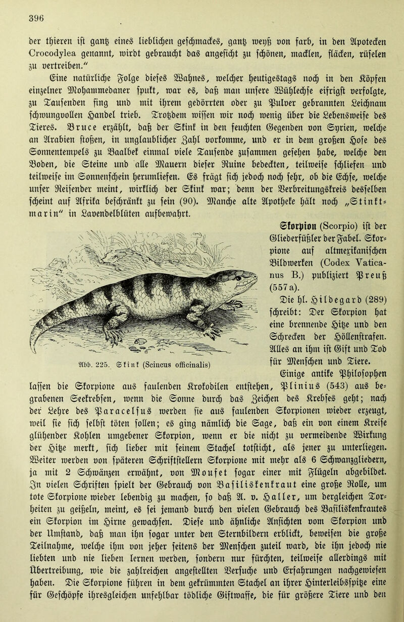 ber toteren ift gan£ eines lieblichen gefchmadeS, gan| roepfj non färb, in ben Slpoteden Crocodylea genannt, roirbt gebraucht baS angefidit zu frönen, macflen, finden, rüfelen ju oertreiben. ©ine natürliche golge biefeS 2öal)neS, roeldier heutigeStagS noch tu ben köpfen einzelner ÜDiohammebaner fpnft, n>ar eS, bah man unfere 2öül)lechfe eifrigft oerfolgte, SU Saufenben fing unb mit ihrem gebörrten ober zu ^uloer gebrannten Seidjnam fdhroungooHen iganbel trieb. £rohbem rniffen mir noch roenig über bie SebenSroeife beS Bieres. 23ruce ergählt, baff ber ©finf in ben feuchten ©egenben oon ©prien, roelche an Arabien flohen, in unglaublicher 3<*l)l oorfomtne, unb er in bem großen £ofe beS ©onnentempelS ju 33aalbef einmal oiele £aufenbe jufammen gefehen h^be, roelche ben S3oben, bie ©teine unb alle SOtauern biefer 9iuine bebecften, teitroeife fchliefen unb teilroeife im ©onnenfchein herumliefen. ©S fragt fi<h jeboch noch fehc ob bie ©djfe, roelche nufer 9ieifenber meint, roirflid) ber ©finf roar; benn ber 23erbreüungSfreiS beSfelben fcheint auf 2lfrifa befchränft ju fein (90). ÜDiancfie alte 2lpotf)efe hält noch „©tinft* marin in Saoenbelbliiten aufberoahrt. ©forpion (Scorpio) ift ber ©lieberfüfder ber gäbet. ©for= pione auf altmepifanifchen 33ilbroerfett (Codex Vatica- nus B.) publiziert ^ßreuh (557 a). ®ie hl. £ilbegarb (289) fchreibt: ®er ©forpion 1)at eine brennenbe <gi($e unb ben ©dhrecfen ber <QöHenftrafen. SlUeS an ihm ift ©ift unb £ob für 9)tenfd)en unb Siere. ©inige antife $pfnl°f°pfien laffen bie ©forpione auS faulenben Hrofobilen eutftehen, ^3liniuS (543) auS be= grabenen ©eefrebfen, roenn bie ©onne burch baS 3e^en ^eS SüebfeS geht; nach ber äehre beS $]3aracelfuS roerben fie auS faulenben ©forpionen roieber erzeugt, roeil fie fid) felbft töten foüen; cS ging nämlich bie ©age, bah ein oon einem Greife glühenber Hohlen umgebener ©forpion, roenn er bie nicht zu oermeibenbe Söirfung ber igipe merft, fich lieber mit feinem ©ta<hel totfticht, als jener zu unterliegen. Sßeiter roerben oon fpäteren ©chriftftellern ©forpione mit mehr als 6 ©chroanzgliebern, ja mit 2 ©chroänzen ermähnt, oon SJioufet fogar einer mit glügeln abgebilbet. $n oielen ©chriften fpielt ber ©ebraud) oon SBafiliSfenfraut eine grofje 9Me, um tote ©forpione roieber lebenbig zu machen, fo bah 21- *>• & aller, um begleichen £or= heiten zu geiheln, meint, eS fei jemanb burch ben oielen ©ebrauch beS SafüiSfenfrauteS ein ©forpion im <girne geroachfen. SDiefe unb ähnliche 2tnfid)ten oom ©forpion unb ber Umftanb, bah man ihn fogar unter ben ©ternbilbern erblidt, beroeifen bie grohe Teilnahme, roelche ihm oon jeher feüenS ber üölenfchen zuteil roarb, bie ihn jeboch nie liebten unb nie lieben lernen roerben, fonbern nur fürchten, teilroeife aüerbingS mit Übertreibung, wie bie zahlreichen angefteHten aSerfudje unb ©rfahrungen nachgeroiefen haben. ®ie ©forpione führen in bem gefrümmten ©tachel an ihrer ^ginterleibSfpipe eine für ©efchöpfe ihresgleichen unfehlbar löbliche ©iftroaffe, bie für gröbere £iere unb ben St6b. 225. ©finf (Scincus officinalis)