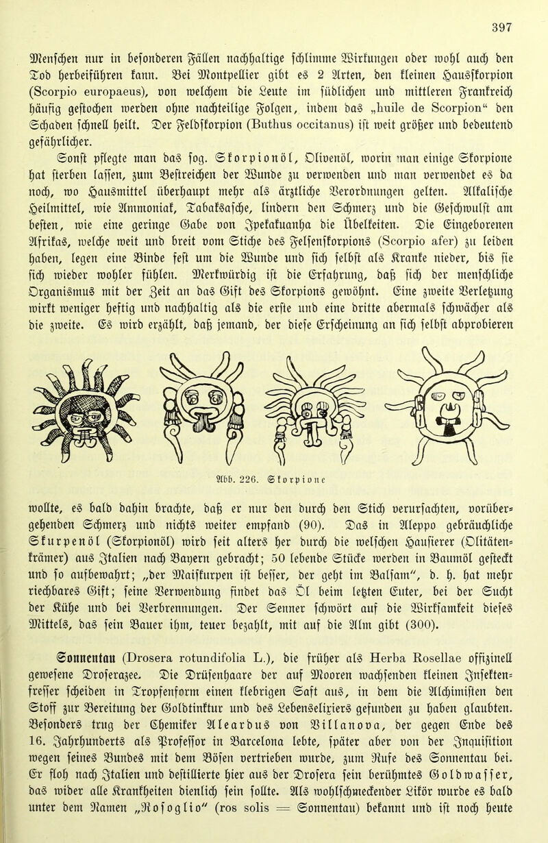 2)Jenfcfjen mir in befonberen fällen nachhaltige fchlimtne Sßirfungen ober wohl auch ben Oob E)erbeifiiJ)ren fntm. 33ei SJtontpedier gibt eS 2 2lrten, ben fleinen IgauSfforpion (Scorpio europaeus), oon welchem bie ßeute int fübtic^en unb mittleren $ranfreid) häufig geftoctjen merben ohne nachteilige folgen, ittbent baS „liuile de Scorpion“ ben (Schaben fd)neE heilt. Oer ^elbfforpion (Buthus occitanus) ift roeit größer unb bebeutenb gefährlicher. ©onft pflegte man baS fog. ©forpionöl, Dlioettöl, worin man einige ©forpiotte hat fterben laffen, jum Seftreichen ber Söunbe ju oerroenben unb man oerroenbet eS ba nod), roo Hausmittel überhaupt mehr als ärjtlid)e Serorbitungen gelten. 2llfalifche Heilmittel, rnie 2lnmtoniaf, OabafSafche, linbent ben ©chmerj unb bie ©efchwulft am befteu, wie eine geringe ©abe oon ^pefafuanha bie Übelfeiten. Oie (Eingeborenen 2lfrifaS, welche weit unb breit oom ©tiche beS gelfenfforpionS (Scorpio afer) ju leiben haben, legen eine Sinbe feft um bie Söunbe unb fid) felbft als Traufe nieber, bis fie fich wieber wohler fühlen. 9)terfwürbig ift bie (Erfahrung, bah fleh ber menfchlicbe Organismus mit ber $eit an baS ©ift beS ©forpionS gewöhnt, ©ine §weite Serlehung wirft weniger heftig unb nachhaltig als bie erfie unb eine britte abermals fdpoädjer als bie jweite. @S wirb erzählt, bah jemanb, ber biefe ©rfdjeinung an fid) felbft abprobieren 2166. 226. © f o rp io ne wollte, eS halb bahin brachte, bah er nur ben burch ben ©tid) oerurfadjten, ooriiber* gehettben ©d)mer§ unb nichts weiter empfanb (90). OaS in Slleppo gebräud)lid;e ©furpenöl (©forpionöl) wirb feit alterS her burch bie welfdjen Haufierer (Dlitäten* fränter) aus Italien ttadh Saijern gebradjt; 50 lebenbe ©tüde werben in Saumöl gefteeft unb fo aufbewahrt; „ber SJtaiffurpen ift beffer, ber geht im Salfam, b. h- hat mehr riechbares ©ift; feine Serwenbung finbet baS Öl beim lebten ©uter, bei ber ©udjt ber ^ühe unb bei Serbrennungen. Oer ©enner fchwört auf bie SBirffamfeit biefeS Mittels, baS fein Sauer ihm, teuer befahlt, mit auf bie 211m gibt (300). ©onnentöU (Drosera rotundifolia L.), bie früher als Herba Rosellae offigined gewefene Oroferajee. Oie Orüfenhaare ber auf SRooren wachfenben fleinen $nfeften= freffer fcheiben in Oropfenform einen fiebrigen ©aft aus, in bem bie 2lldjtmiften ben ©toff jur Sereitung ber ©olbtinftur unb beS SebenSelipierS gefunben ju haben glaubten. SefonberS trug ber ©hemifer 2llearbuS non Sillanooa, ber gegen ©nbe beS 16. 3uhrhunbertS als ^rofeffor in Sarcelona lebte, fpäter aber oon ber ^nquifition wegen feines SunbeS mit bem Söfen oertrieben würbe, jum Stufe beS ©onnentau bei. @r floh nach Italien unb beftiHierte hier auS ber Orofera fein berühmtes ©olbwaffer, baS wiber ade Jtranfheiten bienli<h fein fodte. 2llS wohlfcbmedenber Siför würbe eS halb unter bem Statuen „Stofoglio (ros solis = ©onnentau) befannt unb ift noch beute