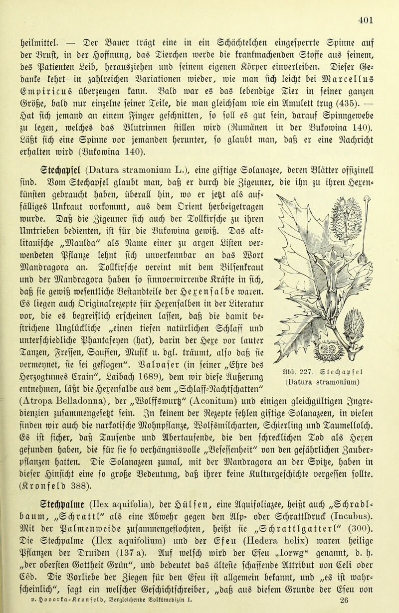 Heilmittel. — ©er Vauer trägt eine in ein ©dtjächteldljen eingefperrte ©pinne auf ber Vruft, in ber Hoffnung, baS ©ierchen werbe bie franfmadhenben (Stoffe aus feinem, beS Patienten Seib, herauSjtehen unb feinem eigenen Körper einoerleiben. SDiefer ©e= banfe fefjrt in zahlreichen Variationen mieber, wie man fitf) leitet bei arcellu^ ©mpiricuS überzeugen fann. Valb mar eS baS lebenbige 5©ier in feiner ganzen ©röjje, halb nur einzelne feiner ©eile, bie man gleidjfant wie ein Slmulett trug (435). — tgat ficH jemanb an einem Ringer gefcfjnitten, fo foll eS gut fein, barauf ©pinngeroebe Zu legen, meines baS Vlutrinnen füllen wirb (Rumänen in ber Vuforoina 140). Söfft fi<H eine ©pinne oor jemanben herunter, fo glaubt man, baff er eine 9tad)rict)t erhalten mirb (Vuforoina 140). ©ted)flf)fel (Datura stramonium L.), eine giftige ©olattazee, beren Vlätter offtzineU finb. Vom ©techapfef glaubt man, bafi er burdh bie geinter, bie if)n zu ihren (gegen* fünften gebraucht haben, überall l)in, roo er jetzt als auf* fällige^ Unfraut oorfontmt, aus betn Orient herbeigetragen mürbe. ©aff bie gigeuner ficH auch ber ©ollfirfdlje z» ihren Umtrieben bebienten, ift für bie Vuforaina gemifj. ®aS alt* litauifclje „-Utaulba als 9tame einer zu argen Siften oer* raenbeten Pflanze lehnt ficH unoerfennbar an baS Söort SJtanbragora an. ©oHEirfcfye oereint mit bem Vilfenfraut unb ber ÜRanbragora Haben fo finnoermirrenbe Kräfte in fiel), baff fie gemifj mefentliöhe Veftanbteile ber §epenfalbe roa^en. ©S liegen aud) Originalrezepte für tgepenfalben in ber Literatur oor, bie eS begreiflich erfcfjeinen laffen, baff bie bamit be= ftricHene Ungtücflidhe „einen tiefen natürlichen ©cf)laff unb unterfdjiebliche ^hautafepen (hat), barin ber <gepe oor lauter ©äugen, ^reffen, ©auffen, 9Jtufif u. bgl. träumt, alfo baff fie oermepnet, fie fei geflogen. Valoafer (in feiner „©hre beS (gerzogtumeS ©rain, Saibadh 1689), bem mir biefe Sinterung entnehmen, läfjt bie tgepenfalbe aus bem ,,©chlaff=9tachtfchatten'/ (Atropa Belladonna), ber „SöolffSwurtz (Aconitum) unb einigen gleichgültigen $ttgre* bienzien zufammengefefd fein. feinem ber Rezepte fehlen giftige ©olanazeen, in Dielen finben mir auch bie narfotifche 9)tohnpflanze, 2BolfSmitcf)arten, ©cfüerling unb ©aumelloldh. ©S ift ficher, baff ©aufenbe unb 2lbertaufenbe, bie ben fdhrecfüdhen ©ob als (gegen gefunben hüben, bie für fie fo oerhängniSooHe „Vefeffenljeit oon ben gefährlichen $auber= pflanjen hatten. ®ie ©olanazeen zumal, mit ber 2)tanbragora an ber ©pi£e, haben in biefer tginficht eine fo grofje Vebeutung, baff ihrer feine ^ulturgefchidhte oergeffen foHte. (^ronfelb 388). ©tedlfJalme (Ilex aquifolia), ber hülfen, eine 2lquifoliazee, helfet auch „©dhrabl* bäum, „©djrattl als eine 2lbroef)r gegen ben 21lp* ober ©dhrattlbrucf (Incubus). 90tit ber Valuten weibe zufantmengeflochten, feeifet fie „©cferattlgatterl (300). ®ie ©techpalme (Ilex aquifolium) unb ber ©feit (Hedera helix) waren herltge Pflanzen ber ©ruiben (137 a). Stuf wetfch wirb ber ©feu „Iorwg“ genannt, b. f> „ber oberften ©ottfeeit ©ritn, unb bebeutet baS ältefte fcfeaffenbe Attribut oon ©eü ober ©eb. ®ie Vorliebe ber $iegen für ben ©feu ift allgemein befannt, unb „eS ift wahr* fcfeeinlich, fagt ein welfrf)er @efchicf)tfdhreiber, „bafe auS biefem ©runbe ber ©feu oon o. §ooorIa;ArottfeIb, Sßergteicfjenbe Säolfärnebijin I. 26 mb. 227. Stechapfel (Datura stramonium)