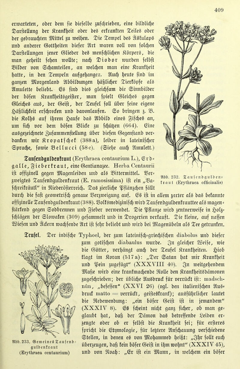 erwarteten, ober bent fie biefelbe gufdjrieben, eine bilblicfie Sarfteßung ber Uranfljeit ober beS erfranften Seiles ober ber gebrausten Mittel gu weiten. Sie Sernpel beS StSfulapS unb anberer ©ottfjeiten biefer Slrt waren ooß non fofdjen Sarfteflungen jener ©Heber beS menfdßidjen Körpers, bie man geteilt fefien wollte; nad) Siobor würben felbft Silber oon ©djamteilen, an welken man eine 5?ranfljeit batte, in ben Sempelit aufgefiatigeu. 2lud) fjeute finb im gangen 2Jforgenlanb Ibbilbungen f)äj3lid)er Sierföpfe als Stmulette beliebt. @S finb bieS gleidjfam bie ©iunbilber ber böfen £ranffjeitSgeifter, man fpielt @leid;eS gegen ©leidieS auS, ber ©eift, ber Seufel foß über feine eigene igäfjliSfeit erfdjreden unb baoonlaufen. ©o bringen g. S. bie $olfjS auf ifjrent igaufe baS 2lbbilb eines gifSeS an, um fid) oor bem böfen Slide gu fcfjütgen (664). Sine auSgegeiSnete gufammenfteßung über biefen ©egenftanb oer= banfen wir ^ropatfdjef (388 a), leiber in lateinifcber ©pradje, fowie Sellucci (58c). (©iefje audj Slmulett.) 9i6&. 232. £ aufenbgulbens traut (Erythraea officiualis) SanfenbguIbcnfrflUt (Erythraea centaurium L.), @r b* galle,gieberfraut, eine ©entianagee. Herba Centaurii ift offigineß gegen SPtagenleibeu unb als Sittermittel. Ser= gweigteS Saufenbgulbenfraut (E. ramosissima) ift ein „Sa= fSreifräutl in fftieberöfterreid). SaS gierlidje ^ßflängSen fällt burd; bie faft geometrifcfj genaue Sergweigung auf. @§ ift in aßem garter als baS befannte offigineße Saufenbgulbenfraut (388). SolfSmebiginifd) wirb Saufenbgulbenfrauttee als ntagen * ftärfenb gegen ©obbrennen unb lieber oerwenbet. Sie ‘pflange wirb gentnerweife in £>olg= fSlägett ber ©lowafen (309) gefamntelt unb in Srogerien oerfauft. Sie Heine, auf naffen Sßiefen unb 21dern wadifenbe Slrt ift fefjr beliebt unb wirb bei SRagenübeln als See getrunfen. Seufel. 9tbb. 233. (Setneine§ Saufenb; gutbentraut (Erythraea centaurium) Ser inbifSe Typhoel, ber gum lateinifdpgriedjifdien diabolus unb biefer gurn gotifdjen diabaulus würbe. $n gleicher SBeife, wie bie ©ötter, oerfjängt aurf) ber Seufel ^ranf^eiten. ipiob flagt im Sloran (517 a): „Ser ©atan l;at mir ^ranfljeit unb ^3ein gugefügt (XXXVIII 40). $n weitgefjenbem fDtafie wirb eine franfmadjenbe fßoße ben ^ranfljeitSbämonen gugefSrieben; ber übliche SluSbrud für oerriidt ift: madsch- nün, „befeffen (XXVI 26) (ogl. ben italienifSen 3luS* brud matto = oerrüdt, geifteSfranf); auSfüfjrfidjer lautet bie Stebewenbung: „ein böfer ©eift ift in jentanbem (XXXIV 8). @S fdjeint nidjt gang fidler, ob man ge= glaubt fiat, bafj ber Sämon baS betreffenbe fieiben er= geugte ober ob er felbft bie ^ranffjeit fei; für erftereS fpridit bie ©tpmologie, für festere SlnfSauung oerfdjiebene ©teßen, in benen eS oon -Dtofiammeb Reifet: „Sftr follt eud) übergeugeit, bafj fein böfer ©eift in ifim wofjnt (XXXIV 45), unb oon flioaf): „@r ift ein -Utann, in wettern ein böfer