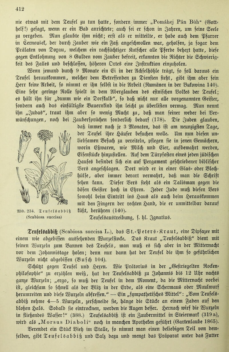 nie etwas mit bem Teufel §u tun ßatte, fonberu immer „Pomähej Pan Büh“ (®ott= ßelf!) gefagt, roenn er ein Sab anri^tete; aucß fei er fcßon in gaßren, um feine (Seele gu »ergeben. 9Kan glaubte ißtn nicßt; erft als er mitteilte, er ßabe audß bem Pfarrer in ©ernousel, ber burdß ,3<Mber raie ein gaß angefdßwotlen mar, geholfen, ja fogar bem Prälaten oon Topau, weldjem ein racßfüdßtiger itutfdßer alle ^ßferbe beließt ßatte, biefe gegen ©ntloßnung non 8 ©ulben oom gauber befreit, erfannten bie Stifter bie ©cßwierig= feit beS gaEeS unb befcßtoffen, ßößeren DrteS eine gnftruftion einjufiolen. Söenn femanb burdß 9 ÜKonate ein ©i in ber Sldßfelßößle trägt, fo foE barauS ein Teufel ßerauSfommen, melier bem Setreffenben ju Tienften fteßt, gibt ißm aber fein £err feine Strbeit, fo nimmt er ißn felbft in bie Arbeit (Rumänen in ber Sufowina 140). ©ine feßr geringe Atolle fpielt in bem 2tberglauben beS eftnifcßen SolfeS ber Teufel; eS ßält ißn für „bunttn raie ein Torffalb, fo baß nicßt nur alle oorgenannten ©eifter, fonbern audß baS einfältigfte Sauernfinb ifjn leidet ju Überliften oermag. 9Jfan nennt ißn „gubaS, traut ißm aber fo menig -äftadßt ju, baß man feiner roeber bei 33er= wünfcßungen, nocß bei 3<*uberfprüdßen fonberlidß bebarf (178). Tie guben glauben, baß immer nacß je 3 3)tonaten, baS ift am neunjigften Tage, ber Teufel i^re Käufer befucßen woEe. Um nun biefen un* liebfamen Sefudß gu oereiteln, pflegen fie in jenen ©emädßern, worin ©ßwaren, rate üötildß unb ©ier, aufbewaßrt werben, ©ifenftiide ßinpfteEen. Stuf bem Türpfoften eines jeben jübifdßen Kaufes befinbet ficß ein auf Pergament gefdßriebener biblifcßer 33erS angefcßlagen. Tort wirb er in einer ©taS= ober Sledß= ßütfe, aber immer berart »erwaßrt, baß man bie ©cßrift feßen fann. Tiefer SerS fteßt als ein Talisman gegen bie böfen ©eifter ßocß in ©ßren. geber gube muß biefen SerS fowofjl beim ©intritt ins <gauS als audß beim .(QerauSfommen mit ben giugern ber rechten iganb, bie er unmittelbar barauf füßt, berühren (140). Teufelsaustreibung, f. 1)1. ggnatiuS. Teufelsabbiß (Scabiosa succisa L.), baS ©t. = ißeterSf$raut, eine Tipfagee mit einem wie abgebiffen auSfeßenben SBurgelftode. TaS Jfraut „Teufelsabbiß bient mit feinen Sßurjeln gum Sannen beS Teufels, man muß eS ficß aber in ber 9Kitternacßt oor bem goßannistage ßolen; benn nur bann ßat ber Teufel bie iß tu fo gefäßrlicßen Sßurgeln nicßt abgebiffen (Sufcß 104). ©cßiißt gegen Teufet unb <gepen. 2öie ^rätoriuS in ber „©eftriegelten -Kodern pßüofopßie gu erfaßten weiß, ßat ber Teufelsabbiß gu goßanniS bis 12 Ußr nacßtS gange SBurgefn; „ergo, fo. muß ber Teufet in bem ÜDioment, ba bie SKitternadßt oorbei ift, gleicßfam fo fdßneE als ber Sliß in ber ©rbe, als eine ©cßermauS ober SKaulwurf ßerumreiten unb biefe SBurgeln abfreffen. — ©in „fpmpatßetifdßeS Stittel: „Som TeufetS= abbiß neßme 4—5 2Burgeln, gerfcßneibe fie, ßänge bie ©tüde an einem gaben auf ben bloßen £atS. ©obalb fie eintrodnen, werben bie Slugen beffer. £ernacß wirf bie Sßurgeln in ftießenbeS 2Baffer! (388.) Teufelsabbiß ift ein 3aubermittel in ©teiermarf (319 a), wirb als „Morsus Diaboli“ nodß in mandßen Slpotßefen gefüßrt (©artenlaube 1865). Serenbet ein ©tiid Sieß im ©talle, fo nimmt man einen beliebigen Teil oon bem* felben, gibt Teufelsabbiß unb ©atg bagu unb mengt baS Präparat unter baS gutter 9Ibb. 234. SeufeiSabbife (Scabiosa succisa)