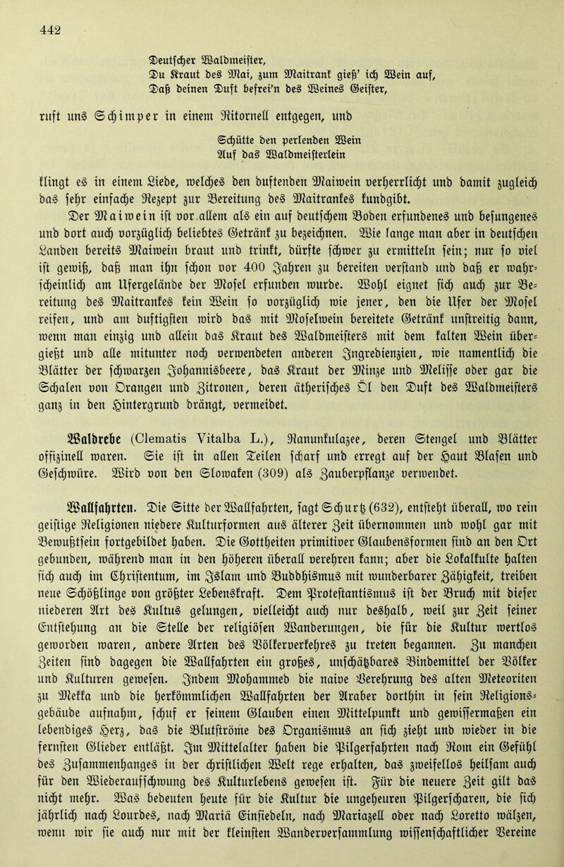 2)eutfd)er SBalbmeifter, Du Sraut be§ Mat, gunt Maitrant gief?’ id£) SBein auf, Dafj beinen Duft befret'n bei Söeinei ©eifter, ruft ung ©Wimper in einem üftitorneß entgegen, unb @d)ütte ben petleuben SBein Stuf ba§ SBalbmeifterlein flingt eg in einem Siebe, roelcfjeg ben buftenben Mairoein oerljerrlicht unb bamü gugleidh bag fef)r einfache S^egept gur Bereitung beg Maitranfeg funbgibt. Der Mairoein ift oor.aßem alg ein auf beutfcfjem 23oben erfunbeneg unb befungeneg unb bort auch oorgüglicf) beliebteg ©etränf gu begegnen. SGBie fange man aber in beutfcfjen Sattben bereits Mairoein braut unb trinft, bürfte föfjroer gu ermitteln fein; nur fo oiel ift geroifj, bafj man ifjn fcf)on oor 400 fahren gu bereiten oerftanb unb bafj er tr»at)r= fc^einlidE) am Ufergelänbe ber Mofet erfunben mürbe. SBolfl eignet fiel) audh gur 23e= reitung beg Maitranfeg fein SBein fo oorgüglicf) mie jener, ben bie Ufer ber Mofel reifen, unb am buftigften roirb bag mit Mofelroein bereitete ©etränf unftreitig bann, roenn man einzig unb allein bag Uraut beg SBalbmeifterg mit bem falten SBein über= gießt unb alle mitunter nodf) oerroenbeten anberen ^ngrebienjien, mie namentlich bie SBlätter ber fcfpoargen ^ohannigbeere, öag ^raut ber Minge unb Meliffe ober gar bie Skalen oon Drangen unb 3toonen, beren ätfjerifdheg Dl ben Duft beg SBalbmeifterg gang in ben Igintergrunb brängt, oermeibet. Salbrebe (Clematis Vitalba L.), fflanunfulagee, bereu ©tengel unb Blätter offigineß roaren. ©ie ift in aßen Deilen fcfarf unb erregt auf ber £aut S3lafen unb ©efchroüre. SBirb oon ben ©lomafen (309) alg 3auberpflange nermenbet. Saüfafjrtcn. Die ©Ute ber SBaßfabrten, fagt©df)urß(632), entftefjt überaß, roo rein geiftige Religionen niebere ^ulturformen aug älterer 3eit übernommen unb roof)l gar mit Semufjtfein fortgebilbet haben. Die ©ottheiten primitioer ©laubengformen finb an ben Drt gebunben, roährenb man in ben höheren überaß oerehren fann; aber bie Sofalfulte halten fid) auch im ©hnflentum, im 3glam unb 23ubbhi§mug mit rounberbarer 3ähigfeit, treiben neue ©chöjglinge oon größter Sebengfraft. Dem proteftantigmug ift ber S3rudh mit biefer nieberen 2lrt beg Jfultug gelungen, oielleicfjt auch nur beghalb, raeil gur 3ßit feiner ©ntftehung an bie ©teße ber retigiöfen SBanberungen, bie für bie Kultur roertlog gemorben roaren, anbere Slrten beg SSölferoerfefjreg gu treten begannen. 3U manchen 3eiten finb bagegen bie SBaßfahrten ein grofjeg, uttfdhäfebareg SSinbemittel ber 33ölfer unb Kulturen geroefen. 3ubem Mohammeb bie naioe Verehrung beg alten Meteoriten gu Meffa unb bie bekömmlichen SBaßfahrten ber 2lraber borthin in fein ßteligiong-- gebäube aufnahm, fd^nf er feinem ©lauben einen Mittelpunft unb geroiff ermaßen ein lebenbigeg <gerg, bag bie Slutftröme beg Drganigmug an fidh gieht unb roieber in bie fernften ©lieber entläßt. 3m Mittelalter haben bie Pilgerfahrten nach Rom ein ©efühl beg 3ufammenhangeg in ber chriftlicf)en Seit rege erhalten, bag groeifellog ^eilfarn auch für ben SBieberauffchroung beg ^ulturlebeng geroefen ift. $iir bie neuere 3eit gilt bag nicht mehr. SBag bebeuten heute für bie Kultur bie ungeheuren ptlgerfcharen, bie fidh jährlich nach Sourbeg, nadh Mariä ©infiebeln, nach Mariageß ober nach Soretto roälgen, roenn roir fie auch nur mit ber fleinften SBanberoerfantmlung roiffenfdhafttidher Vereine