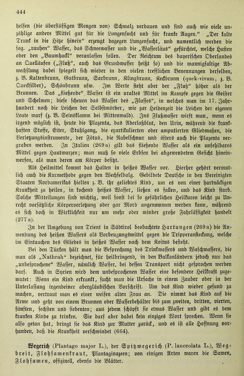 Reifen (bie überftüffigen Mengen oon) ©dhntalj oerbauen unb finb auch roie viele un= gärige anbere Mittel gut für bie Sungenfudht unb für franfe Slugen. „®er falte Srunf in bie £i£e hinein erzeugt bagegen Sungenfudht, unb namentlich roerben bie fog. „rauhen SBaffer, bag ©cbneeroaffer unb bie „SBafferläug gefürchtet, welche duften ober ben „Bauntfmdl oeranlaffen füllen. ®er Steichtum beg £>ai;erifd^en Dberlanbeg an DueHäufen („gluff, aud; bag ©runbroaffer froifet fo) unb bie mannigfaltige 216= mechflung bahei fpiegelt ftdj roieber in ben oielen trefflichen Benennungen berfelben, j. B. Kaltenbrunn, ©utbruun, ©arbrunn, lUiugbrunn, tecfbrunn (quek-vivum, j. B. Quedfilber), ©cfiönbrunn ufro. ^m SBerte fteljt aber ber „glufj höher als ber Brunnen. ®a§ „fliefeenbe. SBaffer ift ein uralleg 2)tittel im Kampfe gegeu bie ©eifter unb ©feinten; biefe fdfeuen bag SBaffer beS „gluffeg, in meldheg man im 17. Saf)r= hunbert nodh bie Seichen ber ©elbftmörber, mie jur §eiben$eit bie Seichen ber eigenen Seute roarf (j. B. ©eingftamm bei SJlittenroalb). ^ng $(ufsroaffer mirft man, rcenn eg irgenb möglidh ift, heute bie ^lajenta, bag Slberlafjblut, ben Urin, roährenb bie franf= haften ©toffe, ©iter, ©tuhlgang, bie epartifulierten ober amputierten ©liebmafeeit, bie Berle|ungginftrumente, ber götug, bie Babelfdhnur unb öfterg auch bie ^lajenta oer= graben merben. Sn Italien (269 a) gilt bag fliejsenbe SBaffer alg ein unfehlbareg drittel gegen ^autroargen; man mufft fo niete ©rbfen bei abgeroenbetem ©efidht hinein^ roerfen, alg man beren am Körper befi&t. 2llg Heilmittel fommt bag Ha^en in heifeeg SBaffer oor. Hierher gehört oermuU lief) aud) bie üurmetfiobe gegen ben SBedjfelbalg. ©ebilöete ®eutfche in ben Bereinigten Staaten Borbamerifag halten j. B. ihr geliebteg £inb, um eg non einer hartnädigen üranfljeit ju heüen, in fochenb l)e^e^ SBaffer, liefen eg fallen, unb bag $inb ftarb. Solche SDUtteilungen finb wichtig, meil fonft bei fo gefährlichen Heilfuren leicht ju Un= redht norfä^tidje ^örperoerlefmng ober gar Btorb angenommen roerben fann, roäl;renb eg fid) hoch in SBirflidffeit nur um mehr ober minber grofte galjrläffigfeit fmnbelt (277 a). ^n ber Umgebung non Orient in ©übtirot beobachtete Hartungen (269a) bie 2tn= roenbung beg h^ifeen SBafferg alg Borbeugunggmittel gegen bie Sripperanftedung, welche im ©intauchen beg ©liebeg in Ijeifteg SBaffer nach bem $oitug befteht. Bei ben dürfen hält man bie Befprecfjung beg Srinfroafferg unb SBafd^roafferg, bie man alg „Nathrah“ bezeichnet, für £;eilbringenb, in ben Balfanlänbern jebodh nur bag „unbefprodhene SBaffer, nämlich SBaffer, bei beffen Srangport nicht gefprodhen roerben barf. Sludh in ©tjrien roirb bem unbefproefjenen SBaffer eine befonbere ^exIEraft juge= mutet: SBenn ein $inb erfranft, fucht man bie Urfaclje in einem Sauber ober in ber Unterlaffung irgenbeiner abergtäubifdjen Borfchrift. Um bag JUitb roieber gefunb ju machen, oertraut man eg einer roeifen alten $rau an- Nimmt bag ^inb auf bie Slrme unb geht oon einem Brunnen ober SBafferbehälter big jum groeiten, britten, oierten, fünften, fechften unb fiebenten; aug jebem fcf)öpft fie etroag SBaffer unb gibt eg bem franfen JUnbe ju trinfen. Sie barf aber babei fein eingigeg SBort fpred^en. SBenn fie alfo getan hat, bringt fie bag Jlinb gttr Blutter jurüd, unb eg ift ade Hoffnung oor= hanben, baff bie ^ranffjeit oerfchroinbet (664). SBegcrid) (Piantago major L.), ber ©piftroegerid) (P. lanceolata L.), 3Beg = breit, glohfamenfraut, ^lantaginajeen; oon einigen Slrten roaren bie ©amen, glohfamen, offijineU, ebenfo bie Blätter.