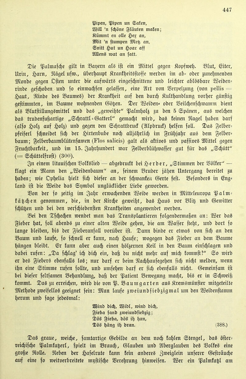 $tpen, tptpen utt @afen, 2öid 'n fdjöne gläuten mafen; &ümmt en ode f>ej an. Mit 'n ftumpen Met) an, ©nitt §ut un §oar aff 2lQen§ wat an fatt. Sie fjklmafdje gilt in Satjern als ift ein Mittel gegen ^opfroef). Slut, @iter, Urin, igarn, Stägel ufw., überhaupt $ranf£)eitSftoffe werben im ab* ober junefjmenben Mottbe gegen Offen unter bie aufwärts eingefdjnittene unb leidjter ablösbare SBeiben* rinbe gefdjoben unb fo einwacbfett gelaffen, eine 2trt non SSerpel§intg (non pellis = <gaut, Siiitbe beS SaurneS) ber $ranfl;eit auf ben burdf) 5Mtf)anblung oorl;er günftig geftimmten, im Saume wofinenben ©öfcen. 2)er SBeiben* ober Seild)enfcf)wamm bient als StutftidungSmittel unb baS „gemeinte fßalm^ols 51t ben 5 (Spänen, aus melden baS trubenfujjartige „Sd)rattl = ©attert gemalt roirb, baS feinen klaget Ijaben barf (alfo <qoIj auf <golz) unb gegen Den Scfirattbrud (Sllpbrud) fjelfen fod. ®aS gelber* pfeiferl fdjneibet fid) ber §irtenbube noch adjäf)rlid) im grül)jaf)r aus bent gelber* bäum; gelberbaumbtütenfamen (Flos salicis) galt als aftineS unb paffineS Mittel gegen grud;tbarfeit, unb im 15. gafjrljunbert mar gelberblütjwaffer gut für baS „Schütt (= Scfjüttelfroft) (300). gn einem litauifd;en SolfStieb — abgebrudt bei Berber, „Stimmen ber Golfer'' — flagt ein Mann ben „SBeibenbautn an, feinem Sruber jäljen Untergang bereitet ju Ijaben; n)ie Ophelia Ijielt fid) biefer an ber fdjwanfeu ©erte feft. SefonberS in @ng= lanb ift bie SBeibe baS Symbol unglüdlidjer Siebe geworben. Son ber fo geitig im gafjr erwad;enben SBeibe werben in Mitteleuropa tpalrn* fäydjen genommen, bie, in ber Jfirdje geweiljt, baS igauS oor Slit; unb ©ewitter fdjüyett unb bei ben oerfdjiebenften Jfranfljeiten angewenbet werben. 93ei ben £fcf)ecf)en wenbet man baS transplantieren folgenbertnafien an: SBer baS gieber t>at, fod abenbS ju einer alten SBeibe gefjen, bie am SBaffer ftef;t, unb bort fo lange bleiben, bis ber gieberanfad oorüber ift. ®ann binbe er etwas oon fid) an ben Saum unb laufe, fo fdjned er fann, nad; igaufe; wogegen baS gieber au beut Saume Rängen bleibt. @r fann aber and) einen hölzernen Heil in ben Saum einfdjlagen unb babei rufen: „®a fd)lag’ id) bic^ ein, baf) bu nid)t mehr auf mich fommft! So wirb er beS gieberS ebenfadS loS; nur barf er beim 9tad)^aufegel;en fid; nicfjt melben, wenn ibn eine Stimme rufen fodte, unb umfefjen barf er fid) ebenfadS nid)t. ©emeinfain ift bei biefer feltfamen Sefjanblung, baff ber Patient Seweguitg mad;t, bis er in Schweif) fommt. SDaS 51t erreichen, wirb bie oon 5p. Saum garten aus SfremSmünfter mitgeteilte Metfjobe zweifellos geeignet fein: Man laufe gweinnbfiebgigmal um ben SBeibenftamm herum unb fage jebeSmal: SBinb bicE), 2Sibt, roinb bid), gieba fanb jweiunbfiebjig; $ö§ gieba, bö§ it) tjan, 2)ö§ t)äng it) bran. (888.) £>aS graue, weiche, famtartige ©ebilbe au bent noch fafjlen Stengel, baS öfter* reidjifdje ipalmfatserl, fpielt im Sraud;, ©tauben unb Slbergtauben beS SolfeS eine groffe 9fode. Stehen ber §afetrute fann fein anbereS 3rDeiö^ein unferer ©efträuche auf eine fo weitoerbreitete myftifdje Sere^rung l;inweifen. SBer ein 5palmfa|l am