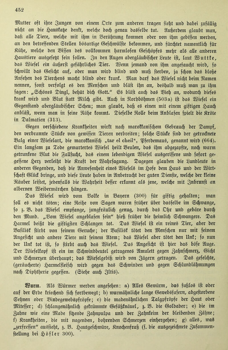 Butter oft ihre jungen oon einem Orte gunt anberen tragen fiet)t unb habet gufäHig nicht an bie <QauSfa§e benl't, welche bodl) genau baSfelbe tut. Slufjerbem glaubt man, baft aEe Stere, welche mit itjm in Serührung fontmen ober oon i£)tn gebiffen werben, an ben betreffenben ©teilen bösartige ©efdjwülfte befontmen, unb fürchtet namentlich für $üf)e, roeldje ben S3iffen beS ooEfommen t)armtofen ©efdjöpfeS mehr als aEe anberen Haustiere anSgefe|t fein foEen. $n ben Slugen abergläubifdher Seute ift, taut Söuttfe, baS Söiefel ein äufjerft gefährliches Sier. Söemt jemanb oon ihm angefaucf)t toirb, fo fdfjwiEt baS ©efidht auf, ober man roirb btinb unb nutf) fterben, ja fd)on baS blofse 2tnfe£)en beS SierdjenS madht btinb ober franf. Stau barf baS Söiefel nicht beim Samen nennen, fonft oerfotgt eS ben Stenfchen unb btäft ihn an, beSEjatb muff man ju if)tn fagen: „©dhöneS Singt, betjüt bicb ©ott. @S bläft and) baS Sieh an, woburd) biefeS tranf toirb unb Slut ftatt Stildh gibt. 2Iud) in Sorbböhmen (503 a) ift baS SBiefet ein ©egenftanb abergläubiger ©d)eu; man glaubt, bafj eS einen mit einem giftigen igaud) anbtäft, wenn man in feine 9tä£)e fomrnt. Siefelbe SoEe beim Stnbtafen fpielt bie Äröte in Salmatien (313). ©egen oerfdhiebene iRranfheiten rairtt nach maroffanifchem ©ebraucl) ber Sampf, ben oerbrannte ©tiide oon getoiffen Sieren oerbreiten; folche ©tüde finb ber getrodnete 23atg einer Söiefelart, bie maroffanifcf) „tar el cheil“, ißferbemauS, genannt rairb (664). (Sin tangfam ju Sobe gemartertes Söiefel heilt Leuten, baS ihm abgejapfte, noch warm getrunfene 33tut bie ^aEfucht, baS einem lebenbigen Söiefel auSgeriffene unb fofort ge= geffene ^erj oerteitjt bie $raft ber Söahrfagung. Sagegen glauben bie Sanbleute in anberen ©egenben, bafj bie Stnrnefentjeit eines SöiefelS im igofe bem £>auS unb ber Söirt* fdfjaft ©tiid bringe, unb biefe Seute haben in Anbetracht ber guten Sienfte, welche ber Heine Stäuber leiftet, jebenfaES bie Söafyrtjeit beffer erlannt atS jene, welche mit ^nbrunft an albernen Söeibermärchen fjängen. SaS Söiefel roirb oom Sötte in Sapern (300) für giftig gehalten; man foE eS nic^t töten; eine Steifje oon ©agen waren früher über baSfetbe im ©Zwange, fo j. S. baS Söiefel empfange, jungfräulich genug, burd) baS Ot)r unb gebäre burch ben Stunb. „Sont Söiefel angebtafen fein £)tefe früher bie heimlich ©dhwangere. SaS farmet beifjt bie giftigften ©chlangeit tot. SaS Söiefel ift ein reines Sier, aber ber Safilisf ftirbt oon feinem ©erudje; ber Safilisf tötet ben Stenfchen nur mit feinem Angefidfjt unb anbere Siere mit feinem Atem; baS Söiefel aber tötet ben Unt; fo nun ber Unt tot ift, fo ftirbt audh baS Söiefel. SaS Angefidht ift hier baS böfe Auge. Ser Söiefelfopf ift ein im ©chwinbbeutel getragenes Slmulett gegen 3ahtifc^mers, ©ich* unb ©dhrnerjen überhaupt; baS Söiefelgebifj wirb oon Jägern getragen. SaS gefelchte, (geräucherte) Igarmelfleifcf) wirb gegen baS ©dhwinben unb gegen ©chlunblähmungen nadh Siphtherie gegeffen. (©iehe audh $ltiS). Sßurnt. StlS Söürmer werben angefehen: a) StEeS ©ewürm, baS fufjloS ift ober auf ber Gsrbe friedfjenb fidh fortbewegt; b) wurmähnlidhe lange ©ewebSfafern, abgeftorbene ©ebnen ober SinbegewebSpfröpfe; c) bie mabenähnlichen Salgpfröpfe ber igaut ober Stiteffer; d) fd)langenähnlidh gelrümmte ©efäjjfnäuel, 5. S. bie ©olbaber; e) bie im 3abne wie eine Stabe fijjenbe 3a^nPutPa unb ber 3a^eüu ^er fdeibenben 3ütjne; f) £ranf£)eiten, bie mit nagenben, bohrenben ©dhmerjen einhergehen; g) aEeS, waS „jerfreffert auSfieht, 5. S. igautgefdhwüre, ^nochenfrafj (f. bie ausgezeichnete 3ufamoten= fteEung bei igöfler 300).