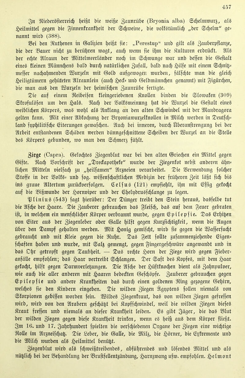 Sn ÜRieberöfterreicfj Reifet bte roeiffe Saunrübe (Bryonia alba) ©djelmrourä, als Heilmittel gegen bie Sinnenfranfheit ber ©djroeine, bie oolfstümlid) „ber ©djelm ge= nannt roirb (388). 33ei beu [Ruthenen in ©alijien Ijeijjt [ie: „Perestup“ unb gilt als Sauberpflanje, bie ber [Bauer nid)t ju berühren roagt, auch roemt [ie ihm bie Kulturen erbrüdt. 2llS ber edjte Sllraun ber SDZittelmeerlänber noch im ©djrounge mar unb beffen bie ©eftalt eines fleinen SRänndjenS halb burd) natürlichen Snfad, halb nach Hilfe mit einem ©dmifj* meffer uadjahmenben SBurjeln mit ©olb aufgeroogei: mürben, fälfdjte man bie gleid; Heiligtümern gehüteten Stlraunlein (auch Hed= unb ©elbmänndhen genannt) mit Sigürdjen, bie man aus ben SBurgelit ber heimifdjen Saunrübe fertigte. Sie auf einem [Reibeifett fleingeriebenen Anoden bittben bie ©loroafen (309) ©frofulöfeit um ben Halä. [Rad) ber 33olfSmeinung hat bie dBurjet bie ©eftalt eines raeiblichen Körpers, roaS roof)l als Strdlang an ben alten ©dhroinbel mit ber 9Ranbragora gelten fann. 9Rit einer 2lbfod)ung ber 23rponiarourgelfnoßen in SRilch roerben in Seutfcfp lanb fpphilitifdhe (Siterungen geroafdjen. 2lud; bei inneren, burd) llberanftrengung bei ber älrbeit entftanbenen ©chäben merben bünngefdhnittene ©cffetben ber SBurjel an bie ©tede beS Körpers gebunben, mo man ben ©chmerj fühlt. Biege (Capra). ©efod)teS Siegenblut war bei ben alten ©riechen ein 9Rittel gegen ©ifte. [Rach [ßorfdirift ber „Sredapothefe mürbe ber 3tegenfot nebft anberen äl)n= liehen SRittetn oielfacf) ju „heilfamen Strgneien oerarbeitet. Sie SBerroeitbung folcher ©toffe in ber 23olfS= unb fog. roiffenfchaftlichen fDiebi^in ber früheren 3eit läfst ft cf) bis ins graue Slltertum jurüdoerfolgen. (SelfuS (121) empfiehlt, ihn mit (Sffig gefodft auf bie SBijjrounbe ber Hornoiper unb ber (SheltjbruSfdilange gu legen. ^liniuS (543) fagt hierüber: Ser Sünger treibt ben ©teilt heraus, baSfelbe tut bie 2tfd)e ber Haare. Sie 3auberer gebrauchen baS Sleifdj, baS auf beut $euer gebraten ift, in melchem ein menfcf)lid)er Körper oerbrannt mürbe, gegen (Spilepfie. SaS (Srhifcen oon (Süer aus ber 3iegenleber ober ©ade hilft gegen Turjftdjtigfeit, menn bie Singen über ben Sarnpf gehalten merben. 3Rit Honig gemifdjt, roirb fie gegen bie döafferfucfjt gebraucht unb mit Meie gegen bie [Ruhr. SaS gett füllte jufammenjiehenbe (Sigen= fchaften haben unb mürbe, mit ©alj gemengt, gegen Singergefd)toüre angeraanbt unb in baS Dhr getropft gegen Saubheit. — SaS rechte Horn ber 3iege wirb gegen gieber= anfäde empfohlen; baS Haar oertreibt ©djlangen. Ser ©aft beS Topfes, mit bent Haar gefönt, hilft gegen Sarmoerle|ungen. Sie 2Ifdje ber Hnftfnochen bient als 3ahnpuloer, roie auch bie ader anberen mit Haaren bebedten ©efdiöpfe. 3auberer gebrauchen gegen (Spilepfie unb anbere Trautheiten baS burd) einen golbenen [Ring gezogene ©ehirn, roelcheS fie ben Tinbern eingeben. Sie milben 3iegen SlgpptenS joden niemals oon ©forpionen gebiffen raorben fein. 2BilbeS Siegenfraut, baS oon milben 3ie9eu gefreffen roirb, roirb oon ben Arabern geflöht bei Topffdhroinbel, roeil bie milben 3ie9en biefeS Traut freffen unb niemals an biefer Tranfljeit leiben. (SS gibt Säger, bie baS 23lut ber milben Siegen gegen biefe Tranfheit trinfen, menn eS heifj auS bem Törper fliegt. Sm 16. unb 17. Sahrhunbert fpielten bie oerf^iebenen Organe ber Siegen eine roidhtige [Rode im Slrjneifdjag. Sie Seber, bie ©ade, bie SRilj, bie Hörner, bie (Spfremente unb bie 9Rilch mürben als Heilmittel benüfct. Siegenblut roirb als fdhroeijstreibenbeS, abführenbeS unb löfenbeS SRittel unb als nü|tidh bei ber SSehanbluitg ber 23ruftfedentjünbung, Harnsmang ltfm. empfohlen. Helmont