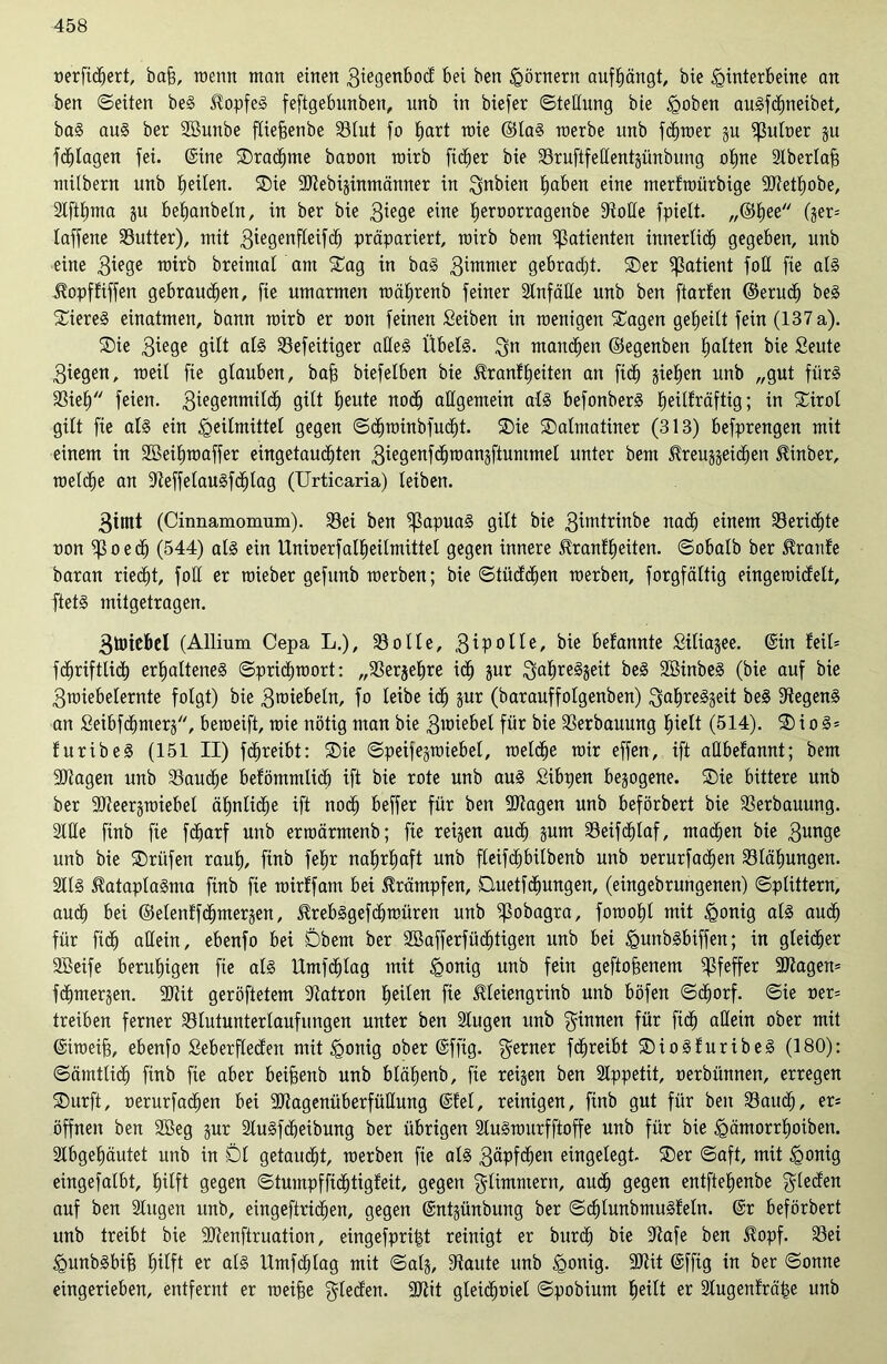 verfidhert, bafs, trenn matt einen 3iegenbod f>ei ben Körnern auf^ängt, bie Hinterbeine an ben ©eiten beS Kopfes feftgebunben, unb in biefer ©teHung bie Hoben auSfchneibet, baS auS ber Sßunbe fliefsenbe Stut fo ^art mie ©las merbe unb ferner gu ißuloer ju fragen fei. (Sine Drachme banon wirb fidler bie Sruftfettentgünbung ohne Sberlafs tnübern unb feiten. Die Stebiginmänner in gnbien tjaben eine merkwürbige Stethobe, Stfthma ju betjanbetn, in ber bie 3iege eine heroorragenbe Solle fpielt. „®hee (ger= laffene Sutter), mit 3iegenfleifch präpariert, rnirb bem Patienten innerlich gegeben, unb eine 3iege rnirb breimal am Dag in baS 3immer gebracht. Der Patient fott fie als .Kopfkiffen gebrauten, fie umarmen mäljrenb feiner Unfälle unb ben ftarfen ©erudh beS Bieres einatmen, bann rnirb er non feinen Seiben in roenigett Dagen geheilt fein (137 a). Die 3*ege gilt als Sefeitiger alles Übels. gn manchen ©egenben (mlten bie Seute 3iegen, meil fie glauben, bafj biefelben bie Krankheiten an fich sieben unb „gut fürs ^öieü'' feien. 3iegenmildh gilt heute noch allgemein als befonberS heilkräftig; in Dirol gilt fie als ein Heilmittel gegen ©dhwinbfudht. Die Dalmatiner (313) befprengen mit einem in Sßeihwaffer eingetauchten giegenfchmanjftuntmel unter bem Kreuggeicljen Kinber, welche an SeffelauSfdf)lag (Urticaria) leiben. 3imt (Cinnamomum). Sei ben IßapuaS gilt bie 3imtrinbe nach einem Sericf)te non 0 e <h (544) als ein Unioerfatheilmütel gegen innere Krankheiten, ©obalb ber Kranke baran riecht, foll er raieber gefunb werben; bie ©tüdcfjen werben, forgfältig eingewickelt, ftetS mitgetragen. 3tticbel (Allium Cepa L.), Solle, gipotle, bie bekannte Siliagee. (Sin keil* fdfjriftlidh erhaltenes Sprichwort: „Sergehre ich gur gahreSgeit beS SßinbeS (bie auf bie 3wiebelernte folgt) bie gmiebeln, fo leibe idh gur (barauffolgenben) gahreSgeit beS Segens an Seibfchmerg, beweift, wie nötig man bie gmiebel für bie Serbauung hielt (514). D i 0 S* kuribeS (151 II) fchreibt: Die ©peifegwiebel, welche wir effen, ift allbekannt; bem Stagen unb Saudje bekömmlich ift bie rote unb aus Sibpen bezogene. Die bittere unb ber Steergwiebel ähnliche ift noch beffer für ben Stagen unb beförbert bie Serbauung. 2lHe finb fie fdjarf unb erwärmenb; fie reifen auch pm Seifdhlaf, machen bie 3un9e unb bie Driifen rauh, finb fehr nahrhaft unb fteifdjbilbenb unb oerurfachen Slähungen. 2tlS KataplaStna finb fie wirkfam bei Krämpfen, Duetfchungen, (eingebrungenen) ©plittern, auch bei ©elenkfchmergen, KrebSgefdfwüren unb ^3obagra, fowohl mit H°uig als auch für fich allein, ebenfo bei Dbem ber SBafferfüdfjtigen unb bei Huubsbiffen; in gleicher SBeife beruhigen fie als Umfchlag mit H°uig unb fein geflogenem Pfeffer Stagen* fchmergen. Stit geröftetem Satron heilen fie Kleiengrinb unb böfen ©chorf. ©te ver* treiben ferner Slutunterlaufungen unter ben Stugen unb ginnen für fich allein ober mit (Siweifj, ebenfo Seberfleden mit Honig ober (Sffig. gerner fchreibt DioSkuribeS (180): ©ämtlich finb fie aber beifjenb unb blähenb, fie reifen ben Appetit, oerbitnnen, erregen Dürft, »erurfadhen bei Stagenüberfüllung (Skel, reinigen, finb gut für ben Saud;, er* öffnen ben 2ßeg gur SluSfdfeibung ber übrigen StuSwnrfftoffe unb für bie Hämorrhoiben. 2tbgel)äutet unb in Dl getaucht, werben fie als gäpfdfen eingelegt. Der ©aft, mit Honig eingefalbt, hilft gegen ©tumpffichtigkeit, gegen glimmern, auch gegen entftehenbe gleden auf ben Singen unb, eingeftridjen, gegen (Sntgünbung ber ©chlunbmuSkeln. (Sr beförbert unb treibt bie Stenftruation, eingefpri^t reinigt er burdh bie Safe ben Kopf. Sei HunbSbif) hilft er als Umfchlag mit ©als. Saute unb Honig. Stit (Sffig in bet ©onne eingerieben, entfernt er weifje gleden. Stit gleichviel ©pobium heilt er Sugenträhe unb