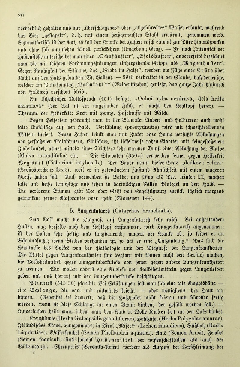 üerbcrbtid^ gehalten unb nur ,,überf(^fa9enel' ober „abgefd^recfteS SBaffer erloubt, loä^renb bo0 33ier „geftapelt, b. b- tuit einem beifeflemacbten ©tabl erroärmt, genommen rairb. Si)mpatbetifdb ift ber 9fJat, e§ foö ber ^ranfe bei duften rafdb einmal jur 2:üre binaugfpuden unb ohne ficb umjufeben fd^nell äurücffebren (Umgebung ©rag). — ^e na(ib ^^tenfität ber ^uftenftö^e unterfd^eibet man einen ,,®cbafbuften, „©felSbufien, anbererfeitg bejeid^net man bie mit leidsten 33erbauung§ftörungen einbergebenbe ©rippe al§ „SJiagenbuften. ©egen Staubigfeit ber ©timme, ba§ „©robe im §alfe, raerben bie g^übe einer ^röte über Siadbt auf ben ^al§ gebunben (St. ©allen). — SBeil oerbreitet ift ber ©taube, ba§ berjenige, metdber am ^atmfonntag „^atnifalTn (2Beibentä^dben) geniest, ba§ ganje Qabr binburdb üon ^atlroeb oerfcbont bleibt. @in tfcbedbifdber 33oU§fprudb (451) befagt: „Ouhoi- ryba nezdravä, delä hrdla clii-aplavä“ (ber Stal ift ein ungefunber gifcb, er madbt ben 5leblfopf b^ifer). — ^^berapie ber §eiferteit: itren mit §onig, ^Qafetnüffe mit aJtitdb. ©egen ^eiferfeit gebraudbt man in ber ©toroafei Sinben= unb ^otbertee; audb loobt falte Umfdbtäge auf ben §al§. S3erfübtung (prestydnutie) toirb mit fdbroeibtreibenben SJtittetn furiert. ©egen ^uften trinft man mit 3udfer ober ^onig oerfüfete Stbfodbungen oon jerftojsenen 33tai§förnern, ©ibifdbtee, i^t töffetroeife roben ©ibotter mit feingeftobenem 3udferfanbet, atmet mittell eine§ 5Tridbter§ febr roarmen ®unft einer Stbfodbung ber SJtatoe (Malva rotundifolia) ein. — ®ie ©toroafen (350 a) oerroenben ferner gegen ^eiferfeit SBegroart (Cichorium intybus L.). S)er 33auer nennt biefe§ ©ra§ „dedkova zelina“ (©roboäterdbenS ©ra§), raeit e§ in getrodfnetem 3uftanb Itbnlidbfeit mit einem mageren ©reife hoben folt. Sludb oerroenben fie ©atbei unb ^fop at§ Xee, trinfen Dl, machen falte unb beibe Umfdblöge unb fe^en in bo^tnacfigen gdEen S3lutegel an ben ^al§. — S)ie oerlorene ©timme gibt S^ee ober ©eift oon ©ngetfübrourj jurüdf, täglicb morgend getrunfen; ferner SOtajorantee ober «geift (©loroenen 144). 5. SuUflCnfOtarrb (Catarrhus broncbialis). ®a§ S3olf madbt bie Diagnofe auf Sungenfatarrb febr rafdb. S3ei anbaltenbem duften, mag berfelbe audb bem ^eblfopf entflammen, roirb Sungenfatarrb angenommen; ift ber <Quften febr b^ftig unb langbauernb, magert ber ^ranfe ab, fo leibet er an ©(^roinbfucbt; roenn ©tedben oorbanben ift, fo bot er eine „©ntjünbung. ®a§ finb bie ^enntniffe be§ 33olfe» oon ber Pathologie unb ber Diagnofe ber Sungenfranfbeiten. Die SRittet gegen Sungenfranfbeiten finb Segion; roir fönnen nidbt ben SSerfudb madben, bie SSottSb^tfioittet gegen Sungentuberfulofe oon jenen gegen anbere Sungenfranfbeiten ju trennen. SBir rootlen oorerft eine 3lu§lefe oon S^olf§beitmitteln gegen Sungenleiben geben unb un§ bt^^ouf mit ber Sungentuberfulofe befdbäftigen. piiniug (543 30) fdbreibt: S3ei ©rfältungen fott man ficb eine tote Slmpbi^bäna — eine ©dblauge, bie oor= unb rüdioärtS friecbt — ober roenigftenS ihre ^aut an- binben. (Slebenbei fei bemerft, ba§ bie ^oljboder nidbt frieren unb fdbneller fertig roerben, roenn fie biefe ©cblange an einen S3aum binben, ber gefällt roerben foK.) — ^inberbuften heilt man, inbem man bem £inb in SBoHe Stabenfot an ben §al§ binbet. Hreujblume (Herba G-aleopsidis grandiflorae), §obljabn (Herba Polygalae amarae), 3§lönbifdbe§ SRooS, Sungenmoog, in Sirol „SRifere (Lieben islandicus), ©übbolä (Radix Liquiritiae), SBafferfendbel (Semen Pbellandrii aquatici), 3lni§ (Semen Anisi), ^endbel (Semen foeniculi) finb -foroobl-^uftenmittel ber roiffenfdbaftlidben al§ au(^ bet SSolfömebijin. @b>^enprei§. (S3eronifa= Sitten) roerben: al§ Slufgu^ bei Perfdbleimung ber