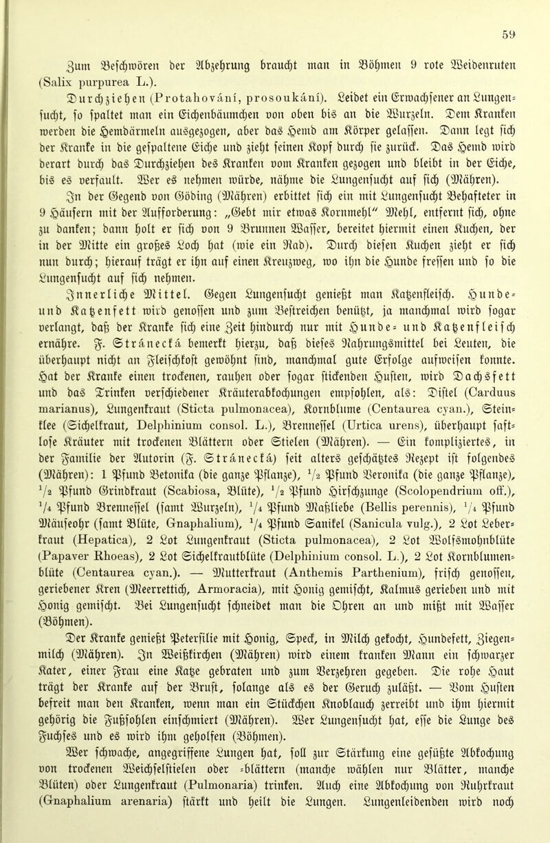 3um 33eic^n)ören ber 2tbje^rung braucht man in Söl;men 9 rote aBeibenruten (Salix purpurea L.). ®urd)3iel)eu (Protahovani, prosoukäni), Seibet ein ©rroacbfener an Sungen= fud;t, fo fpaltet man ein ©ic^enbänmdjen non oben bi§ an bie aöiir^eln. 2)em 5lranfen roerben bie ^embörmeln auggejogen, aber bag §emb am Körper gelaffen. ®ann legt fic^ ber S^ranfe in bie gefpaltene ©id;e unb jiet)t feinen ^opf burc^ fie äiirücf. ®ag §emb roirb berart burc^ bag ®nrd()jiet;en beg Uranien nom Traufen gejogen unb bleibt in ber ©ic^e, big eg oerfault. 2Ber eg nel)men mürbe, näl)me bie Sungenfud^t auf fic^ ('älM^ren). 3n ber ©egenb non ©öbing (iDiäl)ren) erbittet fid^ ein mit gungenfnd^t Sel^afteter in 9 Raufern mit ber 2lufforberung: „®ebt mir etraag ^ornmel)l a)iel)l, entfernt fic^, ol)ne ju banfen; bann liolt er fid^ oon 9 a3runnen SBaffer, bereitet l)iermit einen 5ludjen, ber in ber Sliitte ein gro§eg £oc^ l)at (mie ein 9Jab). ®nrd; biefen 5luc^en gieljt er fic^ nun burd^; l)ierauf trägt er il)n auf einen ^reujroeg, rao il)n bie §unbe freffen unb fo bie Bnngenfud^t auf fid^ nelimen. ^nnerlid^e aiHttel. ©egen Sungenfud^t geniest man ^a^enfleifd^. ^nnbe-- unb i^a^enfett roirb genoffen unb jum aieftreic^en benü^t, ja manclimat roirb fogar oerlangt, bafe ber Traufe fid^ eine 3eit ^inburd^ nur mit ^uube= unb ^a^enfleifd) ernäl^re. %. ©tränecfa benierft l)ierju, ba^ biefeg 9tal;runggmittel bei Beuten, bie überhaupt nid^t an gleifd^foft geroöl;nt finb, mand^mal gute ©rfolge aufrocifen fonute. §at ber i^ranfe einen trodfenen, raul)en ober fogor ftideuben duften, roirb Sac^gfett unb bag Xrinfen oerfd;iebener .^räuterabfodjungen empfol;len, alg: ®iftel (Carduus marianus), Bungenfraut (Sticta pulmonacea), Kornblume (Centaurea cyan.), ©tein= flee (©iclielfraut, Delpliinium consol. L.), airenneffel (Urtica urens), überljaupt faft= lofe 5^räuter mit trodenen iBlättern ober Stielen (9Jiäl)ren). — ©in fompligierteg, in ber 3^amilie ber 2lutorin (f^. ©tränecfä) feit alterg gefd;ä^teg Siejept ift folgenbeg (a)tät)ren): 1 ifßfunb iBetonifa (bie ganje i|]flanje), V2 ipfunb ißeronila (bie ganje iflflanje), V2 ipfunb ©rinbfraut (Scabiosa, iölüte), V2 ^funb ^irfd^junge (Scolopendrium off.), V4 ipfunb airenneffel (famt aßnrjeln), ipfunb aiiaf3liebe (Bellis perennis), ^/i ipfunb aitaufeol)r (famt 33lüte, Gnaphalium), 7^ ipfunb ©anifel (Sanicula vulg.), 2 Bot Beber* fraut (Hepatica), 2 Bot Buugenfraut (Sticta pulmonacea), 2 Bot 3Bolfgmol)nblüte (Papaver Ehoeas), 2 Bot ©id^elfrautblüte (Delphinium consol. L.), 2 Bot Jlorublunien' blüte (Centaurea cyan.). — 9)iutterfraut (Anthemis Parthenium), frifd) genoffen, geriebener £ren (iDleerrettid^, Armoracia), mit ^ouig gemifdfit, 5lalmug gerieben unb mit Rollig gemifi^t. 33ei Bungenfud^t fcl)neibet man bie Ol)ren an unb mifet mit äßaffer ('.Böhmen). SDer Traufe geniest ifleterfilie mit igonig, ©pecf, in 9Uild^ gefodl)t, .^unbefett, mild^ (iOMliren). 3^ SBei^fird^en (9Jiäl)ren) roirb einem franfen aitaun ein fdpoarjer ^ater, einer gi^au eine 5la^e gebraten unb gum ißerje^ren gegeben. ®ie rol;e §aut trägt ber ^ranfe auf ber 33ruft, folange alg eg ber ©erud^ äuläfet. — Slom duften befreit man ben franfen, roenn man ein ©tüdc^en i^noblaud^ jerreibt unb il^m Ipermit gehörig bie gufefol)ten einfc^miert (9Jiäl)ren). 2Ber Bungenfud^t ^)at, effe bie Bunge beg ^uc^feg unb eg roirb i^m gel;olfen (33öl)men). 3Ber fd^road^e, angegriffene Bungen l)at, fott jur ©tärfung eine gefügte Slbfoc^ung oon trodenen Söeid^felftielen ober ^blättern (mand)e roäl)len nur iBlätter, mand^e iBlüten) ober Bungenfraut (Pulmonaria) trinfen. 2lud^ eine älblod^ung oon 9iul)rlraut (Gnaphalium arenaria) ftärft unb ^eilt bie Bungen. Bungenleibenben roirb nod^