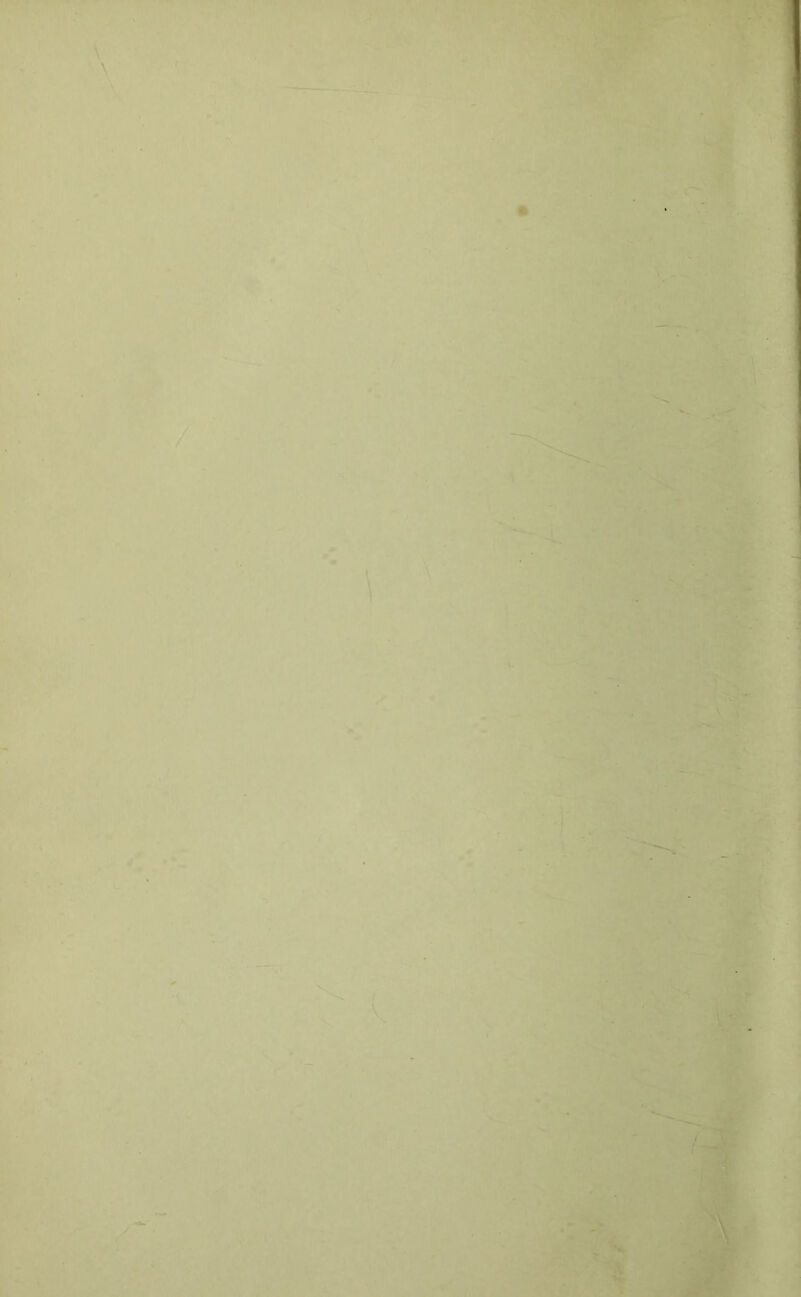 \ ' \ s. •i- / k..T W- .V *:.•< V t /' ) ‘v.-: V, ^1 > 1 j