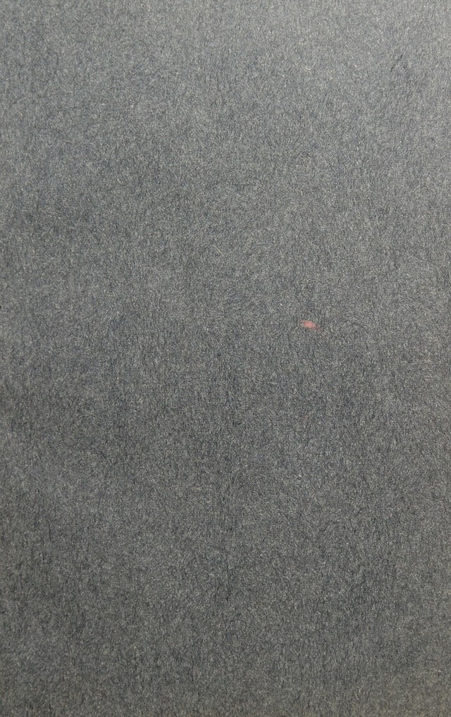 digitised image 3