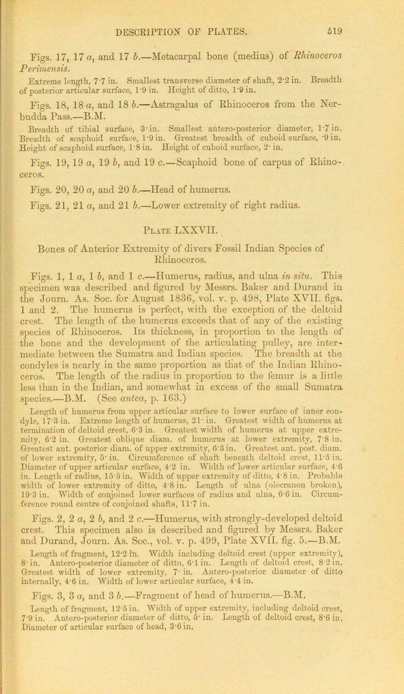 Figs. 17, 17 a, and 17 b.—Metacarpal bone (medius) of Rhinoceros Perimensis. Extreme length, 77 in. Smallest transvorse diameter of shaft, 2'2 in. Breadth of posterior articular surface, 1-9 in. Height of ditto, T9 in. Figs. 18, 18 a, and 18 b.—Astragalus of Rhinoceros from the Ner- budda Pass.—B.M. Breadth of tibial surface, 3-in. Smallest antero-posterior diameter, 17 in. Breadth of scaphoid surface, 1-9 in. Greatest breadth of cuboid surface, -9 in. Height of scaphoid surface, 1'8 in. Height of cuboid surface, 2- in. Figs. 19, 19 a, 19 b, and 19 c.—Scaphoid bone of carpus of Rhino- ceros. Figs. 20, 20 a, and 20 b.—Head of humerus. Figs. 21, 21 a, and 21 b.—Lower extremity of right radius. Plate LXXVII. Bones of Anterior Extremity of divers Fossil Indian Species of Rhinoceros. Figs. 1, 1 a, 1 by and 1 c.—Humerus, radius, and ulna in situ. This specimen was described and figured by Messrs. Baker and Durand in the Journ. As. Soc. for August 1886, vol. v. p. 498, Plate XVII. figs. 1 and 2. The humerus is perfect, with the exception of the deltoid crest. The length of the humerus exceeds that of any of the existing species of Rhinoceros. Its thickness, in proportion to the length of the bone and the development of the articulating pulley, are inter- mediate between the Sumatra and Indian species. The breadth at the condyles is nearly in the same proportion as that of the Indian Rhino- ceros. The length of the radius in proportion to the femur is a little less than in the Indian, and somewhat in excess of the small Sumatra species.—B.M. (See antea, p. 163.) Length of humerus from upper articular surface to lower surface of inner con- dyle, 17'3 in. Extreme length of humerus, 21' in. Greatest width of humerus at termination of deltoid crest, 6‘3 in. Greatest width of humerus at upper extre- mity, 6'2 in. Greatest oblique diam. of humerus at lower extremity, 7'8 in. Greatest ant. posterior diam. of upper extremity, 6'3in. Greatest ant. post. diam. of lower oxtremity, 5' in. Circumference of shaft beneath deltoid crest, 11 • 5 in. Diameter of upper articular surface, 4'2 in. Width of lower articular surface, 16 in. Length of radius, 16*5 in. Width of upper oxtremity of ditto, 4-8 in. Probablo width of lower extremity of ditto, 4'8 in. Length of ulna (olecranon broken), 19 3 in. Width of conjoined lower surfaces of radius and ulna, G’Gin. Circum- ference round centre of conjoined shafts, 117 in. Figs. 2, 2 a, 2 b, and 2 c.—Humerus, with strongly-developed deltoid crest. This specimen also is described and figured by Messrs. Baker and Durand, Journ. As. Soc., vol. v. p. 499, Plate XVII. fig. 5.—B.M. Length of fragment, 12-2 hi. Width including doltoid crest (upper extremity), 8'in. Antoro-posterior diameter of ditto, 61 in. Length of deltoid crest, 8 2 in. Greatest width of lower extremity, 7‘ in. Antero-posterior diameter of ditto internally, 4-6 in. Width of lower articular surface, 4 4 in. Figs. 3, 3 a, and 3 b.—Fragment of head of humerus.—B.M. Length of fragment, 12-5 in. Width of upper oxtremity, including deltoid crest, 7-9 in. Antero-posterior diamoter of ditto, 5- in. Length of deltoid crest, 8'6 in. Diameter of articular surface of head, 3'6 in.