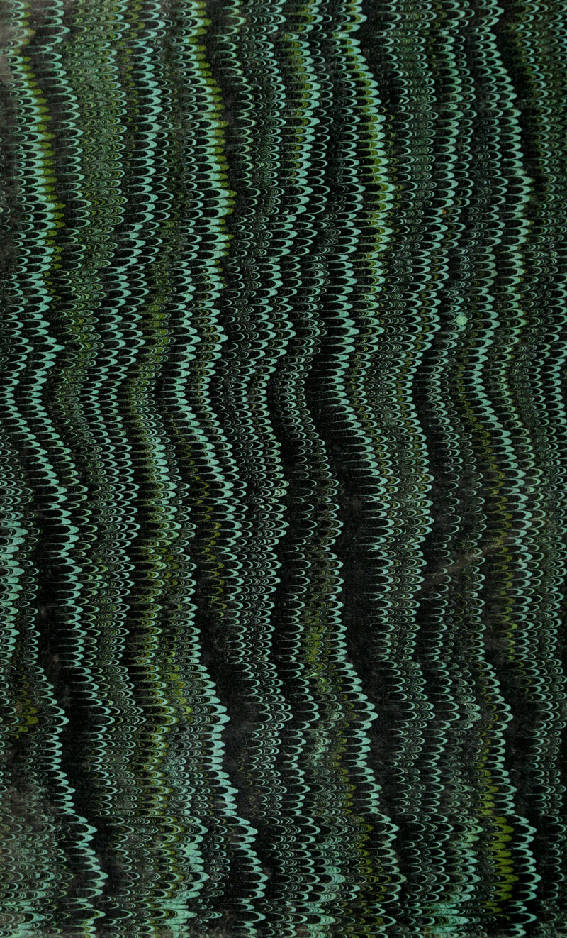 No text description is available for this image