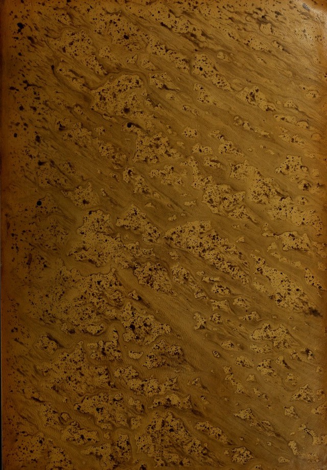 digitised image 1