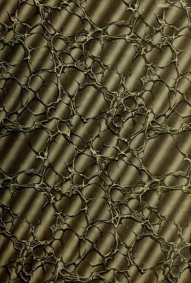 digitised image 3