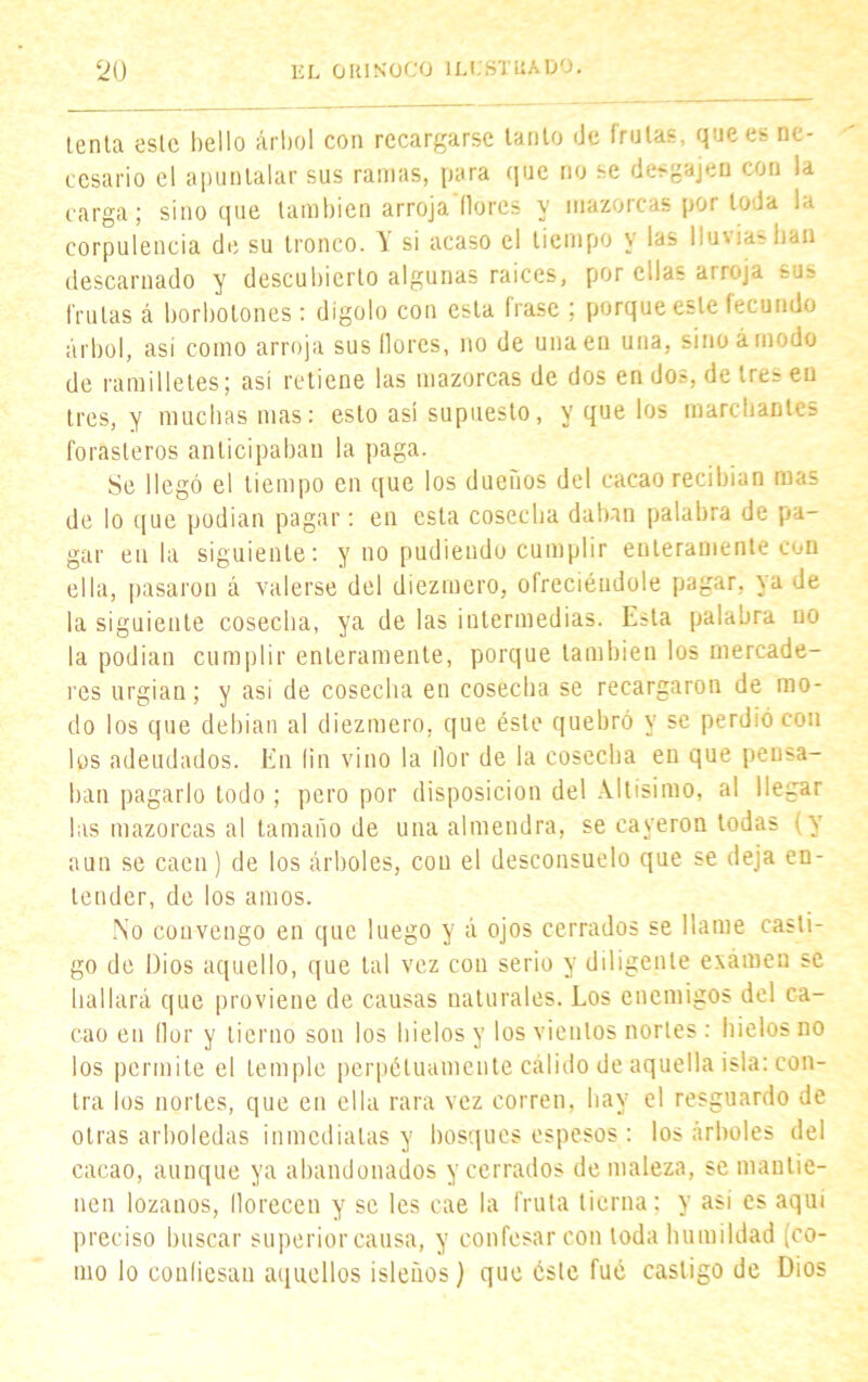 lenta este helio árbol con recargarse lanío de frutas, que es ne- cesario el apuntalar sus ramas, para que no se desgajen con la carga; sino que también arroja flores y mazorcas por toda la corpulencia de su tronco. Y si acaso el tiempo y las lluvias han descarnado y descubierto algunas raíces, por ellas arroja sus frutas á borbotones: dígolo con esta frase ; porque este fecundo árbol, así como arroja sus llores, no de una en una, sino ¿modo de ramilletes; así retiene las mazorcas de dos en dos, de tres en tres, y muchas mas: esto así supuesto, y que los marchantes forasteros anticipaban la paga. Se llegó el tiempo en que los dueños del cacao recibían mas de lo que podían pagar: en esta cosecha daban palabra de pa- gar en la siguiente: y no pudieudo cumplir enteramente con ella, pasaron á valerse del diezmero, ofreciéndole pagar, ya de la siguiente cosecha, ya de las intermedias. Esta palabra no la podían cumplir enteramente, porque también los mercade- res urgían; y asi de cosecha en cosecha se recargaron de mo- do los que debían al diezmero, que éste quebró y se perdió con los adeudados. En lin vino la llor de la cosecha en que pensa- ban pagarlo todo ; pero por disposición del Altísimo, al llegar las mazorcas al tamaño de una almendra, se cayeron todas (y aun se caen) de los árboles, con el desconsuelo que se deja en- tender, de los amos. No convengo en que luego y á ojos cerrados se llame casti- go de Dios aquello, que tal vez con serio y diligente examen se hallará que proviene de causas naturales. Los enemigos del ca- cao en flor y tierno son los hielos y los vientos nortes : hielos no los permite el temple perpétuamente cálido de aquella isla: con- tra los nortes, que en ella rara vez corren, hay el resguardo de otras arboledas inmediatas y bosques espesos : los árboles del cacao, aunque ya abandonados y cerrados de maleza, se mantie- nen lozanos, florecen y se les cae la fruta tierna; y asi es aquí preciso buscar superior causa, y confesar con toda humildad (co- mo lo confiesan aquellos isleños) que éste fué castigo de Dios