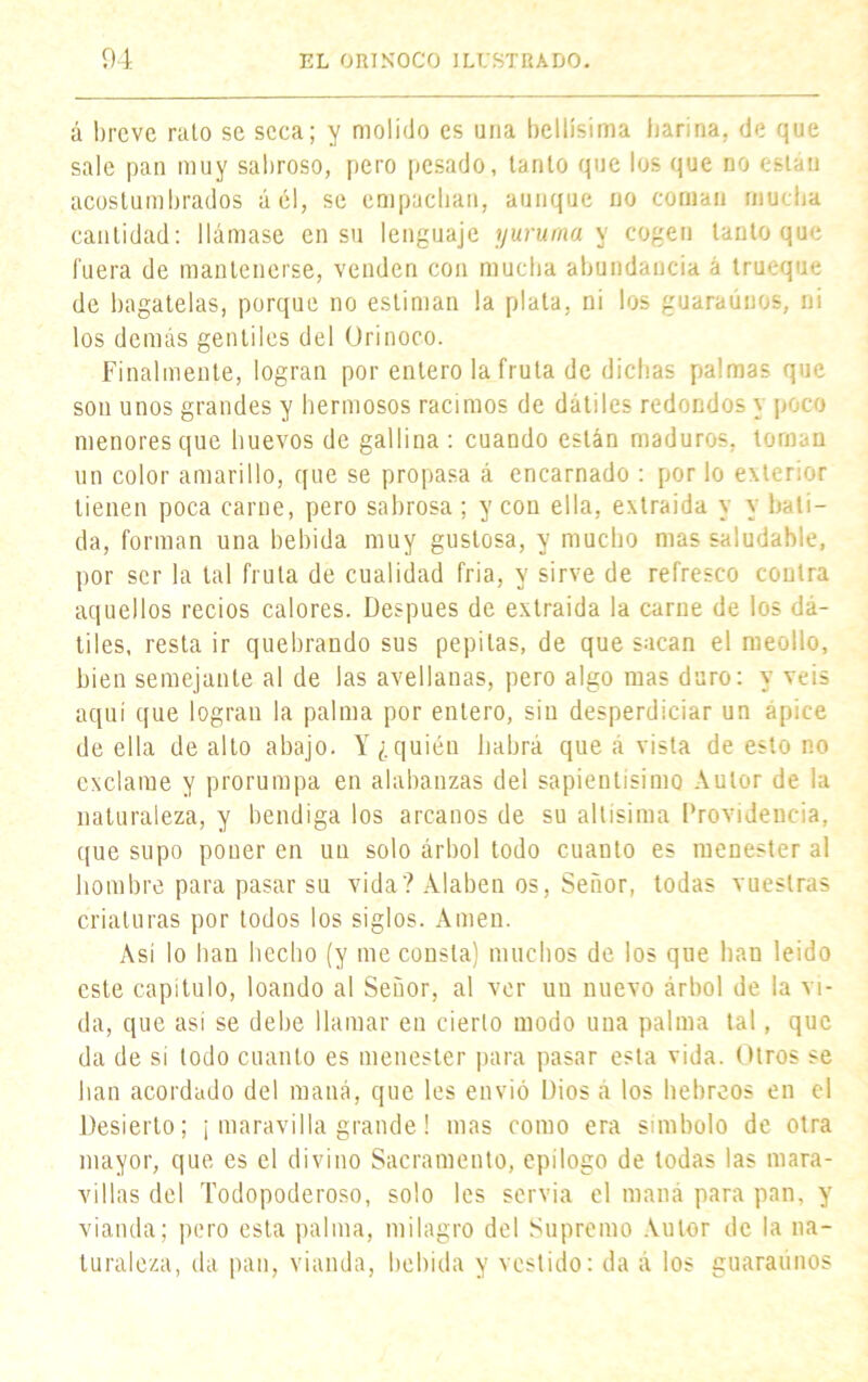 á breve rato se seca; y molido es una bellísima barina, de que sale pan muy sabroso, pero pesado, tanto que los que no están acostumbrados á él, se empachan, aunque no coman mucha cantidad: llámase en su lenguaje yuruma y cogen tanto que fuera de mantenerse, venden con mucha abundancia á trueque de bagatelas, porque no estiman la plata, ni los guaraúnos, ni los demás gentiles del Orinoco. Finalmente, logran por entero la fruta de dichas palmas que son unos grandes y líennosos racimos de dátiles redondos y poco menores que huevos de gallina : cuando están maduros, toman un color amarillo, que se propasa á encarnado : por lo exterior tienen poca carne, pero sabrosa ; y con ella, extraída y y bati- da, forman una bebida muy gustosa, y mucho mas saludable, por ser la tal fruta de cualidad fría, y sirve de refresco contra aquellos recios calores. Después de extraída la carne de los dá- tiles, resta ir quebrando sus pepitas, de que sacan el meollo, bien semejante al de las avellanas, pero algo mas duro: y veis aquí que logran la palma por entero, sin desperdiciar un ápice de ella de alto abajo. Y ¿quién habrá que á vista de esto no exclame y prorumpa en alabanzas del sapientísimo Autor de la naturaleza, y bendiga los arcanos de su altísima Providencia, que supo poner en un solo árbol todo cuanto es menester al hombre para pasar su vida? Alaben os, Señor, todas vuestras criaturas por todos los siglos. Amen. Así lo han hecho (y me consta) muchos de los que han leído este capítulo, loando al Señor, al ver un nuevo árbol de la vi- da, que así se debe llamar en cierto modo una palma tal, que da de sí todo cuanto es menester para pasar esta vida. Otros se han acordado del maná, que les envió Dios a los hebreos en el Desierto; ¡ maravilla grande! mas como era símbolo de otra mayor, que es el divino Sacramento, epilogo de todas las mara- villas del Todopoderoso, solo les servia el maná para pan, y vianda; pero esta palma, milagro del Supremo Autor de la na- turaleza, da pan, vianda, bebida y vestido: da á los guárannos