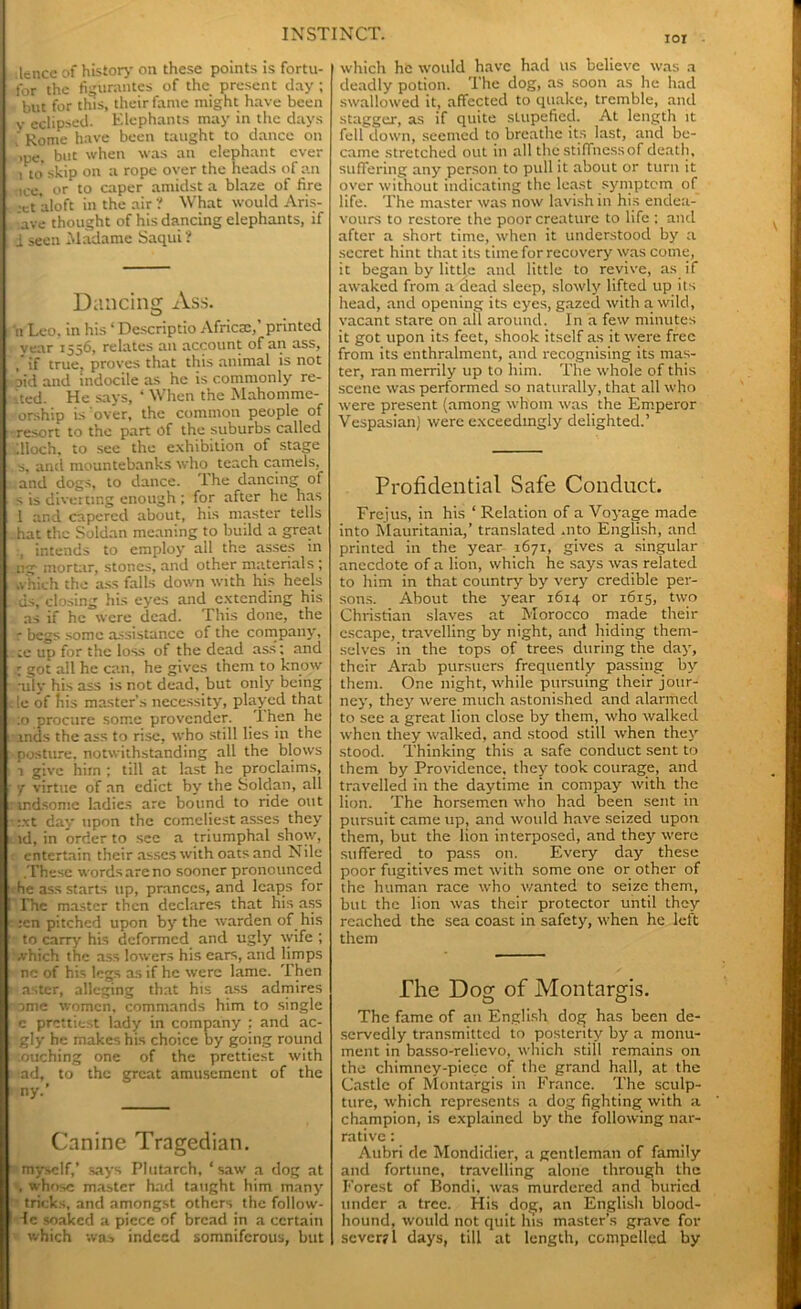 IOI :lence of history on these points is fortu- for the figurantes of the present day ; but for this, their fame might have been v eclipsed. Elephants may in the days ' Rome have been taught to dance on »pe, but when was an elephant ever i to' skip on a rope over the heads of an •ice, or to caper amidst a blaze of fire •et aloft in the air? What would Aris- 'ave thought of his dancing elephants, if 1 seen Madame Saqui ? Dancing Ass. n Leo. in his ‘ Descriptio Africa:,’ printed year 1556, relates an account of an ass, , if true, proves that this animal is not pid and indocile as he is commonly re- ited. He says, * When the Mahommc- • orship is over, the common people of •resort to the part of the suburbs called aioch, to see the exhibition of stage s, and mountebanks who teach camels, and dogs, to dance. 1 he dancing of s is diverting enough; for after he has 1 and capered about, his master tells hat the Soldan meaning to budd a great intends to employ ail the asses in ng mortar, stones, and other materials ; .vhich the ass falls down with his heels us, closing his eyes and extending his as if he were dead. This done, the ■ begs some assistance of the company5, :e up for the loss of the dead ass; and r got all he can, he gives them to know ally his ass is not dead, but only5 being !e of his master’s necessity, played that :o procure some provender. Then he ends the ass to rise, who still lies in the posture, notwithstanding all the blows 1 give him ; till at last he proclaims, y virtue of an edict by the Soldan, all tndsome ladies are bound to ride out Bet day upon the comeliest asses they id, in order to sec a triumphal show, entertain their asses with oats and Nile .These words are no sooner pronounced he ass starts up, prances, and leaps for The master then declares that His ass :en pitched upon by5 the warden of his to carry5 his deformed and ugly wife ; .vhich the ass lowers his ears, and limps nc of his legs as if he were lame. Then aster, alleging that his ass admires ome women, commands him to single c prettiest lady in company ; and ac- gly he makes his choice by going round touching one of the prettiest with ad, to the great amusement of the ny.’ Canine Tragedian. myself,’ says Plutarch, ‘saw a dog ai , whose master had taught him many tricks, and amongst others the follow fc soaked a piece of bread in a ccrtaii which was indeed somniferous, bu which he would have had us believe was a deadly potion. The dog, as soon as he had swallowed it, affected to quake, tremble, and stagger, as if quite stupefied. At length it fell down, seemed to breathe its last, and be- came stretched out in all the stiffness of death, suffering any5 person to pull it about or turn it over without indicating the least symptom of life. The master was now lavish in his endea- vours to restore the poor creature to life : and after a short time, when it understood by a secret hint that its time for recovery was come, it began by little and little to revive, as if awaked from a dead sleep, slowly lifted up its head, and opening its eyes, gazed with a wild, vacant stare on all around. I11 a few minutes it got tipon its feet, shook itself as it were free from its enthralment, and recognising its mas- ter, ran merrily up to him. The whole of this scene was performed so naturally, that all who were present (among whom was the Emperor Vespasian) were exceedmgly delighted.’ Profidential Safe Conduct. Frejus, in his ‘ Relation of a Voyage made into Mauritania,’ translated .nto English, and printed in the year 1671, gives a singular anecdote of a lion, which he says was related to him in that country by very credible per- sons. About the year 1614 or 1615, two Christian slaves at Morocco made their escape, travelling by night, and hiding them- selves in the tops of trees during the day5, their Arab pursuers frequently passing by them. One night, while pursuing their jour- ney, they5 were much astonished and alarmed to see a great lion close by them, who walked when they walked, and stood still when they stood. Thinking this a safe conduct sent to them by Providence, they took courage, and travelled in the daytime in conipay with the lion. The horsemen who had been sent in pursuit came up, and would have seized upon them, but the lion interposed, and they5 were suffered to pass on. Every day these poor fugitives met with some one or other of the human race who wanted to seize them, but the lion was their protector until they reached the sea coast in safety5, when he left them The Dog of Montargis. The fame of an English dog has been de- servedly transmitted to posterity by a monu- ment in basso-relievo, which still remains on the chimney-piece of the grand hall, at the Castle of Montargis in France. The sculp- ture, which represents a clog fighting with a champion, is explained by the following nar- rative : Aubri dc Mondidier, a gentleman of family and fortune, travelling alone through the Forest of Bondi, was murdered and buried under a tree. His dog, an English blood- hound, would not quit his master’s grave for sever? 1 days, till at length, compelled by