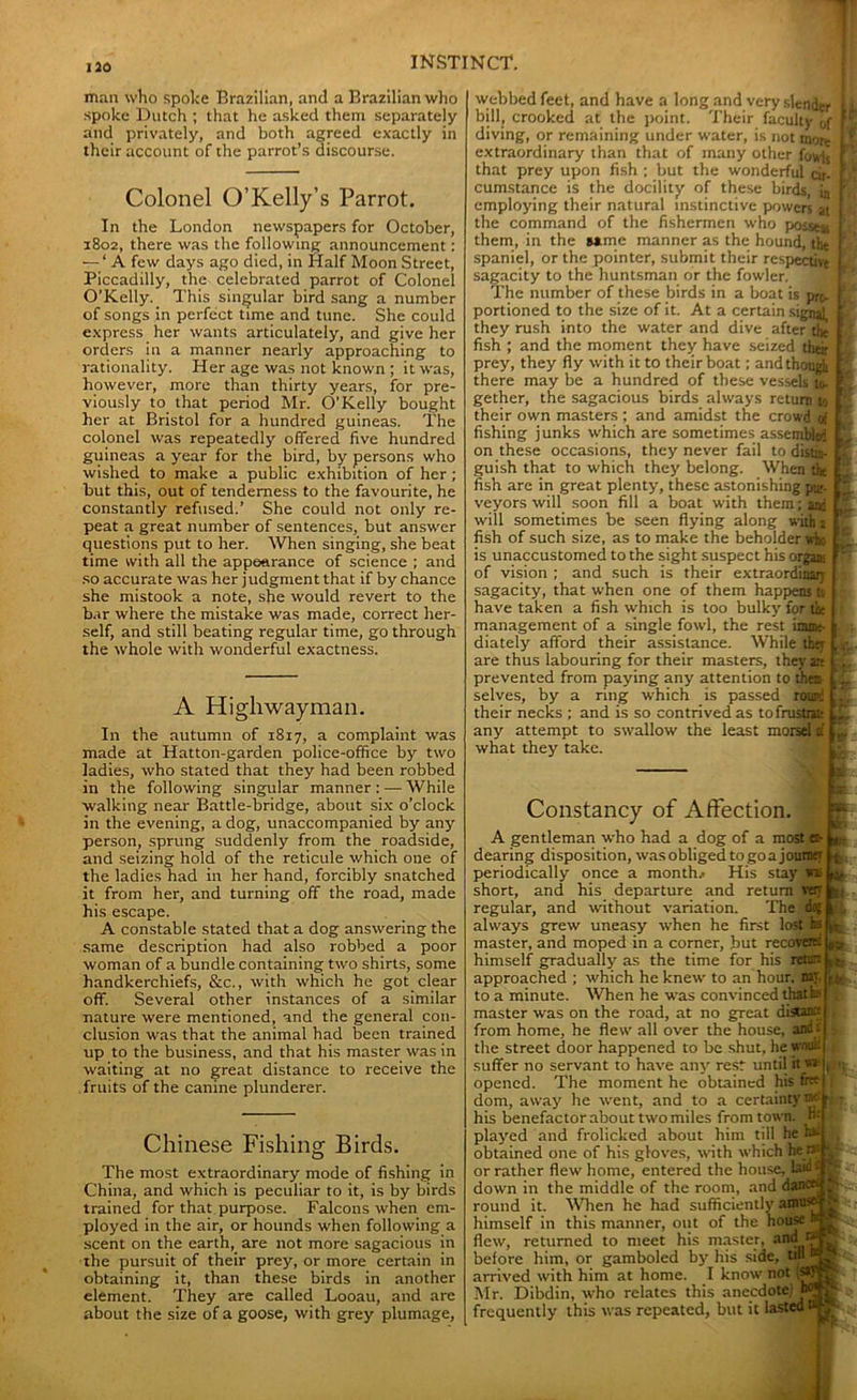 no man who spoke Brazilian, and a Brazilian who spoke Dutch ; that he asked them separately and privately, and both agreed exactly in their account of the parrot’s discourse. Colonel O’Kelly’s Parrot. In the London newspapers for October, 1802, there was the following announcement: — ‘ A few days ago died, in Half Moon Street, Piccadilly, the celebrated parrot of Colonel O’Kelly. This singular bird sang a number of songs in perfect time and tunc. She could express her wants articulately, and give her orders in a manner nearly approaching to rationality. Her age was not known ; it was, however, more than thirty years, for pre- viously to that period Mr. O’Kelly bought her at Bristol for a hundred guineas. The colonel was repeatedly offered five hundred guineas a year for the bird, by persons who wished to make a public exhibition of her ; but this, out of tenderness to the favourite, he constantly refused.’ She could not only re- peat a great number of sentences, but answer questions put to her. When singing, she beat time with all the appearance of science ; and so accurate was her judgment that if by chance she mistook a note, she would revert to the bar where the mistake was made, correct her- self, and still beating regular time, go through the whole with wonderful exactness. A Highwayman. In the autumn of 1817, a complaint was made at Hatton-garden police-office by two ladies, who stated that they had been robbed in the following singular manner : — While walking near Battle-bridge, about six o’clock in the evening, a dog, unaccompanied by any person, sprung suddenly from the roadside, and seizing hold of the reticule which one of the ladies had in her hand, forcibly snatched it from her, and turning off the road, made his escape. A constable stated that a dog answering the same description had also robbed a poor woman of a bundle containing two shirts, some handkerchiefs, &c., with which he got clear off. Several other instances of a similar nature were mentioned, and the general con- clusion was that the animal had been trained up to the business, and that his master was in waiting at no great distance to receive the fruits of the canine plunderer. Chinese Fishing Birds. The most extraordinary mode of fishing in China, and which is peculiar to it, is by birds trained for that purpose. Falcons when em- ployed in the air, or hounds when following a scent on the earth, are not more sagacious in the pursuit of their prey, or more certain in obtaining it, than these birds in another element. They are called Looau, and are about the size of a goose, with grey plumage, webbed feet, and have a long and very slender bill, crooked at the point. Their faculty of diving, or remaining under water, is not inor- extraordinary than that of many other fowls that prey upon fish ; but the wonderful cir- cumstance is the docility of these birds, ia employing their natural instinctive powers at the command of the fishermen who possess them, in the same manner as the hound, the spaniel, or the pointer, submit their respective sagacity to the huntsman or the fowler. The number of these birds in a boat is pro- portioned to the size of it. At a certain signal they rush into the water and dive after the fish ; and the moment they have seized their prey, they fly with it to their boat; and though there may be a hundred of these vessels to- gether, the sagacious birds always return to their own masters ; and amidst the crowd of fishing junks which are sometimes assembled on these occasions, they never fail to distin- guish that to which they belong. When tk fish are in great plenty, these astonishing pur- veyors will soon fill a boat with them; anj will sometimes be seen flying along with 1 fish of such size, as to make the beholder who is unaccustomed to the sight suspect his organ: of vision ; and such is their extraordinary sagacity, that when one of them happens to have taken a fish which is too bulky for tit management of a single fowl, the rest inunt- diately afford their assistance. While they are thus labouring for their masters, they an prevented from paying any attention to them selves, by a ring which is passed rouri their necks ; and is so contrived as tofrustnte any attempt to swallow the least morsel d what they take. a ns It; Constancy of Affection. A gentleman who had a dog of a most en- dearing disposition, was obliged to go a journey periodically once a month.- His stay to short, and his departure and return very regular, and without variation. The dog , always grew uneasy when he first lost te iv. master, and moped in a comer, but recover-: himself gradually as the time for his retirc approached ; which he knew to an hour, nay, to a minute. When he was convinced thathf master was on the road, at no great di*an« from home, he flew all over the house, anc£ the street door happened to be shut, he wnuif suffer no servant to have any rest until it« opened. The moment he obtained his free: dom, away he went, and to a certainty w r his benefactor about two miles from town. He played and frolicked about him till he hat obtained one of his gloves, with which hen* /-»»- rotliiir fl rm; hnnin pnf*>ri»rl f lion Off Uld ** fc; Mr or rather flew home, entered the house, . down in the middle of the room, and dance: • round it. When he had sufficiently amu* - himself in this manner, out of the house fl—” returned to meet his master, flew, ... - ._ before him, or gamboled by his side, till « arrived with him at home. I know not Mr. Dibdin, who relates this anecdote! frequently this was repeated, but it lasted