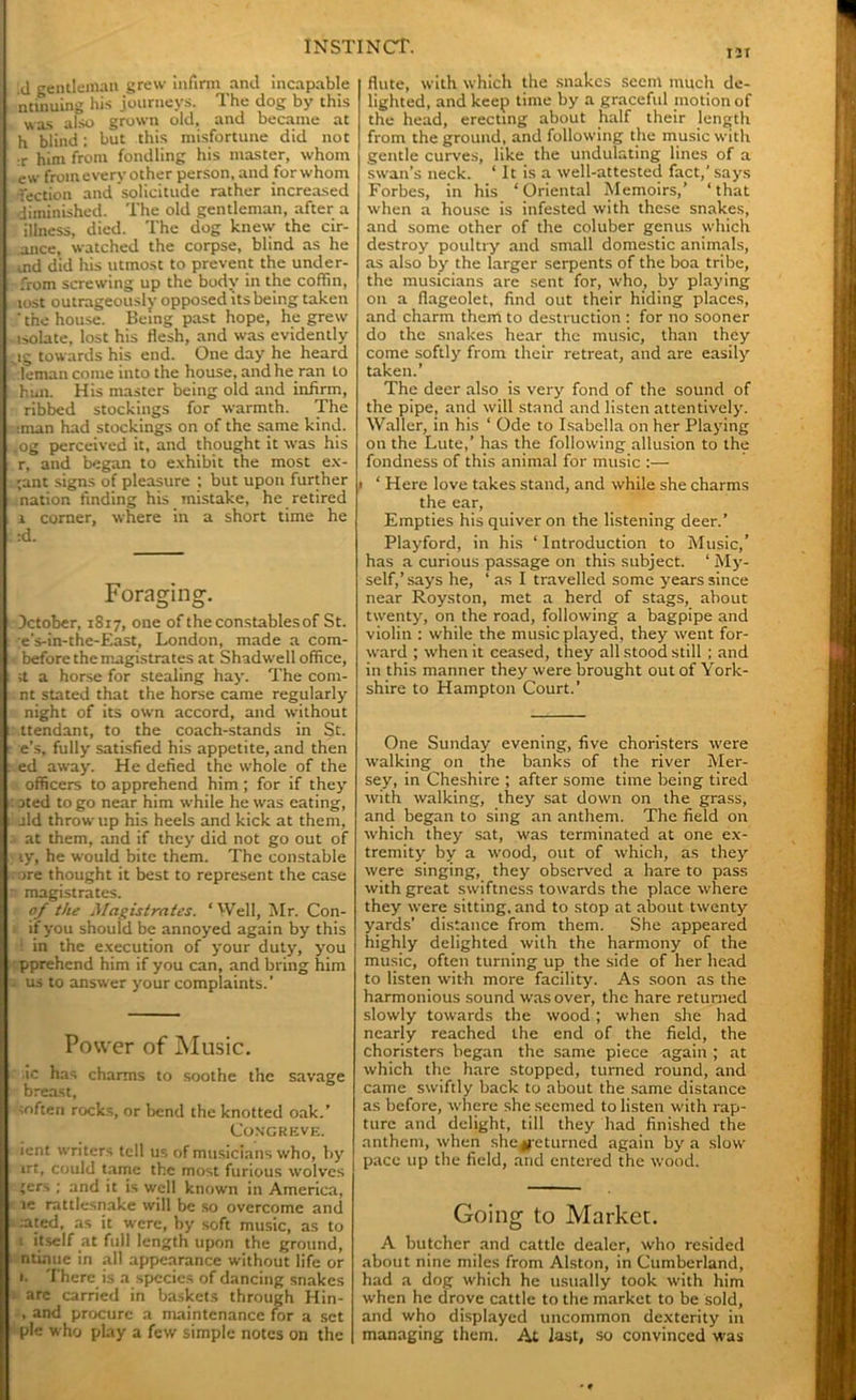 121 j gentleman grew infirm and incapable ntinuing his journeys. The dog by this was also grown old, and became at h blind; but this misfortune did not .r him from fondling his master, whom ew from every other person, and for whom fection and solicitude rather increased diminished. The old gentleman, after a illness, died. The dog knew the cir- .ance, watched the corpse, blind as he rnd did his utmost to prevent the under- from screwing up the body in the coffin, tost outrageously opposed its being taken ‘ the house. Being past hope, he grew ■ isolate, lost his flesh, and was evidently . ig towards his end. One day he heard leman come into the house, and he ran to hun. His master being old and infirm, ribbed stockings for warmth. The :man had stockings on of the same kind. ,og perceived it, and thought it was his r, and began to exhibit the most ex- ;ant signs of pleasure ; but upon further nation finding his mistake, he retired i corner, where in a short time he :d. Foraging. October, 1817, one of the constables of St. ;e's-in-the-East, London, made a com- . before the magistrates at Shadwell office, ;t a horse for stealing hay. The coni- nt stated that the horse came regularly night of its own accord, and without ttendant, to the coach-stands in St. e’s, fully satisfied his appetite, and then ed away. He defied the whole of the officers to apprehend him ; for if they' :oted to go near him while he was eating, i aid throw up his heels and kick at them, at them, and if they’ did not go out of ty, he would bite them. The constable 7ore thought it best to represent the case ■ magistrates. 0/ the Magistrates. ‘Well, Mr. Con- ifyou should be annoyed again by this ! in the execution of your duty, you pprehend him if you can, and bring him • us to answer your complaints.’ Power of Music. ic has charms to soothe the savage breast, ■loften rocks, or bend the knotted oak.’ Congreve. ient writers tell us of musicians who, by' irt, could tame the most furious wolves 'ers ; and it is well known in America, le rattlesnake will be so overcome and :ated, as it were, by soft music, as to 1 itself at full length upon the ground, ntinue in all appearance without life or 1. There is a species of dancing snakes arc carried in baskets through Hin- , and procure a maintenance for a set pie who play a few simple notes on the flute, with which the snakes Seem much de- lighted, and keep time by a graceful motion of the head, erecting about half their length from the ground, and following the music with gentle curves, like the undulating lines of a swan’s neck. ‘ It is a well-attested fact,’ says Forbes, in his ‘Oriental Memoirs,’ ‘that when a house is infested with these snakes, and some other of the coluber genus which destroy poultry and small domestic animals, as also by the larger serpents of the boa tribe, the musicians are sent for, w'ho, byr playing on a flageolet, find out their hiding places, and charm them to destruction : for no sooner do the snakes hear the music, than they come softly from their retreat, and are easily taken.’ The deer also is very' fond of the sound of the pipe, and will stand and listen attentively. Waller, in his ‘ Ode to Isabella on her Playing on the Lute,’ has the follou’ing allusion to the fondness of this animal for music :— One Sunday evening, five choristers w'ere walking on the banks of the river Mer- sey, in Cheshire ; after some time being tired with walking, they sat dow'n on the grass, and began to sing an anthem. The field on w'hich they sat, was terminated at one ex- tremity' by a wood, out of which, as they’ were singing, they observed a hare to pass with great swiftness tow'ards the place where they were sitting, and to stop at about tw'enty yards' distance from them. She appeared highly delighted with the harmony of the music, often turning up the side of her head to listen with more facility. As soon as the harmonious sound was over, the hare returned slowly towards the wood; when she had nearly reached the end of the field, the choristers began the same piece again ; at which the hare stopped, turned round, and came swiftly back to about the same distance as before, where she seemed to listen with rap- ture and delight, till they had finished the anthem, when she Returned again by'a slow pace up the field, arid entered the wood. Going to Market. A butcher and cattle dealer, who resided about nine miles from Alston, in Cumberland, had a dog which he usually took with him when he drove cattle to the market to be sold, and who displayed uncommon dexterity’ in managing them. At last, so convinced was 1 ‘ Here love takes stand, and while she charms the ear, Empties his quiver on the listening deer.’ Playford, in his ‘Introduction to Music,’ has a curious passage on this subject. ‘ My- self,’ says he, ‘ as I travelled some years since near Royston, met a herd of stags, about twenty, on the road, following a bagpipe and violin : while the music played, they went for- ward ; when it ceased, they all stood still ; and in this manner they' were brought out of York- shire to Hampton Court.’
