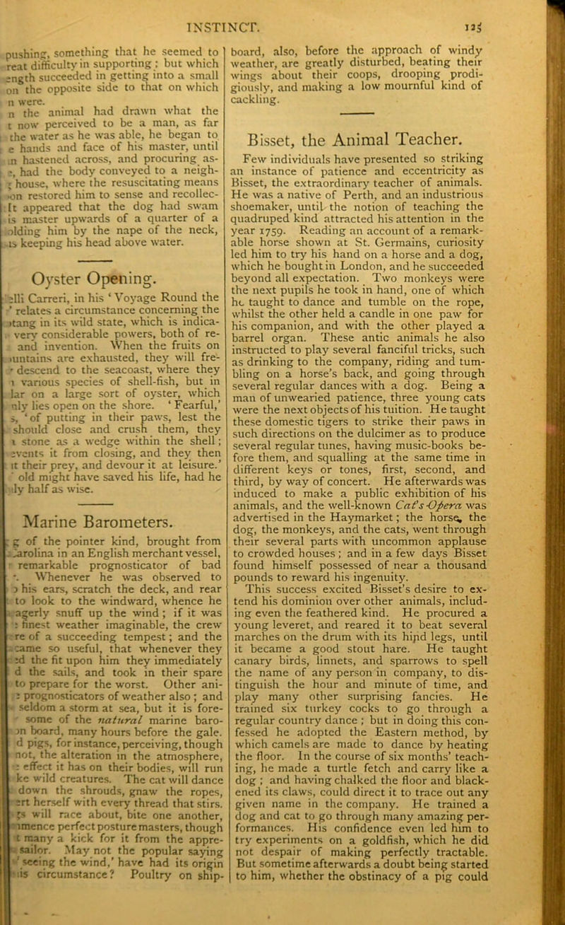 pushing, something that he seemed to reat difficulty in supporting ; but which ength succeeded in getting into a small on the opposite side to that on which n were. n the animal had drawn what the t now perceived to be a man, as far : the water as he was able, he began to t e hands and face of his master, until in hastened across, and procuring as- i ;, had the body conveyed to a neigh- i ; house, where the resuscitating means I ’on restored him to sense and recollec- lt appeared that the dog had swam is master upwards of a quarter of a aiding him by the nape of the neck, .is keeping his head above water. Oyster Opening. elli Carreri, in his ‘ Voyage Round the ’ relates a circumstance concerning the >tang in its wild state, which is indica- verv considerable powers, both of re- and invention. When the fruits on mntains are exhausted, they will fre- r descend to the seacoast, where they i various species of shell-fish, but in lar on a large sort of oyster, which nly lies open on the shore. ‘ Fearful,’ s, ‘ of putting in their paws, lest the should close and crush them, they i stone as a wedge within the shell; events it from closing, and they then it their prey, and devour it at leisure.’ ' old might have saved his life, had he ily half as wise. Marine Barometers. ! g of the pointer kind, brought from Carolina in an English merchant vessel, remarkable prognosticator of bad Whenever he was observed to o his ears, scratch the deck, and rear to look to the windward, whence he agerly snuff up the wind ; if it was : finest weather imaginable, the crew re of a succeeding tempest; and the .came so useful, that whenever they :d the fit upon him they immediately d the sails, and took in their spare to prepare for the worst. Other ani- : prognosticators of weather also ; and • seldom a storm at sea, but it is fore- some of the natural marine baro- m board, many hours before the gale, d pig?;, for instance, perceiving, though not, the alteration in the atmosphere, : effect it has on their bodies, will run kc wild creatures. The cat will dance down the shrouds, gnaw the ropes, ert herself with every- thread that stirs, -js will race about, bite one another, imence perfect posture masters, though t many a kick for it from the appre- sailqr. May not the popular saying ' seeing the wind,’ have had its origin iis circumstance? Poultry on ship- board, also, before the approach of windy weather, are greatly disturbed, beating their wings about their coops, drooping prodi- giously, and making a low mournful kind of cackling. Bisset, the Animal Teacher. Few individuals have presented so striking an instance of patience and eccentricity as Bisset, the extraordinary teacher of animals. He was a native of Perth, and an industrious shoemaker, until the notion of teaching the quadruped kind attracted his attention in the year 1759. Reading an account of a remark- able horse shown at St. Germains, curiosity led him to try his hand on a horse and a dog, which he bought in London, and he succeeded beyond all expectation. Two monkeys were the next pupils he took in hand, one of which he taught to dance and tumble on the rope, whilst the other held a candle in one paw for his companion, and with the other played a barrel organ. These antic animals he also instructed to play several fanciful tricks, such as drinking to the company, riding and tum- bling on a horse’s back, and going through several regular dances with a dog. Being a man of unwearied patience, three young cats were the next objects of his tuition. He taught these domestic tigers to strike their paws in such directions on the dulcimer as to produce several regular tunes, having music-books be- fore them, and squalling at the same time in different keys or tones, first, second, and third, by way of concert. He afterwards was induced to make a public exhibition of his animals, and the well-known Cat’s-Opera was advertised in the Haymarket; the horse, the dog, the monkeys, and the cats, went through their several parts with uncommon applause to crowded houses; and in a few days Bisset found himself possessed of near a thousand pounds to reward his ingenuity. This success excited Bisset’s desire to ex- tend his dominion over other animals, includ- ing even the feathered kind. He procured a young leveret, and reared it to beat several marches on the drum with its hipd legs, until it became a good stout hare. He taught canary birds, linnets, and sparrows to spell the name of any person in company, to dis- tinguish the hour and minute of time, and play many other surprising fancies. He trained six turkey cocks to go through a regular country dance ; but in doing this con- fessed he adopted the Eastern method, by which camels are made to dance by heating the floor. In the course of six months’ teach- ing, he made a turtle fetch and carry like a dog ; and having chalked the floor and black- ened its claws, could direct it to trace out any given name in the company. He trained a dog and cat to go through many amazing per- formances. His confidence even led him to try experiments on a goldfish, which he did not despair of making perfectly tractable. But sometime afterwards a doubt being started to him, whether the obstinacy of a pig could