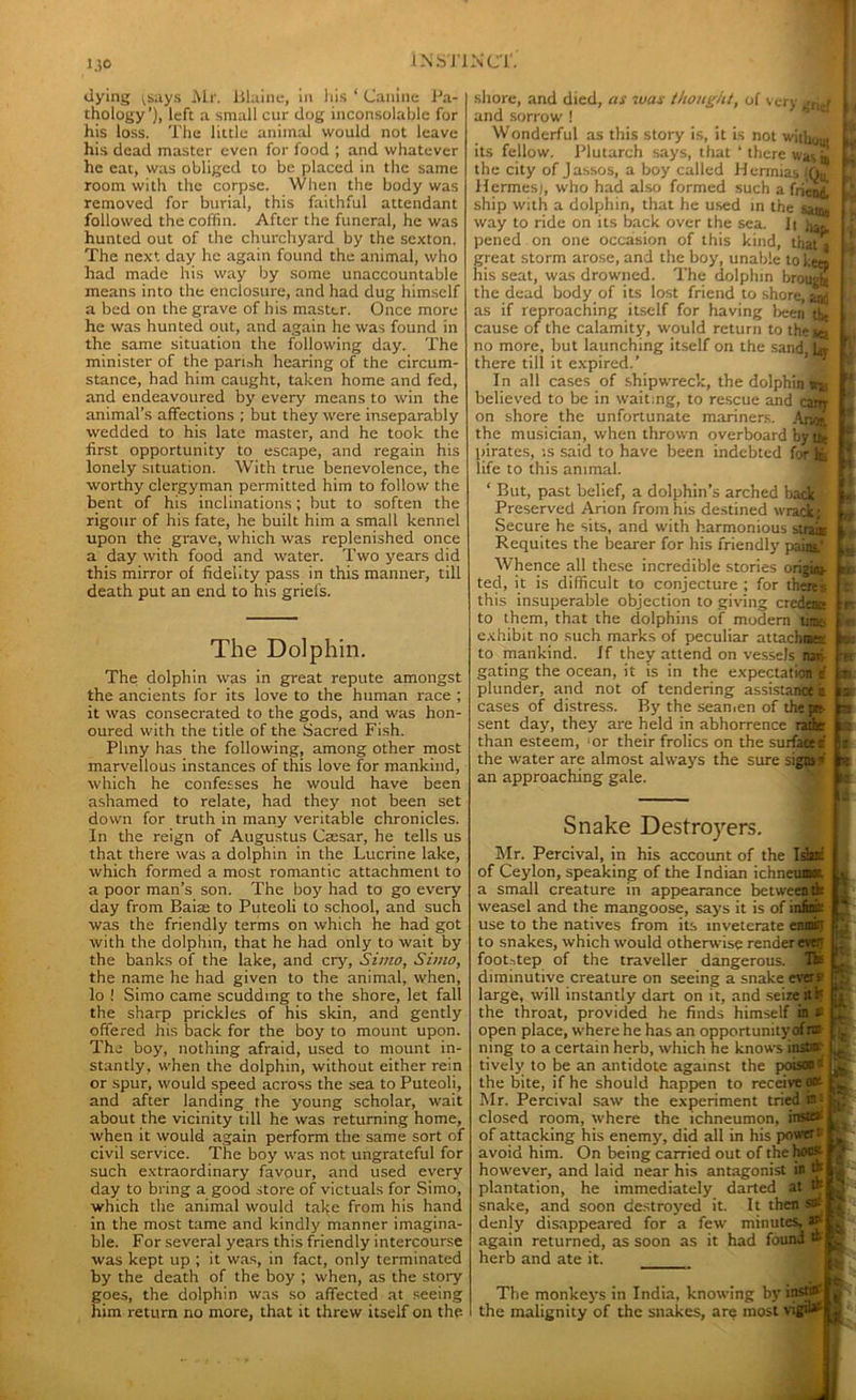 1.50 dying ^says Mr. Blaine, in his ‘ Canine Pa- thology’), left a small cur dog inconsolable for his loss. The little animal would not leave his dead master even for food ; and whatever he eat, was obliged to be placed in the same room with the corpse. When the body was removed for burial, this faithful attendant followed the coffin. After the funeral, he was hunted out of the churchyard by the sexton. The next day he again found the animal, who had made his way by some unaccountable means into the enclosure, and had dug himself a bed on the grave of his master. Once more he was hunted out, and again he was found in the same situation the following day. The minister of the parish hearing of the circum- stance, had him caught, taken home and fed, and endeavoured by every means to win the animal’s affections ; but they were inseparably wedded to his late master, and he took the first opportunity to escape, and regain his lonely situation. With true benevolence, the worthy clergyman permitted him to follow the bent of his inclinations; but to soften the rigour of his fate, he built him a small kennel upon the grave, which was replenished once a day with food and water. Two years did this mirror of fidelity pass in this manner, till death put an end to his griefs. The Dolphin. The dolphin was in great repute amongst the ancients for its love to the human race ; it was consecrated to the gods, and was hon- oured with the title of the Sacred Fish. Pliny has the following, among other most marvellous instances of this love for mankind, which he confesses he would have been ashamed to relate, had they not been set down for truth in many veritable chronicles. In the reign of Augustus Csesar, he tells us that there was a dolphin in the Lucrine lake, which formed a most romantic attachment to a poor man’s son. The boy had to go every day from Baiae to Puteoli to school, and such was the friendly terms on which he had got with the dolphin, that he had only to wait by the banks of the lake, and cry, Simo, Simo, the name he had given to the animal, when, lo ! Simo came scudding to the shore, let fall the sharp prickles of his skin, and gently offered his back for the boy to mount upon. The boy, nothing afraid, used to mount in- stantly. when the dolphin, without either rein or spur, would speed across the sea to Puteoli, and after landing the young scholar, wait about the vicinity till he was returning home, when it would again perform the same sort of civil service. The boy was not ungrateful for such extraordinary favour, and used every day to bring a good store of victuals for Simo, which the animal would take from his hand in the most tame and kindly manner imagina- ble. For several years this friendly intercourse was kept up ; it was, in fact, only terminated by the death of the boy ; when, as the story goes, the dolphin was so affected at seeing him return no more, that it threw itself on the shore, and died, as was thongiit, of very gftJ I and sorrow ! Wonderful as this story is, it is not wifij^. i its fellow. Plutarch says, that ‘ there wmjj« the city of Jassos, a hoy called H errnias (QfflB Hermesj, who had also formed such a friend, t ship with a dolphin, that he used in the .sam. way to ride on its back over the sea. It w, pened on one occasion of this kind, that 3 great storm arose, and the boy, unable token I liis seat, was drowned. The dolphin hrougS the dead body of its lost friend to shore, laj as if reproaching itself for having been tht 1 cause of the calamity, would return to these no more, hut launching itself on the sand bv there till it expired.’ In all cases of shipwreck, the dolphin believed to be in waiting, to rescue and carry on shore the unfortunate mariners. Aim the musician, when thrown overboard by tfe ! pirates, :s said to have been indebted for K, life to this animal. But, past belief, a dolphin’s arched back/ Preserved Arion from his destined wrack; Secure he sits, and with harmonious straie Requites the bearer for his friendly paim,’ Whence all these incredible stories ori§wj. ted, it is difficult to conjecture ; for there g this insuperable objection to giving credena to them, that the dolphins of modem tune exhibit no such marks of peculiar attachott to mankind. If they attend on vessels jnar- gating the ocean, it is in the expectation e plunder, and not of tendering assistant* cases of distress. By the seamen of the pre- sent day, they are held in abhorrence rathe than esteem, ‘or their frolics on the surfacee the water are almost always the sure signs ’ an approaching gale. 7i ret w I n Snake Destroyers. Mr. Percival, in his account of the Islani of Ceylon, speaking of the Indian ichneumon, a small creature in appearance between tk weasel and the mangoose, says it is of mfini:: use to the natives from its inveterate en.mi. to snakes, which would otherwise renderevety fooutep of the traveller dangerous, jtt diminutive creature on seeing a snake ever* large, will instantly dart on it, and seize it k the throat, provided he finds himself in i open place, where he has an opportunity of rat ning to a certain herb, which he knows instnr _ tively to be an antidote against the poisoe* ^ the bite, if he should happen to receive oat » Mr. Percival saw the experiment tried is - ‘ closed room, where the ichneumon, instea: of attacking his enemy, did all in his power: avoid him. On being carried out of the hosst however, and laid near his antagonist in tk plantation, he immediately darted at tk snake, and soon destroyed it. It then snj denly disappeared for a few minutes, at again returned, as soon as it had found » herb and ate it. _ The monkeys in India, knowing by instin-' g the malignity of the snakes, are most vigil*6 ,,